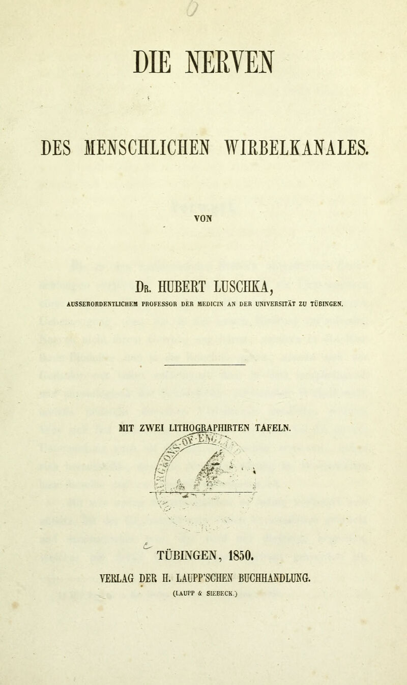 DIE NERVEN - i DES MENSCHLICHEN WIRBELKANALES. VON Dr. HUBERT LUSCHKA, AUSSERORDENTLICHEM PROFESSOR DER MEDICIN AN DER UNIVERSITÄT ZU TÜBINGEN. MIT ZWEI LITHO GRAPHIRTEN TAFELN. Vv (§? Mi 0. •' g fr* i •' ’ r~T TÜBINGEN, 1850. VERLAG DER H. LAÜPP’SCHEN BUCHHANDLUNG. (LAUPP & SIEBECK.)