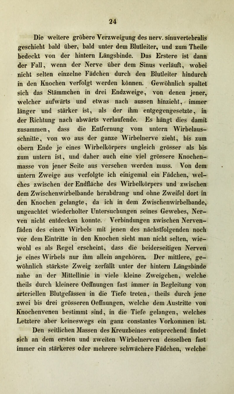 Die weitere gröbere Verzweigung des nerv, sinuvertebralis geschieht bald über, bald unter dem Blutleiter, und zum Theile bedeckt von der hintern Längsbinde. Das Erstere ist dann der Fall, wenn der Nerve über dem Sinus verläuft, wobei nicht selten einzelne Fädchen durch den Blutleiter hindurch in den Knochen verfolgt werden können. Gewöhnlich spaltet sich das Stämmchen in drei Endzweige, von denen jener, welcher aufwärts und etwas nach aussen hinzieht, immer länger und stärker ist, als der ihm entgegengesetzte, in der Richtung nach abwärts verlaufende. Es hängt dies damit zusammen, dass die Entfernung vom untern Wirbelaus- schnitte, von wo aus der ganze Wirbelnerve zieht, bis zum obern Ende je eines Wirbelkörpers ungleich grösser als bis zum untern ist, und daher auch eine viel grössere Knochen- masse von jener Seite aus versehen werden muss. Von dem untern Zweige aus verfolgte ich einigemal ein Fädchen, wel- ches zwischen der Endfläche des Wirbelkörpers und zwischen dem Zwischenwirbelbande herabdrang und ohne Zweifel dort in den Knochen gelangte, da ich in dem Zwischenwirbelbande, ungeachtet wiederholter Untersuchungen seines Gewebes, Ner- ven nicht entdecken konnte. Verbindungen zwischen Nerven- fäden des einen Wirbels mit jenen des nächstfolgenden noch vor dem Eintritte in den Knochen sieht man nicht selten, wie- wohl es als Regel erscheint, dass die beiderseitigen Nerven je eines Wirbels nur ihm allein angehören. Der mittlere, ge- wöhnlich stärkste Zweig zerfällt unter der hintern Längsbinde nahe an der Mittellinie in viele kleine Zweigehen, welche theils durch kleinere Oeffnungen fast immer in Begleitung von arteriellen Blutgefässen in die Tiefe treten, theils durch jene zwei bis drei grösseren Oeffnungen, welche dem Austritte von Knochenvenen bestimmt sind, in die Tiefe gelangen, welches Letztere aber keineswegs ein ganz constantes Vorkommen ist. Den seitlichen Massen des Kreuzbeines entsprechend findet sich an dem ersten und zweiten Wirbelnerven desselben fast immer ein stärkeres oder mehrere schwächere Fädchen, welche