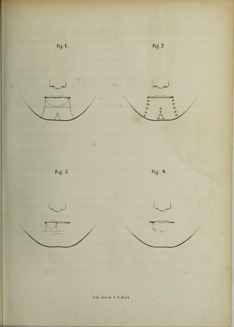 \%A. Fig.2. Fig*. o. Fig. 4. Ijith , Inst de I. A. Korli