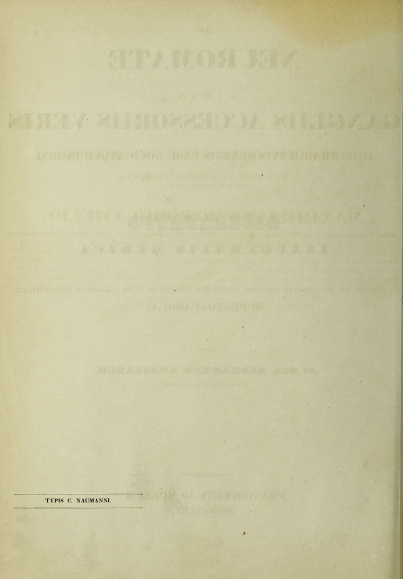 TYPIS C. NAUMANNI.