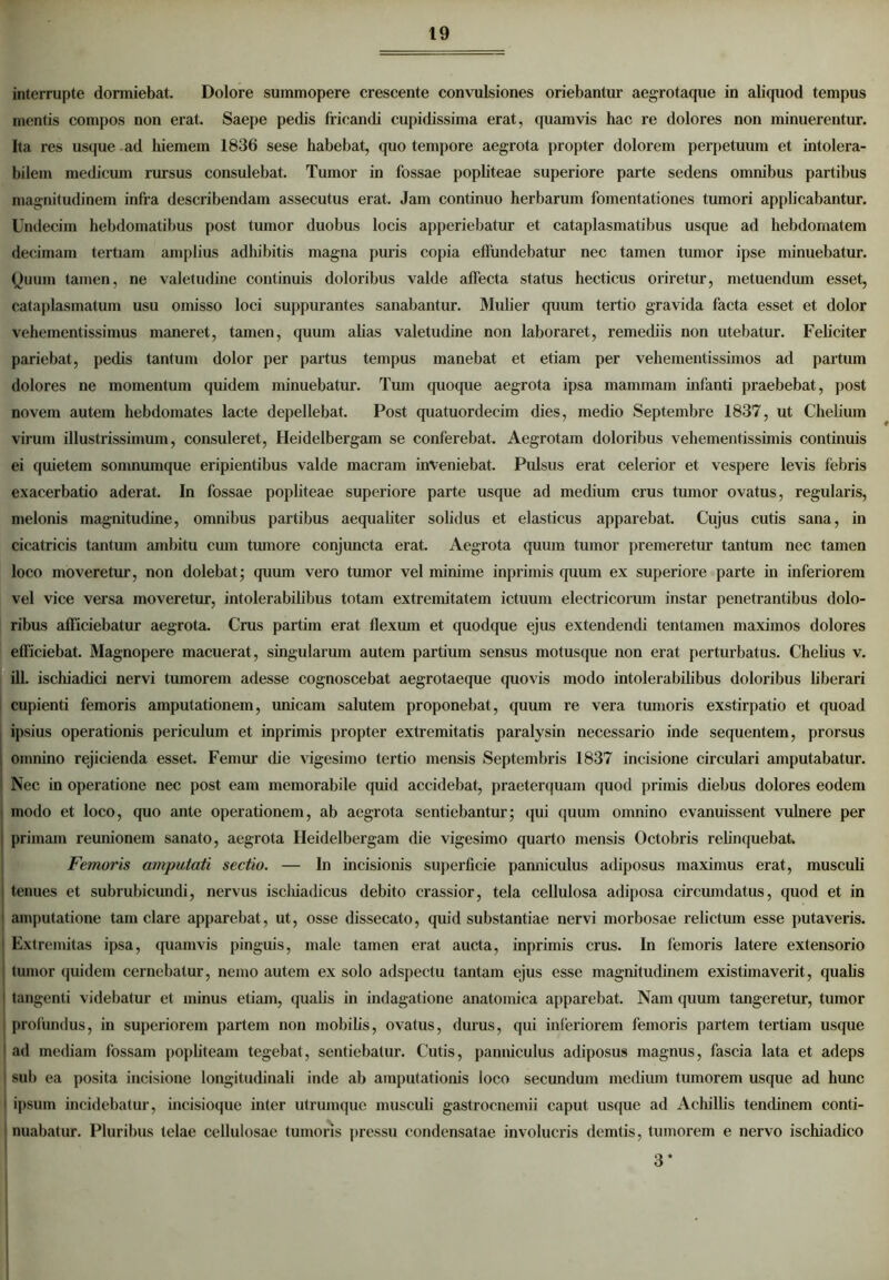 interrupte dormiebat. Dolore summopere crescente convulsiones oriebantur aegrotaque in aliquod tempus mentis compos non erat. Saepe pedis fricandi cupidissima erat, quamvis hac re dolores non minuerentur. Ita res usque ad hiemem 1836 sese habebat, quo tempore aegrota propter dolorem perpetuum et intolera- bilem medicum rursus consulebat. Tumor in fossae popliteae superiore parte sedens omnibus partibus magnitudinem infra describendam assecutus erat. Jam continuo herbarum fomentationes tumori applicabantur. Undecim hebdomatibus post tumor duobus locis apperiebatur et cataplasmatibus usque ad hebdomatem decimam tertiam amplius adhibitis magna puris copia effundebatur nec tamen tumor ipse minuebatur. Quum tamen, ne valetudine continuis doloribus valde affecta status hecticus oriretur, metuendum esset, cataplasmatum usu omisso loci suppurantes sanabantur. Mulier quum tertio gravida facta esset et dolor vehementissimus maneret, tamen, quum alias valetudine non laboraret, remediis non utebatur. Feliciter pariebat, pedis tantum dolor per partus tempus manebat et etiam per vehementissimos ad partum dolores ne momentum quidem minuebatur. Tum quoque aegrota ipsa mammam infanti praebebat, post novem autem hebdomates lacte depellebat. Post quatuordecim dies, medio Septembre 1837, ut Chelium virum illustrissimum, consuleret, Heidelbergam se conferebat. Aegrotam doloribus vehementissimis continuis ei quietem somnumque eripientibus valde macram inveniebat. Pulsus erat celerior et vespere levis febris exacerbatio aderat. In fossae popliteae superiore parte usque ad medium crus tumor ovatus, regularis, melonis magnitudine, omnibus partibus aequaliter solidus et elasticus apparebat. Cujus cutis sana, in cicatricis tantum ambitu cum tumore conjuncta erat. Aegrota quum tumor premeretur tantum nec tamen loco moveretur, non dolebat • quum vero tumor vel minime inprimis quum ex superiore parte in inferiorem vel vice versa moveretur, intolerabilibus totam extremitatem ictuum electricorum instar penetrantibus dolo- ribus afficiebatur aegrota. Crus partim erat flexum et quodque ejus extendendi tentamen maximos dolores efficiebat. Magnopere macuerat, singularum autem partium sensus motusque non erat perturbatus. Chelius v. ill. ischiadici nervi tumorem adesse cognoscebat aegrotaeque quovis modo intolerabilibus doloribus liberari cupienti femoris amputationem, unicam salutem proponebat, quum re vera tumoris exstirpatio et quoad ipsius operationis periculum et inprimis propter extremitatis paralysin necessario inde sequentem, prorsus omnino rejicienda esset. Femur die vigesimo tertio mensis Septembris 1837 incisione circulari amputabatur. Nec in operatione nec post eam memorabile quid accidebat, praeterquam quod primis diebus dolores eodem i modo et loco, quo ante operationem, ab aegrota sentiebantur; qui quum omnino evanuissent vulnere per primam reunionem sanato, aegrota Heidelbergam die vigesimo quarto mensis Octobris relinquebat. Femoris amputati sectio. — In incisionis superficie panniculus adiposus maximus erat, musculi i tenues et subrubicundi, nervus iscliiadicus debito crassior, tela cellulosa adiposa circumdatus, quod et in ' amputatione tam clare apparebat, ut, osse dissecato, quid substantiae nervi morbosae relictum esse putaveris. Extremitas ipsa, quamvis pinguis, male tamen erat aucta, inprimis crus. In femoris latere extensorio tumor quidem cernebatur, nemo autem ex solo adspectu tantam ejus esse magnitudinem existimaverit, qualis tangenti videbatur et minus etiam, qualis in indagatione anatomica apparebat. Nam quum tangeretur, tumor profundus, in superiorem partem non mobilis, ovatus, durus, qui inferiorem femoris partem tertiam usque ad mediam fossam popliteam tegebat, sentiebatur. Cutis, panniculus adiposus magnus, fascia lata et adeps I sub ea posita incisione longitudinali inde ab amputationis loco secundum medium tumorem ustpic ad hime i ipsum incidebatur, incisioque inter utrumque musculi gastrocnemii caput usque ad Achillis tendinem conti- nuabatur. Pluribus telae cellulosae tumoris pressu condensatae involucris demtis, tumorem e nervo ischiadico 3*