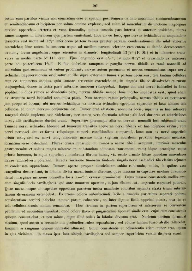 ortum cum partibus vicinis non concretum esse et spatium post femoris os inter musculum semimembranosum et semitendinosum et bicipitem non solum omnino explesse, sed etiam id musculorum disjunctione magnopere auxisse apparebat. Arteria et vena femorabs, quibus tumoris pars interna et anterior insidebat, plures ramos magnos in inferiorem ejus partem emittebant. Inde ab eo loco, quo nervus ischiadicus in amputatione dissectus erat usque ad 1 ‘/s inferiorem partem versus praeter parvam condensationem ille nihil abnorme ostendebat' hinc autem in tumorem usque ad mediam partem celeriter crescentem et deinde decrescentem, ovatum, levem augebatur, cujus circuitus in diametro longitudinali 13'/V' (P. M.) et in diametro trans- versa in media parte 6“ 11' erat. Ejus longitudo erat 5 '/4, latitudo 3 '/V' et crassitudo ex anteriore parte ad posteriorem l3/i. E fine inferiore tamquam e ganglio nervus tibialis et rami nonnulli ad musculum gastrocnemium et cutem prodibant; nervus autem peronaeus et nervus communicans supra nervi ischiadici degenerationem oriebantur et ille supra externam tumoris partem decurrens, tela tantum cellulosa cum eo conjunctus saepius, quia tumore crescente extendebatur, in singula fila se dissolvebat et rursus conjungebat, donec in tertia parte inferiore tumorem relinquebat. Itaque non nisi nervi ischiadici in fossa poplitea in duos ramos se dividentis pars, nervus tibialis nempe huic morbo implicatus erat, quod etiam ex structura nervi ischiadici anatomica patet. Nam uterque ramus principalis, nervus tibialis et peronaeus jam prope ad locum, ubi nervus ischiadicus ex incisura ischiadica egreditur separatus et laxa tantum tela cellulosa ad unum nervum conjunctus est. Tumor erat elasticus, nonnullis locis, inprimis in fine inferiore tangenti fluido impletus esse videbatur, nec tamen vera fluctuatio aderat; abi loci duriores et adstrictiores tactu, abi cartilagineae duritei erant. Superficies plerumque alba ut nervus, nonnulli loci rubicundi erant. Tunicae nervi ischiadici fibrosae ad tumorem transitus aeque ac nervi tibiahs ex fine inferiore exitus, cum nervi peronaei situ et forma reliquisque tumoris conditionibus comparati, hunc non ex nervi superficie ortum esse, sed ex nervi tela, abnormis massae intra vaginam neurilema proxime tegentem metastasi formatum esse ostendunt. Plures cruris musculi, qui ramos a nervo tibiali accipiunt, inprimis musculus gastrocnemius et soleus magis minusve in substantiam adiposam transmutati erant; idque praecipue caput prioris internum, in cujus superficie, membrana fibrosa incisa, vix oculo armato fibrae quaedam musculares flavae animadverti poterant. Directa incisione tumorem findente singula nervi ischiadici fila clarius sejuncta et condensata apparebant. Tumore aperto propter elasticitatem subito rubicunda, sulcis, in quibus vasa sanguifera decurrebant, in lobulos divisa massa tunicae fibrosae, quae massam in capsulae modum circumde- derat, margines incisionis nonnullis locis 1—2' crassas prominebat. Cujus massae consistentia mollis erat, cum singulis locis cartilagineis, cpii ante tumorem apertmn, ut jam dictum est, tangendo cognosci poterant. Quae massa usque ad capsulae oppositam parietem incisa manifeste coloribus sejuncta strata trium substan- tiarum diversarum ostendebat. Externum coloris subrubicundi facile a tumoris parietibus separari poterat, consistentiam cerebri habebat tamque parum cohaerens, ut inter digitos facile opprimi posset, qua in re tela cellulosa tenuis tantum remanebat. Hoc stratum in partem superiorem et interiorem se convertens paullatim ad secundum transibat, quod colore flavo et pinguetudine lipomati simile erat, cujus cum consistentia quoque consentiebat, et non minus, quam illud sulcis in lobulos divisum erat. Nucleum tertium formabat stratum, quod autem a secundo non profundiori sulco separabatur, sed colore tantum fusco ab illo differebat^ tanquam si sanguinis cruoris infiltratio affuisset. Simul consistentia et cohaerentia etiam minor erat, quain in ejus vicinitate. In massa ipsa loca singula cartilaginea sed semper superficiem versus dispersa erant.
