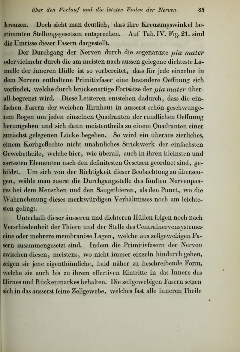 kreuzen. Doch sieht man deutlich, dass ihre Kreuzungswinkel be- stimmten Stellungsgesetzen entsprechen. Auf Tab. IV. Fig. 21. sind die Umrisse dieser Fasern dargestellt. Der Durchgang der Nerven durch die sogenannte pia mater oder vielmehr durch die am meisten nach aussen gelegene dichteste La- melle der inneren Hülle ist so vorbereitet, dass für jede einzelne in dem Nerven enthaltene Primitivfaser eine besondere Oeffnung sich vorfindet, welche durch brückenartige Fortsätze der pia mater über- all begrenzt wird. Diese Letzteren entstehen dadurch, dass die ein- fachen Fasern der weichen Hirnhaut in äusserst schön geschwunge- nen Bogen um jeden einzelnen Quadranten der rundlichen Oeffnung herumgehen und sich dann meistentheils zu einem Quadranten einer zunächst gelegenen Lücke begeben. So wird ein überaus zierliches, einem Korbgeflechte nicht unähnliches Strickwerk der einfachsten Gewebetheile, welche hier, wie überall, auch in ihren kleinsten und zartesten Elementen nach den definitesten Gesetzen geordnet sind, ge- bildet. Um sich von der Richtigkeit dieser Beobachtung zu überzeu- gen, wähle man zuerst die Durchgangsstelle des fünften Nervenpaa- res bei dem Menschen und den Säugethieren, als den Punct, wo die Wahrnehmung dieses merkwürdigen Verhältnisses noch am leichte- sten gelingt. Unterhalb dieser äusseren und dichteren Hüllen folgen noch nach Verschiedenheit derThiere und der Stelle des Centralnervensjstemes eine oder mehrere membranose Lagen, welche aus zellgewebigen Fa- sern zusammengesetzt sind. Indem die Primitivfasern der Nerven zwischen diesen, meistens, wo nicht immer einzeln hindurch gehen, zeigen sie jene eigenthümliche, bald näher zu beschreibende Form, welche sie auch bis zu ihrem effectiven Eintritte in das Innere des Hirnes und Rückenmarkes behalten. Die zellgewebigen Fasern setzen sich in das äusserst feine Zellgewebe, welches fast alle inneren Theile