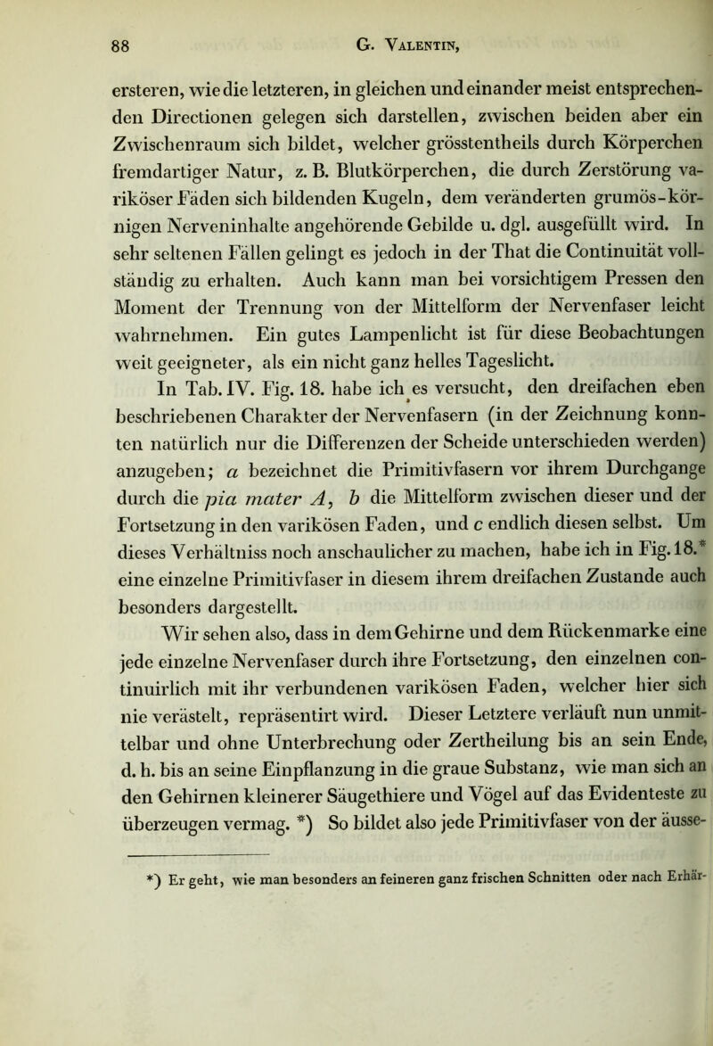 ersteren, wie die letzteren, in gleichen und einander meist entsprechen- den Directionen gelegen sich darstellen, zwischen beiden aber ein Zwischenraum sich bildet, welcher grösstentheils durch Körperchen fremdartiger Natur, z. B. Blutkörperchen, die durch Zerstörung va- riköser Fäden sich bildenden Kugeln, dem veränderten grumos-kör- nigen Nerveninhalte angehörende Gebilde u. dgl. ausgefüllt wird. In sehr seltenen Fällen gelingt es jedoch in der That die Continuität voll- ständig zu erhalten. Auch kann man bei vorsichtigem Pressen den Moment der Trennung von der Mittelform der Nervenfaser leicht wahrnehmen. Ein gutes Lampenlicht ist für diese Beobachtungen weit geeigneter, als ein nicht ganz helles Tageslicht. In Tab. IV. Fig. 18. habe ich es versucht, den dreifachen eben beschriebenen Charakter der Nervenfasern (in der Zeichnung konn- ten natürlich nur die Differenzen der Scheide unterschieden werden) anzugeben; a bezeichnet die Primitivfasern vor ihrem Durchgänge durch die pia mater A, b die Mittelform zwischen dieser und der Fortsetzung in den varikösen Faden, und c endlich diesen selbst. Um dieses Verhältniss noch anschaulicher zu machen, habe ich in Fig. 18.* eine einzelne Primitivfaser in diesem ihrem dreifachen Zustande auch besonders dargestellt. Wir sehen also, dass in dem Gehirne und dem Rückenmarke eine jede einzelne Nervenfaser durch ihre Fortsetzung, den einzelnen con- tinuirlich mit ihr verbundenen varikösen Faden, welcher hier sich nie verästelt, repräsentirt wird. Dieser Letztere verläuft nun unmit- telbar und ohne Unterbrechung oder Zertheilung bis an sein Ende, d. h. bis an seine Einpflanzung in die graue Substanz, wie man sich an den Gehirnen kleinerer Säugethiere und Vögel auf das Evidenteste zu überzeugen vermag. *) So bildet also jede Primitivfaser von der äusse- *) Ergeht, wie man besonders an feineren ganz frischen Schnitten oder nach Erhär-