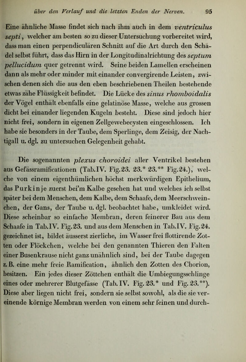 Eine ähnliche Masse findet sich nach ihm auch in dem ventriculus septi, welcher am besten so zu dieser Untersuchung vorbereitet wird, dass man einen perpendiculären Schnitt auf die Art durch den Schä- del selbst führt, dass das Hirn in der Longitudinalrichtung des septum pellucidum quer getrennt wird. Seine beiden Lamellen erscheinen dann als mehr oder minder mit einander convergirende Leisten, zwi- schen denen sich die aus den eben beschriebenen Theilen bestehende etwas zähe Flüssigkeit befindet. Die Lücke des sinus rhomboidalis der Vogel enthält ebenfalls eine gelatinöse Masse, welche aus grossen dicht bei einander liegenden Kugeln besteht. Diese sind jedoch hier nicht frei, sondern in eigenen Zellgewebecysten eingeschlossen. Ich habe sie besonders in der Taube, dem Sperlinge, dem Zeisig, der Nach- tigall u. dgl. zu untersuchen Gelegenheit gehabt. Die sogenannten plexus choroidei aller Ventrikel bestehen aus Gefässramificationen (Tab.IV. Fig.23. 23.* 23.** Fig.24.), wel- che von einem eigentümlichen höchst merkwürdigen Epithelium, das Purkinje zuerst bei’m Kalbe gesehen hat und welches ich selbst später bei dem Menschen, dem Kalbe, dem Schaafe, dem Meerschwein- chen, der Gans, der Taube u. dgl. beobachtet habe, umkleidet wird. Diese scheinbar so einfache Membran, deren feinerer Bau aus dem Schaafe in Tab.IV. Fig.2o. und aus dem Menschen in Tab.IV. Fig.24. gezeichnet ist, bildet äusserst zierliche, im Wasser frei flottirende Zot- ten oder Flöckchen, welche bei den genannten Thieren den Falten einer Busenkrause nicht ganz unähnlich sind, bei der Taube dagegen z. B. eine mehr freie Ramification, ähnlich den Zotten des Chorion, besitzen. Ein jedes dieser Zöttchen enthält die Umbiegungsschlinge eines oder mehrerer Blutgefässe (Tab.IV. Fig. 23.* und Fig.23.**). Diese aber liegen nicht frei, sondern sie selbst sowohl, als die sie ver- einende körnige Membran werden von einem sehr feinen und durch-