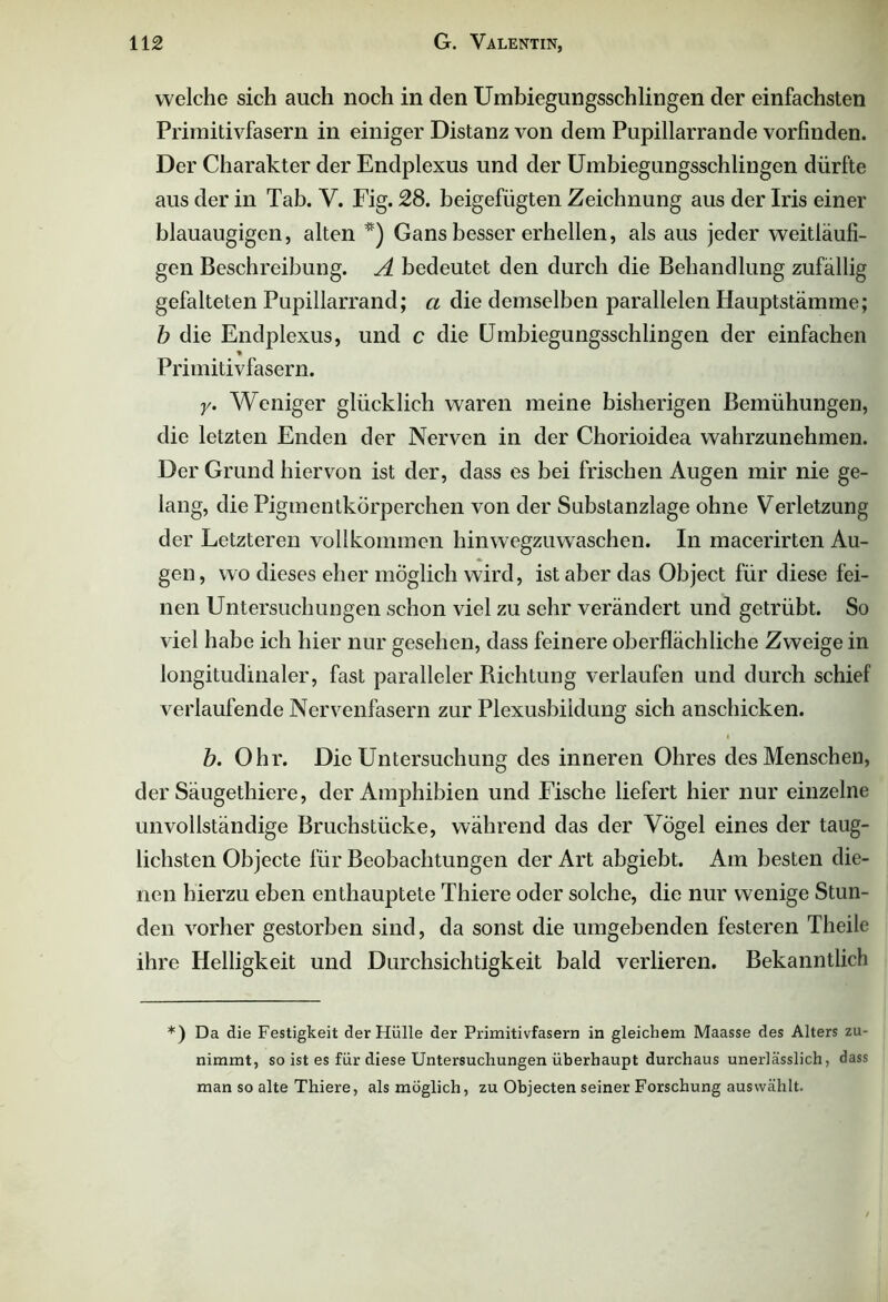 welche sich auch noch in den Umbiegungsschlingen der einfachsten Primitivfasern in einiger Distanz von dem Pupillarrande vorfinden. Der Charakter der Endplexus und der Umbiegungsschlingen dürfte aus der in Tab. V. Fig. 28. beigefügten Zeichnung aus der Iris einer blauäugigen, alten *) Gans besser erhellen, als aus jeder weitläufi- gen Beschreibung. A bedeutet den durch die Behandlung zufällig gefalteten Pupillarrand; a die demselben parallelen Hauptstämme; b die Endplexus, und c die Umbiegungsschlingen der einfachen Primitivfasern. y. Weniger glücklich waren meine bisherigen Bemühungen, die letzten Enden der Nerven in der Chorioidea wahrzunehmen. Der Grund hiervon ist der, dass es bei frischen Augen mir nie ge- lang, die Pigmentkörperchen von der Substanzlage ohne Verletzung der Letzteren vollkommen hinwegzuwaschen. In macerirten Au- gen , wo dieses eher möglich wird, ist aber das Object für diese fei- nen Untersuchungen schon viel zu sehr verändert und getrübt. So viel habe ich hier nur gesehen, dass feinere oberflächliche Zweige in longitudinaler, fast paralleler Bichtung verlaufen und durch schief verlaufende Nervenfasern zur Plexusbiidung sich anschicken. b. Ohr. Die Untersuchung des inneren Ohres des Menschen, der Säugethiere, der Amphibien und Fische liefert hier nur einzelne unvollständige Bruchstücke, während das der Vögel eines der taug- lichsten Objecte für Beobachtungen der Art abgiebt. Am besten die- nen hierzu eben enthauptete Thiere oder solche, die nur wenige Stun- den vorher gestorben sind, da sonst die umgebenden festeren Theile ihre Helligkeit und Durchsichtigkeit bald verlieren. Bekanntlich *) Da die Festigkeit der Hülle der Primitivfasern in gleichem Maasse des Alters zu- nimmt, so ist es für diese Untersuchungen überhaupt durchaus unerlässlich, dass man so alte Thiere, als möglich, zu Objecten seiner Forschung auswählt.