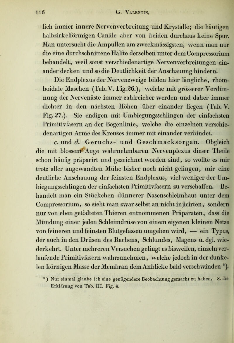 lieh immer innere Nervenverbreitung und Krystalle; die häutigen halbzirkelförmigen Canäle aber von beiden durchaus keine Spur. Man untersucht die Ampullen am zweckmässigsten, wenn man nur die eine durchschnittene Hälfte derselben unter dem Compressorium behandelt, weil sonst verschiedenartige Nerven Verbreitungen ein- ander decken und so die Deutlichkeit der Anschauung hindern. Die Endplexus der Nervenzweige bilden hier längliche, rhom- boidale Maschen (Tab.V. Fig. 26.), welche mit grösserer Verdün- nung der Nervenäste immer zahlreicher werden und daher immer dichter in den nächsten Höhen über einander liegen (Tab. V. Fig. 27.). Sie endigen mit Umbiegungsschlingen der einfachsten Primitivfasern an der Bogenlinie, welche die einzelnen verschie- denartigen Arme des Kreuzes immer mit einander verbindet. c. und d. Geruchs- und Geschmacksorgan. Obgleich die mit blossenV Auge wahrnehmbaren Nervenplexus dieser Theile schon häufig präparirt und gezeichnet worden sind, so wollte es mir trotz aller angewandten Mühe bisher noch nicht gelingen, mir eine deutliche Anschauung der feinsten Endplexus, viel weniger der Um- biegungsschlingen der einfachsten Primitivfasern zu verschaffen. Be- handelt man ein Stückchen dünnerer Nasenschleimhaut unter dem Compressorium, so sieht man zwar selbst an nicht injicirten, sondern nur von eben getödteten Thieren entnommenen Präparaten, dass die Mündung einer jeden Schleimdrüse von einem eigenen kleinen Netze von feineren und feinsten Blutgefässen umgeben wird, — ein Typus, der auch in den Drüsen des Rachens, Schlundes, Magens u. dgl. wie- derkehrt. Unter mehreren Versuchen gelingt es bisweilen, einzeln ver- laufende Primitivfasern wahrzunehmen, welche jedoch in der dunke- len körnigen Masse der Membran dem Anblicke bald verschwinden *). Nur einmal glaube ich eine genügendere Beobachtung gemacht zu haben. S. die Erklärung von Tab. III. Fig. 4.