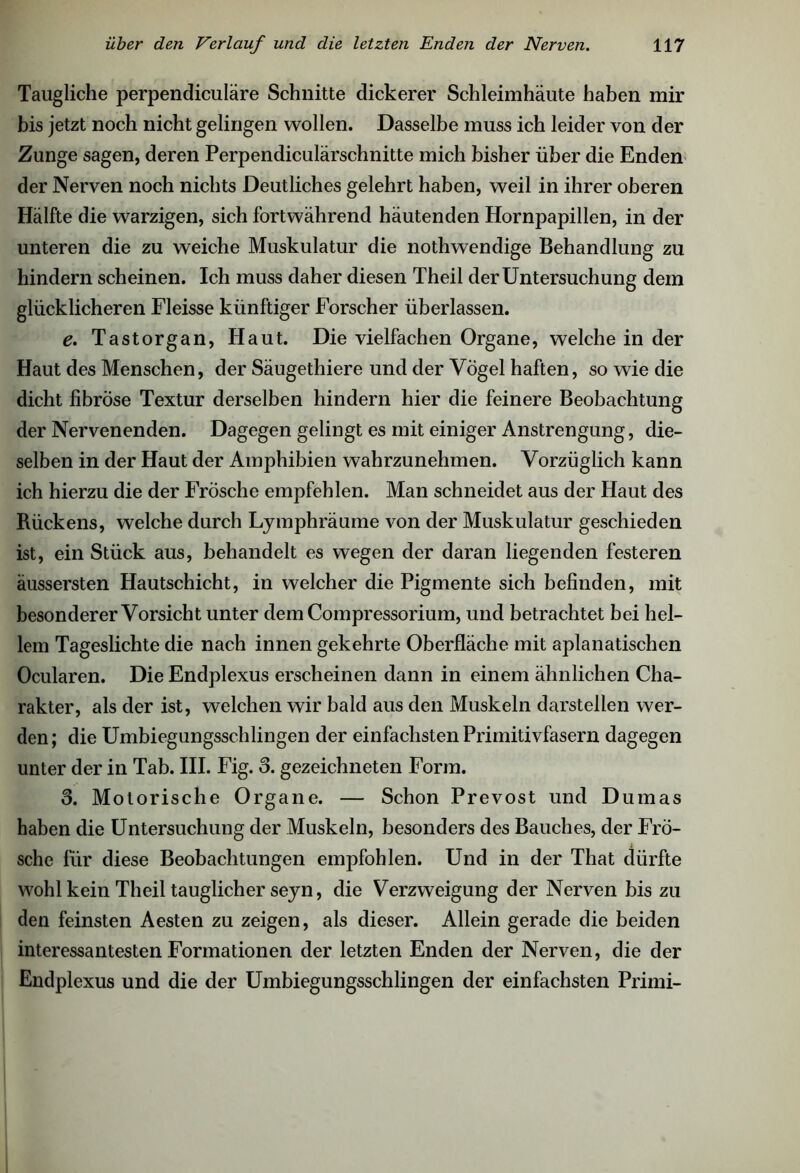 Taugliche perpendiculäre Schnitte dickerer Schleimhäute haben mir bis jetzt noch nicht gelingen wollen. Dasselbe muss ich leider von der Zunge sagen, deren Perpendiculärschnitte mich bisher über die Enden der Nerven noch nichts Deutliches gelehrt haben, weil in ihrer oberen Hälfte die warzigen, sich fortwährend häutenden Hornpapillen, in der unteren die zu weiche Muskulatur die nothwendige Behandlung zu hindern scheinen. Ich muss daher diesen Theil der Untersuchung dem glücklicheren Fleisse künftiger Forscher überlassen. e. Tastorgan, Haut. Die vielfachen Organe, welche in der Haut des Menschen, der Säugethiere und der Vögel haften, so wie die dicht fibröse Textur derselben hindern hier die feinere Beobachtung der Nervenenden. Dagegen gelingt es mit einiger Anstrengung, die- selben in der Haut der Amphibien wahrzunehmen. Vorzüglich kann ich hierzu die der Frösche empfehlen. Man schneidet aus der Haut des Rückens, welche durch Lymphräuine von der Muskulatur geschieden ist, ein Stück aus, behandelt es wegen der daran liegenden festeren äussersten Hautschicht, in welcher die Pigmente sich befinden, mit besonderer Vorsicht unter dem Compressorium, und betrachtet bei hel- lem Tageslichte die nach innen gekehrte Oberfläche mit aplanatischen Ocularen. Die Endplexus erscheinen dann in einem ähnlichen Cha- rakter, als der ist, welchen wir bald aus den Muskeln darstellen wer- den; die Umbiegungsschlingen der einfachsten Primitivfasern dagegen unter der in Tab. III. Fig. 3. gezeichneten Form. 3. Motorische Organe. — Schon Prevost und Dumas haben die Untersuchung der Muskeln, besonders des Bauches, der Frö- sche für diese Beobachtungen empfohlen. Und in der That dürfte wohl kein Theil tauglicher seyn, die Verzweigung der Nerven bis zu den feinsten Aesten zu zeigen, als dieser. Allein gerade die beiden interessantesten Formationen der letzten Enden der Nerven, die der