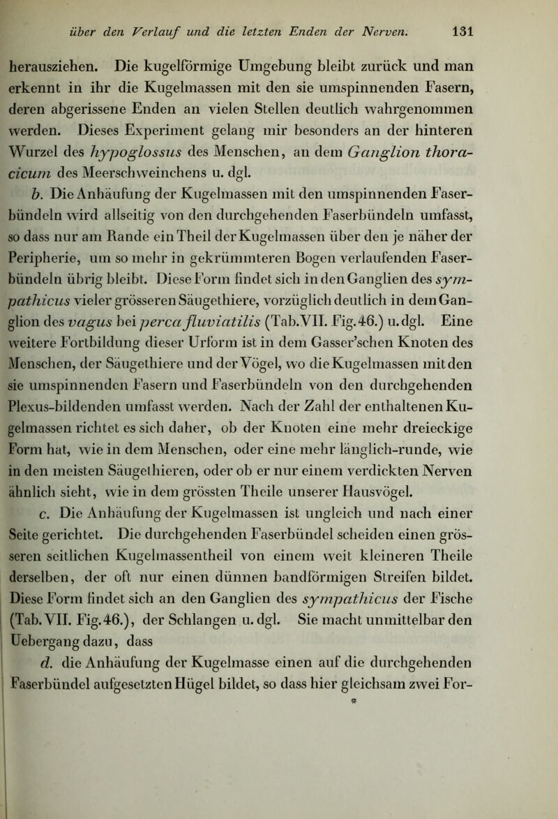 herausziehen. Die kugelförmige Umgebung bleibt zurück und man erkennt in ihr die Kugelmassen mit den sie umspinnenden Fasern, deren abgerissene Enden an vielen Stellen deutlich wahrgenommen werden. Dieses Experiment gelang mir besonders an der hinteren Wurzel des hypoglossus des Menschen, an dem Ganglion thora- cicum des Meerschweinchens u. dgl. b. Die Anhäufung der Kugelmassen mit den umspinnenden Faser- bündeln wird allseitig von den durchgehenden Faserbündeln umfasst, so dass nur am Rande einTheil der Kugelmassen über den je näher der Peripherie, um so mehr in gekrümmteren Bogen verlaufenden Faser- bündeln übrig bleibt. Diese Form findet sich in den Ganglien des sym- pathicus vieler grösseren Säugethiere, vorzüglich deutlich in dem Gan- glion des vagus bei percafluviatilis (Tab.VII. Fig.46.) u.dgl. Eine weitere Fortbildung dieser Urform ist in dem Gasser’schen Knoten des Menschen, der Säugethiere und der Vögel, wo die Kugelmassen mit den sie umspinnenden Fasern und Faserbündeln von den durchgehenden Plexus-bildenden umfasst werden. Nach der Zahl der enthaltenen Ku- gehnassen richtet es sich daher, ob der Knoten eine mehr dreieckige Form hat, wie in dem Menschen, oder eine mehr länglich-runde, wie in den meisten Säuget hieren, oder ob er nur einem verdickten Nerven ähnlich sieht, wie in dem grössten Theile unserer Hausvögel. c. Die Anhäufung der Kugelmassen ist ungleich und nach einer Seite gerichtet. Die durchgehenden Faserbündel scheiden einen grös- seren seitlichen Kugehnassentheil von einem weit kleineren Theile derselben, der oft nur einen dünnen bandförmigen Streifen bildet. Diese Form findet sich an den Ganglien des sympathicus der Fische (Tab. VII. Fig.46.), der Schlangen u. dgl. Sie macht unmittelbar den Uebergangdazu, dass d. die Anhäufung der Kugelmasse einen auf die durchgehenden Faserbündel aufgesetzten Hügel bildet, so dass hier gleichsam zwei For-