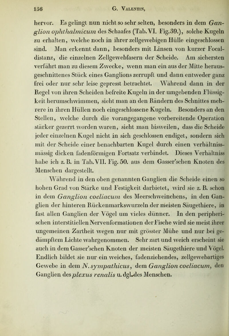 hervor. Es gelingt nun nicht so sehr selten, besonders in dem Gan- glion ophthalmicum des Schaafes (Tab. VI. Fig.o9.), solche Kugeln zu erhalten, welche noch in ihrer zellgewebigen Hülle eingeschlossen sind. Man erkennt dann, besonders mit Linsen von kurzer Focal- distanz, die einzelnen Zellgewebfasern der Scheide. Am sichersten verfährt man zu diesem Zwecke, wenn man ein aus der Mitte heraus- geschnittenes Stück eines Ganglions zerrupft und dann entweder ganz frei oder nur sehr leise gepresst betrachtet. Während dann in der Regel von ihren Scheiden befreite Kugeln in der umgebenden Flüssig- keit herumschwimmen, sieht man an den Rändern des Schnittes meh- rere in ihren Hüllen noch eingeschlossene Kugeln. Besonders an den Stellen, welche durch die vorangegangene vorbereitende Operation stärker gezerrt worden waren, sieht man bisweilen, dass die Scheide jeder einzelnen Kugel nicht in sich geschlossen endiget, sondern sich mit der Scheide einer benachbarten Kugel durch einen verhältniss- mässig dicken fadenförmigen Fortsatz verbindet. Dieses Verhältnis habe ich z. B. in Tab. VII. Fig. 50. aus dem Gasser’schen Knoten des Menschen dargestellt. Während in den oben genannten Ganglien die Scheide einen so hohen Grad von Stärke und Festigkeit darbietet, wird sie z. B. schon in dem Ganglion coeliacum des Meerschweinchens, in den Gan- glien der hinteren Rückenmarkswurzeln der meisten Säugethiere, in fast allen Ganglien der Vögel um vieles dünner. In den peripheri- schen interstitiellen Nervenformationen der Fische wird sie meist ihrer ungemeinen Zartheit wegen nur mit grösster Mühe und nur bei ge- dämpftem Lichte wahrgenommen. Sehr zart und weich erscheint sie auch in dem Gasser’schen Knoten der meisten Säugethiere und Vögel. Endlich bildet sie nur ein weiches, fadenziehendes, zellgewebartiges Gewebe in dem JV. sympathicus, dem Ganglion coeliacum, den Ganglien des plexus renalis u. dgLdes Menschen.