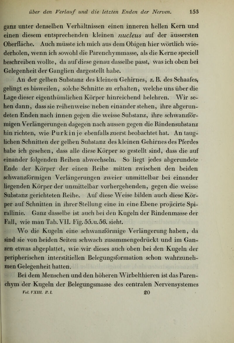 ganz unter denselben Verhältnissen einen inneren hellen Kern und einen diesem entsprechenden kleinen nucleus auf der äussersten Oberfläche. Auch müsste ich mich aus dem Obigen hier wörtlich wie- derholen, wenn ich sowohl die Parenchymmasse, als die Kerne speciell beschreiben wollte, da auf diese genau dasselbe passt, was ich oben bei Gelegenheit der Ganglien dargestellt habe. An der gelben Substanz des kleinen Gehirnes, z. B. des Schaafes, gelingt es bisweilen, solche Schnitte zu erhalten, welche uns über die Lage dieser eigenthümlichen Körper hinreichend belehren. Wir se- hen dann, dass sie reihenweise neben einander stehen, ihre abgerun- deten Enden nach innen gegen die weisse Substanz, ihre schwanzfor- migen Verlängerungen dagegen nach aussen gegen die Rindensubstanz hin richten, wie Purkinje ebenfalls zuerst beobachtet hat. An taug- lichen Schnitten der gelben Substanz des kleinen Gehirnes des Pferdes habe ich gesehen, dass alle diese Körper so gestellt sind, dass die auf einander folgenden Reihen abwechseln. So liegt jedes abgerundete Ende der Körper der einen Reihe mitten zwischen den beiden schwanzförmigen Verlängerungen zweier unmittelbar bei einander liegenden Körper der unmittelbar vorhergehenden, gegen die weisse Substanz gerichteten Reihe. Auf diese Weise bilden auch diese Kör- per auf Schnitten in ihrer Stellung eine in eine Ebene projicirte Spi- rallinie. Ganz dasselbe ist auch bei den Kugeln der Rindenmasse der Fall, wie man Tab. VII. Fig. 55.U.56. sieht. Wo die Kugeln eine schwanzförmige Verlängerung haben, da sind sie von beiden Seiten schwach zusammengedrückt und im Gan- zen etwas abgeplattet, wie wir dieses auch oben bei den Kugeln der peripherischen interstitiellen Belegungsformation schon wahrzuneh- men Gelegenheit hatten. Bei dem Menschen und den höheren Wirbelthieren ist das Paren- chym der Kugeln der Belegungsmasse des centralen Nervensystemes Voi. vxui. r. i. 20