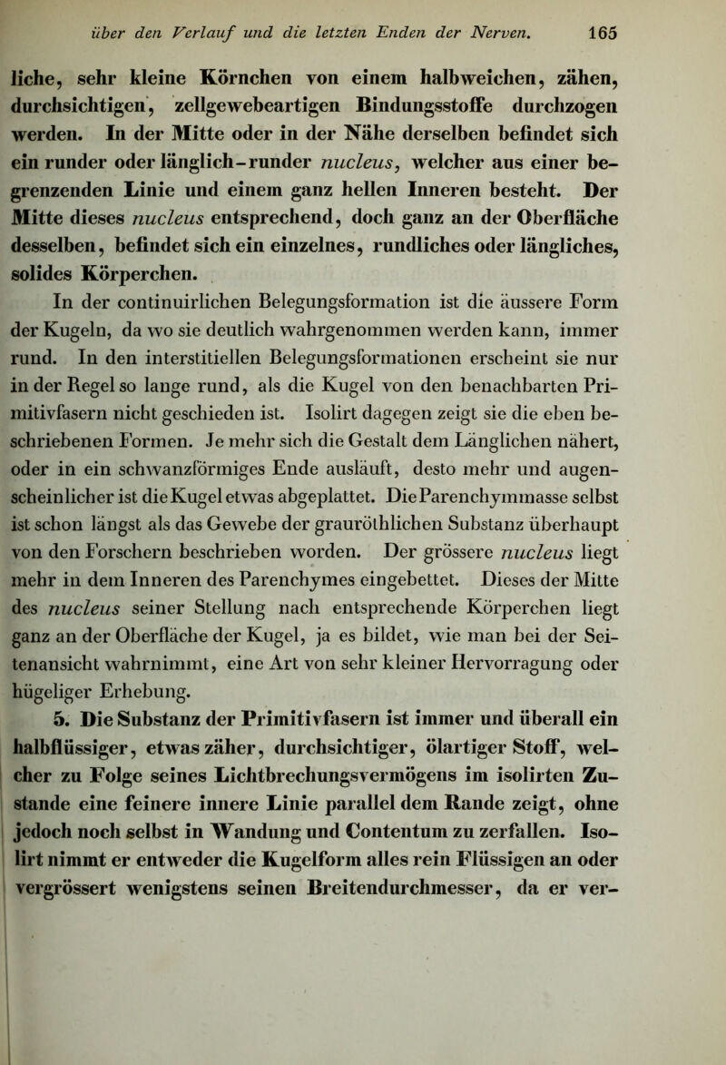 liehe, sehr kleine Körnchen von einem halbweichen, zähen, durchsichtigen, zellgewebeartigen Bindungsstoffe durchzogen werden. In der Mitte oder in der Nähe derselben befindet sich ein runder oder länglich-runder nucleus, welcher aus einer be- grenzenden Linie und einem ganz hellen Inneren besteht. Der Mitte dieses nucleus entsprechend, doch ganz an der Oberfläche desselben, befindet sich ein einzelnes, rundliches oder längliches, solides Körperchen. In der continuirlichen Belegungsformation ist die äussere Form der Kugeln, da wo sie deutlich wahrgenommen werden kann, immer rund. In den interstitiellen Belegungsformationen erscheint sie nur in der Regel so lange rund, als die Kugel von den benachbarten Pri- mitivfasern nicht geschieden ist. Isolirt dagegen zeigt sie die eben be- schriebenen Formen. Je mehr sich die Gestalt dem Länglichen nähert, oder in ein schwanzförmiges Ende ausläuft, desto mehr und augen- scheinlicher ist die Kugel etwas abgeplattet. Die Parench jmmasse selbst ist schon längst als das Gewebe der graurölhlichen Substanz überhaupt von den Forschern beschrieben worden. Der grössere nucleus liegt mehr in dem Inneren des Parenchymes eingebettet. Dieses der Mitte des nucleus seiner Stellung nach entsprechende Körperchen liegt ganz an der Oberfläche der Kugel, ja es bildet, wie man bei der Sei- tenansicht wahrnimmt, eine Art von sehr kleiner Hervorragung oder hügeliger Erhebung. 5. Die Substanz der Primitivfasern ist immer und überall ein halbflüssiger, etwas zäher, durchsichtiger, ölartiger Stoff*, wel- cher zu Folge seines Lichtbrechungsvermögens im isolirten Zu- stande eine feinere innere Linie parallel dem Rande zeigt, ohne jedoch noch selbst in Wandung und Contentum zu zerfallen. Iso- lirt nimmt er entweder die Kugelform alles rein Flüssigen an oder vergrössert wenigstens seinen Breitendurchmesser, da er ver-