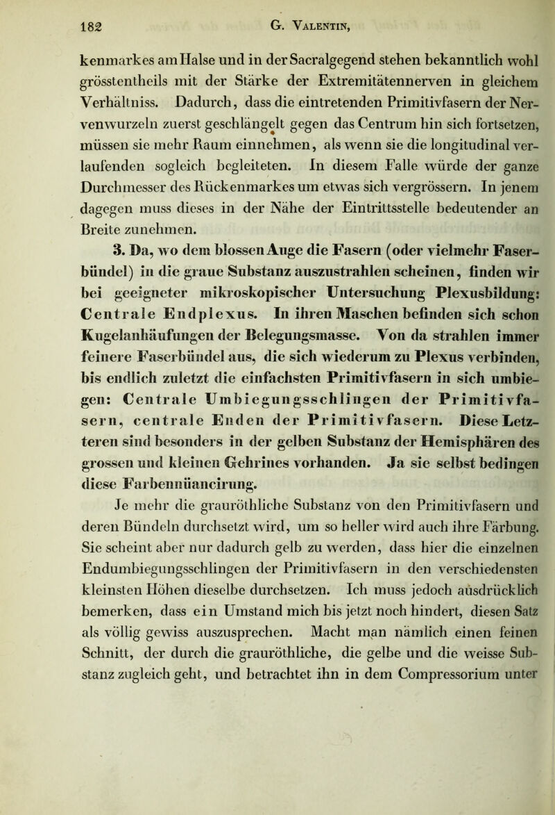 kenmarkes am Halse und in der Sacralgegend stehen bekanntlich wohl grösstentheils mit der Stärke der Extremitätennerven in gleichem Verhältniss. Dadurch, dass die eintretenden Primitivfasern der Ner- venwurzeln zuerst geschlängelt gegen das Centrum hin sich fortsetzen, müssen sie mehr Raum einnehmen, als wenn sie die longitudinal ver- laufenden sogleich begleiteten. In diesem Falle würde der ganze Durchmesser des Rückenmarkes um etwas sich vergrössern. In jenem dagegen muss dieses in der Nähe der Eintrittsstelle bedeutender an Breite zu nehmen. 3. Da, wo dem blossen Auge die Fasern (oder vielmehr Faser- bündel) in die graue Substanz auszustrahlen scheinen, finden wir bei geeigneter mikroskopischer Untersuchung Plexusbildung: Centrale Endplexus. In ihren Maschen befinden sich schon Kugelanhäufungen der Belegungsmasse. Von da strahlen immer feinere Faserbiindel aus, die sich wiederum zu Plexus verbinden, bis endlich zuletzt die einfachsten Primitivfasern in sich umbie- gen: Centrale Umbiegungsschlingen der Primitivfa- sern, centrale Enden der Primitivfasern. Diese Letz- teren sind besonders in der gelben Substanz der Hemisphären des grossen und kleinen Gehrines vorhanden. Ja sie selbst bedingen diese Farbenniiancirung. Je mehr die grauröthliche Substanz von den Primitivfasern und deren Bündeln durchsetzt wird, um so heller wird auch ihre Färbung. Sie scheint aber nur dadurch gelb zu werden, dass hier die einzelnen Endumbiegungsschlingen der Primitivfasern in den verschiedensten kleinsten Höhen dieselbe durchsetzen. Ich muss jedoch ausdrücklich bemerken, dass ein Umstand mich bis jetzt noch hindert, diesen Satz als völlig gewiss auszusprechen. Macht man nämlich einen feinen Schnitt, der durch die grauröthliche, die gelbe und die weisse Sub- stanz zugleich geht, und betrachtet ihn in dem Compressorium unter