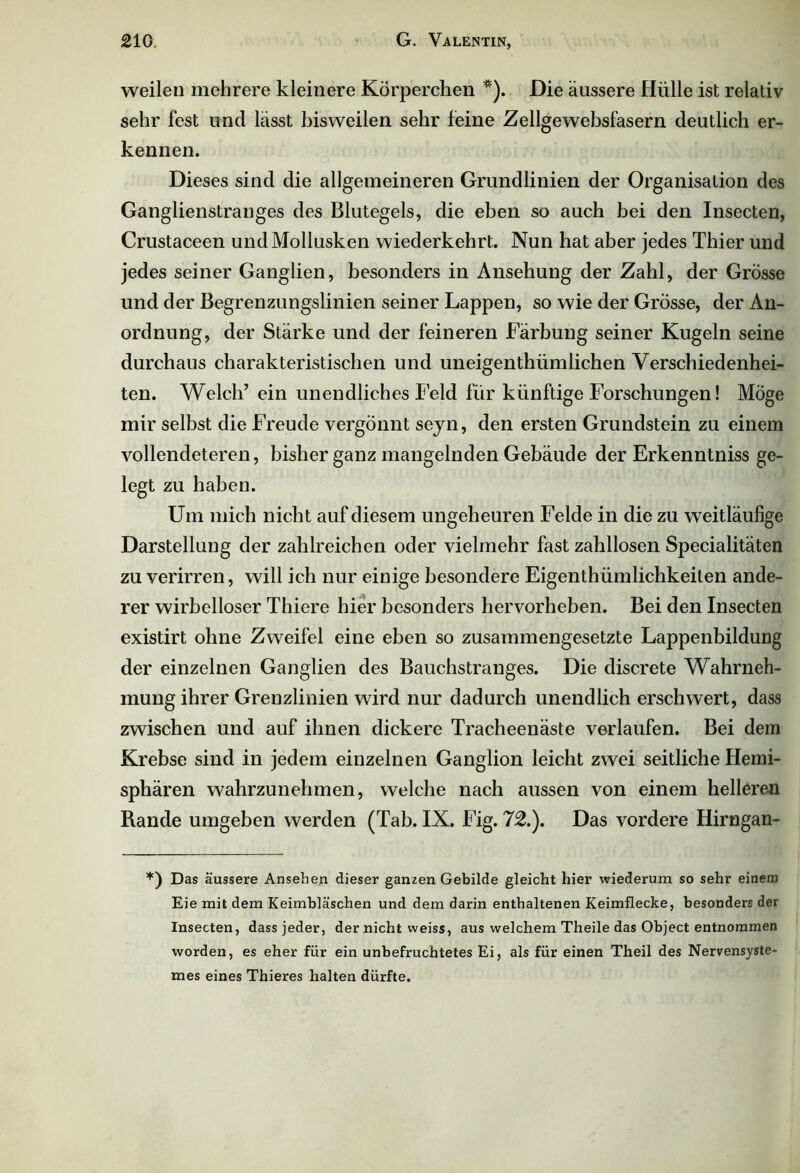 weilen mehrere kleinere Körperchen *). Die äussere Hülle ist relativ sehr fest und lässt bisweilen sehr feine Zellgewebsfasern deutlich er- kennen. Dieses sind die allgemeineren Grundlinien der Organisation des Ganglienstranges des Blutegels, die eben so auch bei den Insecten, Crustaceen und Mollusken wiederkehrt. Nun hat aber jedes Thier und jedes seiner Ganglien, besonders in Ansehung der Zahl, der Grösse und der Begrenzungslinien seiner Lappen, so wie der Grösse, der An- ordnung, der Stärke und der feineren Färbung seiner Kugeln seine durchaus charakteristischen und uneigenthiimlichen Verschiedenhei- ten. Welch’ ein unendliches Feld für künftige Forschungen! Möge mir selbst die Freude vergönnt seyn, den ersten Grundstein zu einem vollendeteren, bisher ganz mangelnden Gebäude der Erkenntniss ge- legt zu haben. Um mich nicht auf diesem ungeheuren Felde in die zu w eitläufige Darstellung der zahlreichen oder vielmehr fast zahllosen Specialitäten zu verirren, will ich nur einige besondere Eigenthümlichkeiten ande- rer wirbelloser Thiere hier besonders hervorheben. Bei den Insecten existirt ohne Zweifel eine eben so zusammengesetzte Lappenbildung der einzelnen Ganglien des Bauchstranges. Die discrete Wahrneh- mung ihrer Grenzlinien wird nur dadurch unendlich erschwert, dass zwischen und auf ihnen dickere Tracheenäste verlaufen. Bei dem Krebse sind in jedem einzelnen Ganglion leicht zwei seitliche Hemi- sphären wahrzunehmen, welche nach aussen von einem helleren Rande umgeben werden (Tab. IX. Fig. 72.). Das vordere Hirngan- *) Das äussere Ansehen dieser ganzen Gebilde gleicht hier wiederum so sehr einem Eie mit dem Keimbläschen und dem darin enthaltenen Keimflecke, besonders der Insecten, dass jeder, der nicht weiss, aus welchem Theile das Object entnommen worden, es eher für ein unbefruchtetes Ei, als für einen Theil des Nervensyste- mes eines Thieres halten dürfte.