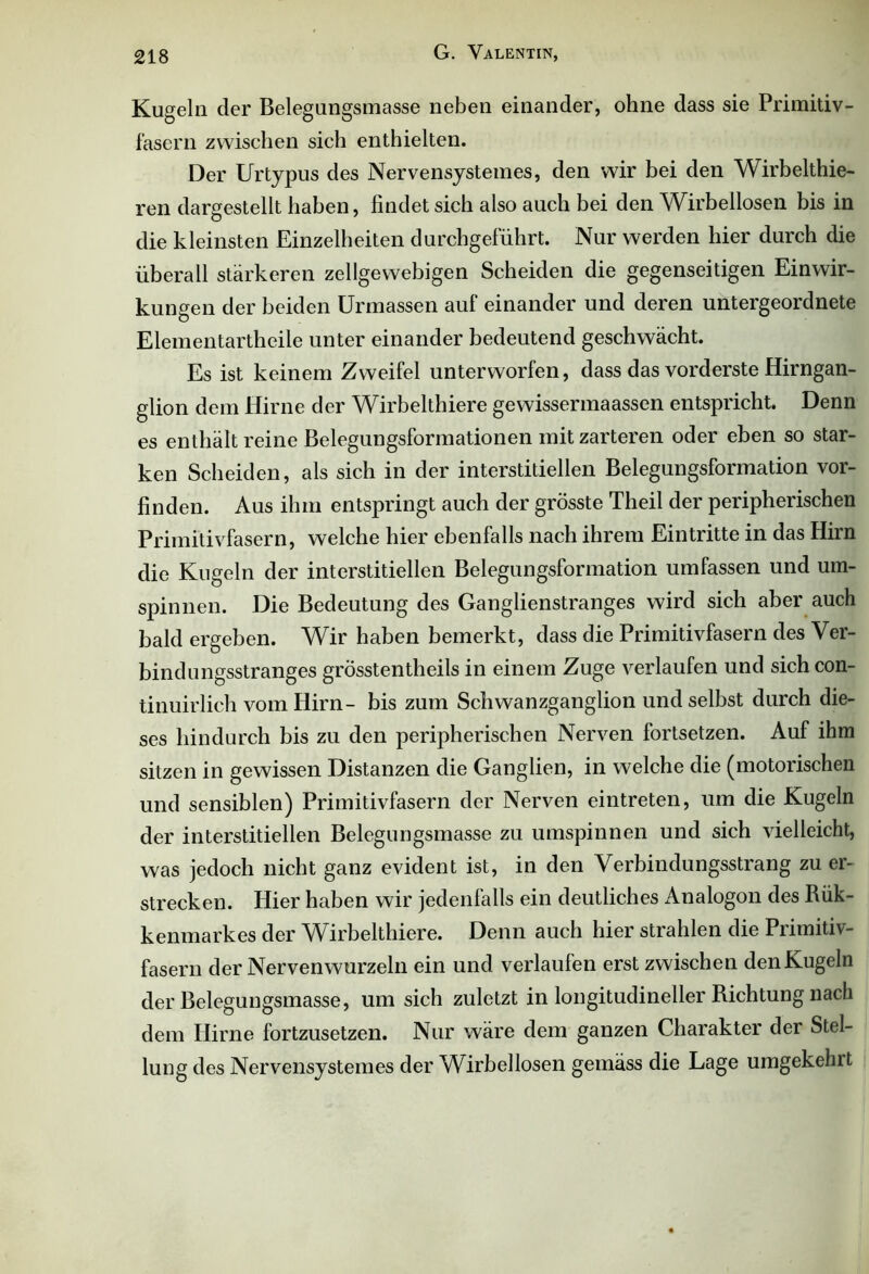 Kugeln der Belegungsmasse neben einander, ohne dass sie Primitiv- fasern zwischen sich enthielten. Der Urtypus des Nervensystemes, den wir bei den Wirbelthie- ren dargestellt haben, findet sich also auch bei den Wirbellosen bis in die kleinsten Einzelheiten durchgeführt. Nur werden hier durch die überall stärkeren zellgewebigen Scheiden die gegenseitigen Einwir- kungen der beiden Urmassen auf einander und deren untergeordnete Elementartheile unter einander bedeutend geschwächt. Es ist keinem Zweifel unterworfen, dass das vorderste Hirngan- glion dem Hirne der Wirbelthiere gewissermaassen entspricht. Denn es enthält reine Belegungsformationen mit zarteren oder eben so star- ken Scheiden, als sich in der interstitiellen Belegungsformation vor- finden. Aus ihm entspringt auch der grösste Theil der peripherischen Primitivfasern, welche hier ebenfalls nach ihrem Eintritte in das Hirn die Kugeln der interstitiellen Belegungsformation umfassen und um- spinnen. Die Bedeutung des Ganglienstranges wird sich aber auch bald ergeben. Wir haben bemerkt, dass die Primitivfasern des Ver- bindungsstranges grösstentheils in einem Zuge verlaufen und sich con- tinuirlich vom Hirn- bis zum Schwanzganglion und selbst durch die- ses hindurch bis zu den peripherischen Nerven fortsetzen. Auf ihm sitzen in gewissen Distanzen die Ganglien, in welche die (motorischen und sensiblen) Primitivfasern der Nerven eintreten, um die Kugeln der interstitiellen Belegungsmasse zu umspinnen und sich vielleicht, was jedoch nicht ganz evident ist, in den Verbindungsstrang zu er- strecken. Hier haben wir jedenfalls ein deutliches Analogon des Bük- kenmarkes der Wirbelthiere. Denn auch hier strahlen die Primitiv- fasern der Nervenwurzeln ein und verlaufen erst zwischen den Kugeln der Belegungsmasse, um sich zuletzt in longitudineller Richtung nach dem Hirne fortzusetzen. Nur wäre dem ganzen Charakter der Stel- lung des Nervensystemes der Wirbellosen gemäss die Lage umgekehlt