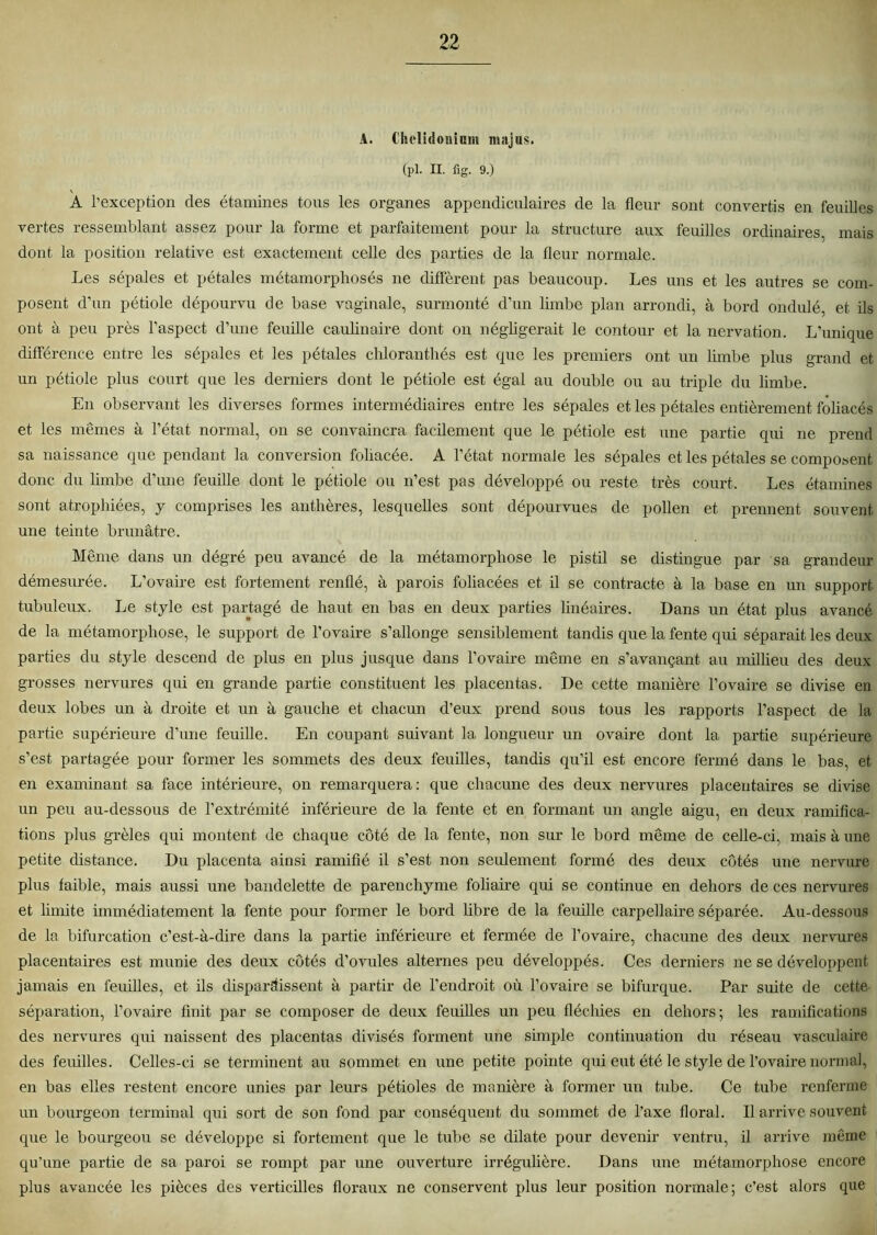A. Chelhloninm majus. (pl. IL fig. 9.) A l’exception des étamines tous les organes appendiculaires de la fleur sont convertis en feuilles vertes ressemblant assez pour la forme et parfaitement pour la structure aux feuilles ordinaires, mais dont la position relative est exactement celle des parties de la fleur normale. Les sépales et pétales métamorphosés ne diffèrent pas beaucoup. Les uns et les autres se com- posent d’un pétiole dépourvu de base vaginale, surmonté d’un limbe plan arrondi, à bord ondulé, et ils ont à peu près l’aspect d’une feuille caulinaire dont on négligerait le contour et la nervation. L’unique différence entre les sépales et les pétales chloranthés est que les premiers ont un limbe plus grand et un pétiole plus court que les derniers dont le pétiole est égal au double ou au triple du limbe. En observant les diverses formes intermédiaires entre les sépales et les pétales entièrement foliacés et les mêmes à l’état normal, on se convaincra facilement que le pétiole est une partie qui ne prend sa naissance que pendant la conversion foliacée. A l’état normale les sépales et les pétales se composent donc du limbe d’une feuille dont le pétiole ou n’est pas développé ou reste très court. Les étamines sont atrophiées, y comprises les anthères, lesquelles sont dépourvues de pollen et prennent souvent une teinte brunâtre. Même dans un dégré peu avancé de la métamorphose le pistil se distingue par sa grandeur démesurée. L’ovaire est fortement renflé, à parois foliacées et il se contracte à la base en un support tubuleux. Le style est partagé de haut en bas en deux parties linéaires. Dans un état plus avancé de la métamorphose, le support de l’ovaire s’allonge sensiblement tandis que la fente qui séparait les deux parties du style descend de plus en plus jusque dans l’ovaire même en s’avançant au millieu des deux grosses nervures qui en grande partie constituent les placentas. De cette manière l’ovaire se divise en deux lobes un à droite et un à gauche et chacun d’eux prend sous tous les rapports l’aspect de la partie supérieure d’une feuille. En coupant suivant la longueur un ovaire dont la partie supérieure s’est partagée pour former les sommets des deux feuilles, tandis qu’il est encore fermé dans le bas, et en examinant sa face intérieure, on remarquera: que chacune des deux nervures placentaires se divise un peu au-dessous de l’extrémité inférieure de la fente et en formant un angle aigu, en deux ramifica- tions plus grêles qui montent de chaque côté de la fente, non sur le bord même de celle-ci, mais à une petite distance. Du placenta ainsi ramifié il s’est non seulement formé des deux côtés une nervure plus faible, mais aussi une bandelette de parenchyme foliaire qui se continue en dehors de ces nervures et limite immédiatement la fente pour former le bord libre de la feuille carpellaire séparée. Au-dessous de la bifurcation c’est-à-dire dans la partie inférieure et fermée de l’ovaire, chacune des deux nervures placentaires est munie des deux côtés d’ovules alternes peu développés. Ces derniers ne se développent jamais en feuilles, et ils disparaissent à partir de l’endroit où l’ovaire se bifurque. Par suite de cette séparation, l’ovaire finit par se composer de deux feuilles un peu fléchies en dehors; les ramifications des nervures qui naissent des placentas divisés forment une simple continuation du réseau vasculaire des feuilles. Celles-ci se terminent au sommet en une petite pointe qui eut été le style de l’ovaire normal, en bas elles restent encore unies par leurs pétioles de manière à former un tube. Ce tube renferme un bourgeon terminal qui sort de son fond par conséquent du sommet de l’axe floral. Il arrive souvent que le bourgeon se développe si fortement que le tube se dilate pour devenir ventru, il arrive même qu’une partie de sa paroi se rompt par une ouverture irrégulière. Dans une métamorphose encore plus avancée les pièces des verticilles floraux ne conservent plus leur position normale; c’est alors que