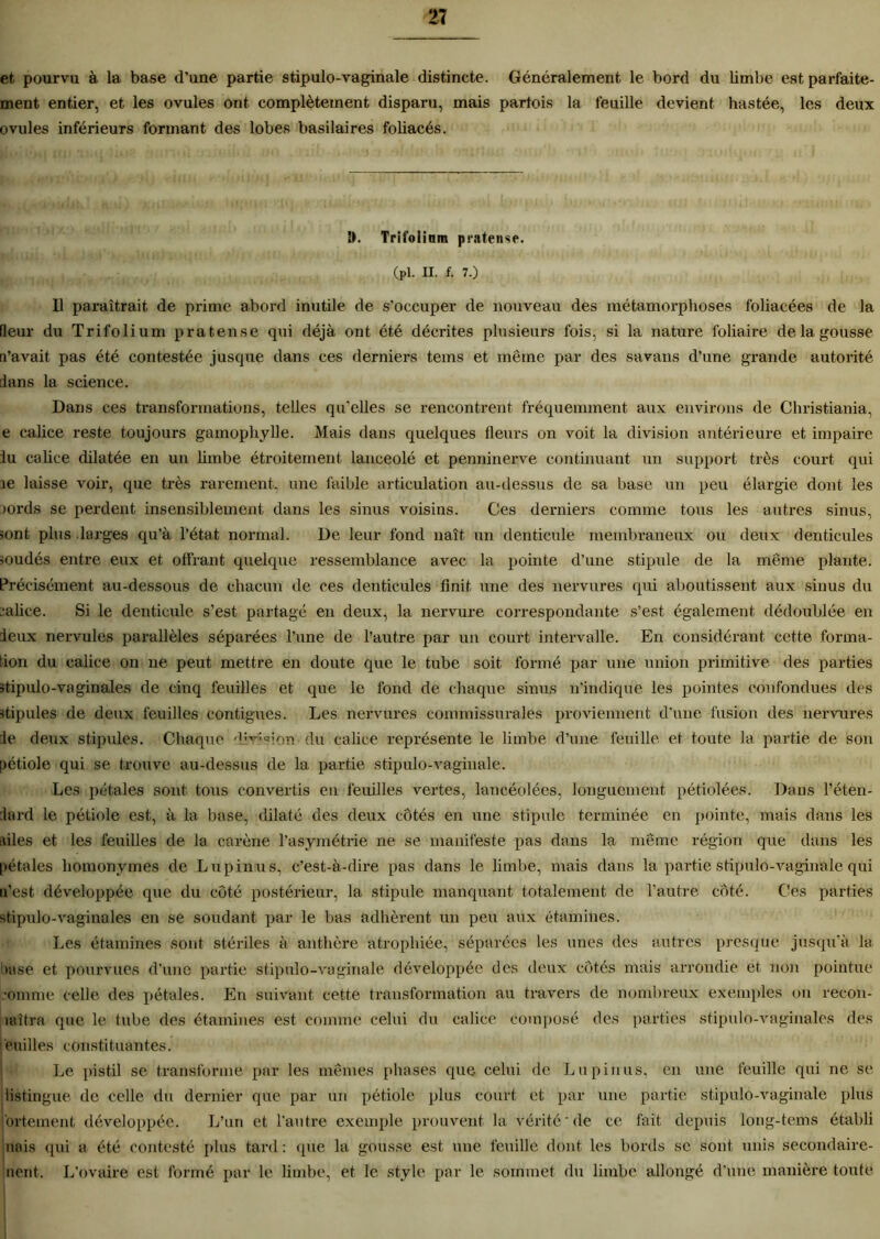 et pourvu à la base d’une partie stipulo-vaginale distincte. Généralement le bord du limbe est parfaite- ment entier, et les ovules ont complètement disparu, mais parfois la feuille devient hastée, les deux ovules inférieurs formant des lobes basilaires foliacés. !>. Trifolium pratense. (pl. II. f. 7.) Il paraîtrait de prime abord inutile de s’occuper de nouveau des métamorphoses foliacées de la fleur du Trifolium pratense qui déjà ont été décrites plusieurs fois, si la nature foliaire de la gousse n’avait, pas été contestée jusque dans ces derniers tems et même par des savans d’une grande autorité J an s la science. Dans ces transformations, telles qu'elles se rencontrent fréquemment, aux environs de Christiania, e calice reste toujours gamophylle. Mais dans quelques fleurs on voit la division antérieure et impaire lu calice dilatée en un limbe étroitement lancéolé et penninerve continuant un support très court qui ne laisse voir, que très rarement, une faible articulation au-dessus de sa base un peu élargie dont les JOrds se perdent insensiblement dans les sinus voisins. Ces derniers comme tous les autres sinus, sont plus larges qu’à l’état normal. De leur fond naît un denticule membraneux ou deux denticules soudés entre eux et offrant quelque ressemblance avec la pointe d’une stipule de la même plante. Précisément au-dessous de chacun de ces denticules finit une des nervures qui aboutissent aux sinus du calice. Si le denticule s’est partagé en deux, la nervure correspondante s’est également dédoublée en leux nervules parallèles séparées l’une de l’autre par un court intervalle. En considérant cette forma- tion du calice on ne peut mettre en doute que le tube soit formé par une union primitive des parties stipulo-vaginales de cinq feuilles et que le fond de chaque sinus n'indique les pointes confondues des ■stipules de deux feuilles contiguës. Les nervures commissurales proviennent d’une fusion des nervures le deux stipules. Chaque division du calice représente le limbe d’une feuille et toute la partie de son pétiole qui se trouve au-dessus de la partie stipulo-vaginale. Les pétales sont tous convertis en feuilles vertes, lancéolées, longuement pétiolées. Dans l'éten- dard le pétiole est, à la base, dilaté des deux côtés en une stipule terminée en pointe, mais dans les ailes et les feuilles de la carène l’asymétrie ne se manifeste pas dans la même région que dans les pétales homonymes de Lupinus, c’est-à-dire pas dans le limbe, mais dans la partie stipulo-vaginale qui u'est développée que du coté postérieur, la stipule manquant totalement de l’autre côté. Ces parties stipulo-vaginales en se soudant par le bas adhèrent un peu aux étamines. Les étamines sont stériles à anthère atrophiée, séparées les unes des autres presque jusqu’à la base et pourvues d’une partie stipulo-vaginale développée des deux côtés mais arrondie et non pointue ■omme celle des pétales. En suivant cette transformation au travers de nombreux exemples on recon- laîtra que le tube des étamines est comme celui du calice composé des parties stipulo-vaginales des cuilles constituantes. Le pistil se transforme par les mêmes phases que celui de Lupinus. en une feuille qui ne se listingue de celle du dernier que par un pétiole plus court et par une partie stipulo-vaginale plus fortement développée. L’un et l’autre exemple prouvent la vérité de ce fait depuis long-tems établi nais qui a été contesté plus tard: que la gousse est une feuille dont les bords se sont unis secondaire- nent. L’ovaire est formé par le limbe, et le style par le sommet du limbe allongé d’une manière toute