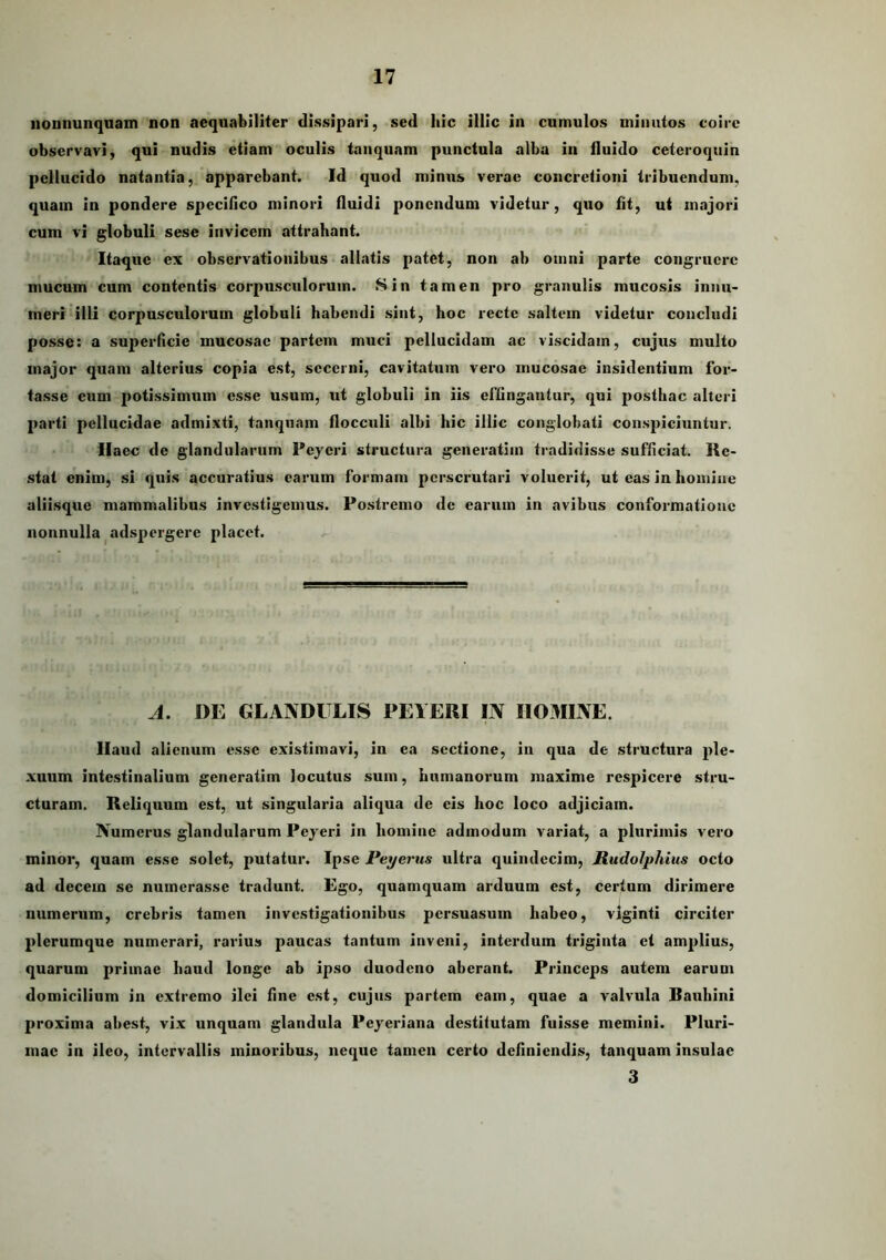 iiODiiunquain non aequabiliter dissipari, sed hic illic in cumulos minutos coire observavi, qui nudis etiam oculis taiiquam punctula alba in fluido ceteroquin pellucido natantia, apparebant. Id quod minus verae concretioni tribuendum, quam in pondere specifico minori fluidi ponendum videtur, quo fit, ut majori cum vi globuli sese invicem attrahant. Itaque ex observationibus allatis patet, non ab omni parte congruere mucum cum contentis corpusculorum. Sin tamen pro granulis mucosis innu- meri'illi corpusculorum globuli habendi sint, hoc recte saltem videtur concludi posse: a superficie mucosae partem muci pellucidam ac viscidam, cujus multo major quam alterius copia est, secerni, cavitatum vero mucosae insidentium for- tasse cum potissimum esse usum, ut globuli in iis effingantur, qui posthac alteri parti pellucidae admixti, tanquam flocculi albi hic illic conglobati conspiciuntur. llaec de glandularum Peyeri structura generatiin tradidisse sufficiat. Re- stat enim, si quis accuratius earum formam perscrutari voluerit, ut eas in homine aliisque mammalibus investigemus. Po.stremo de earum in avibus conformatione nonnulla ^adspergere placet. A. DE GLANDULIS PEIERI IN HOMINE. Haud alienum esse existimavi, in ea sectione, in qua de .structura ple- xuum intestinalium generatim locutus sum, humanorum maxime respicere stru- cturam. Reliquum est, ut singularia aliqua de cis hoc loco adjiciam. Numerus glandularum Peyeri in homine admodum variat, a plurimis vero minor, quam esse solet, putatur. Ipse Peyeims ultra quindecim, Rudolphius octo ad decem se numerasse tradunt. Ego, quamquam arduum est, certam dirimere numerum, crebris tamen investigationibus persuasum habeo, viginti circiter plerumque numerari, rarius paucas tantum inveni, interdum triginta et amplius, quarum primae haud longe ab ipso duodeno aberant. Princeps autem earum domicilium in extremo ilei fine est, cujus partem eam, quae a valvula Bauhini proxima abest, vix unquam glandula Peyeriana destitutam fuisse memini. Pluri- mae in ileo, intervallis minoribus, neque tamen certo definiendis, tanquam insulae 3