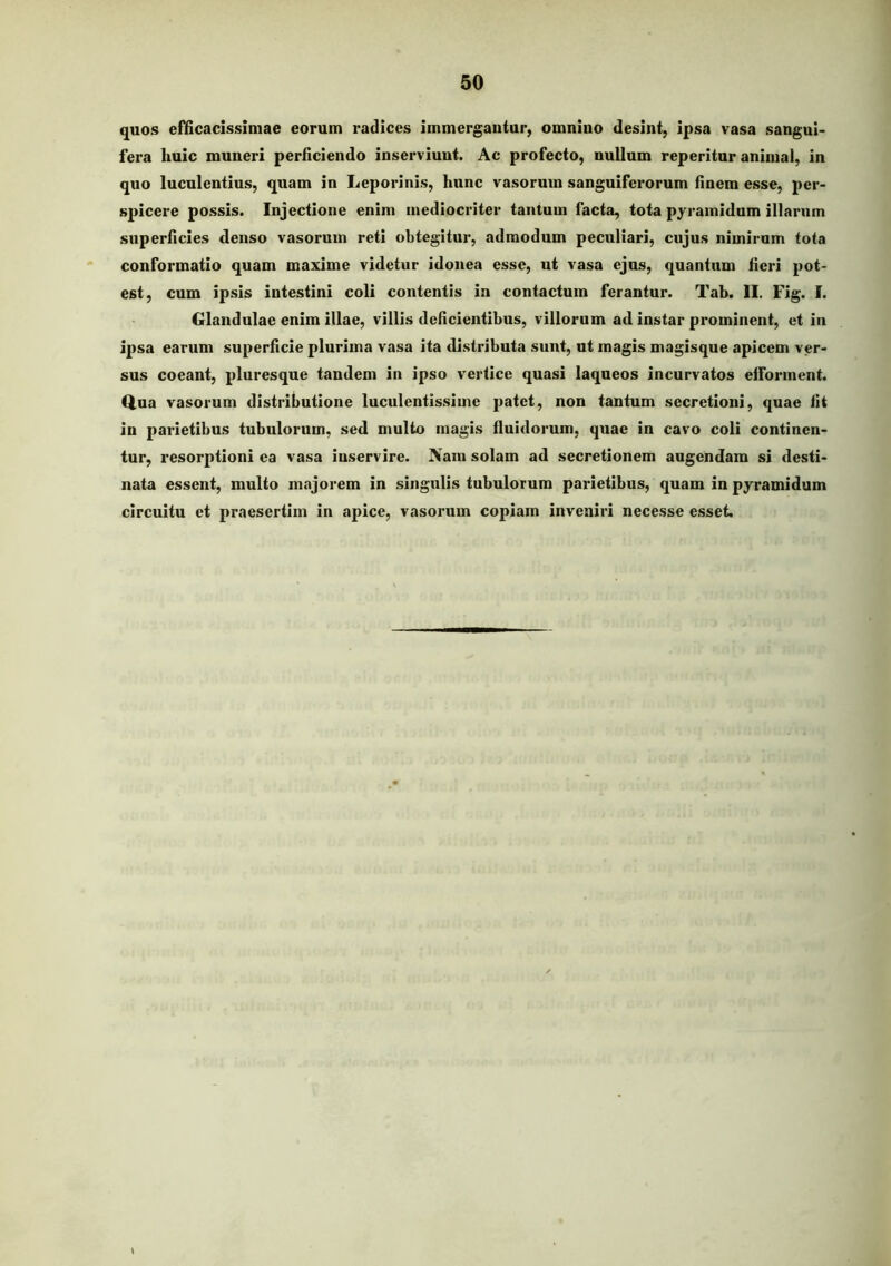 quos efficacissiniae eorum radices immergantur, omnino desint, ipsa vasa sangni- fera huic muneri perficiendo inserviunt. Ac profecto, nullum reperitur animal, in quo luculentius, quam in Leporinis, hunc vasorum sanguiferorum finem esse, per- spicere possis. Injectione enim mediocriter tantum facta, tota pyramidum illarum superficies denso vasorum reti obtegitur, admodum peculiari, cujus nimirum tota conformatio quam maxime videtur idonea esse, ut vasa ejus, quantum fieri pot- est, cum ipsis intestini coli contentis in contactum ferantur. Tab. II. Fig. I. Glandulae enim illae, villis deficientibus, villorum ad instar prominent, et in ipsa earum superficie plurima vasa ita distributa sunt, ut magis magisque apicem ver- sus coeant, pluresque tandem in ipso vertice quasi laqueos incurvatos eiforment. Q.ua vasorum distributione luculentissime patet, non tantum secretioni, quae fit in parietibus tubulorum, sed multo magis fluidorum, quae in cavo coli continen- tur, resorptioni ea vasa inservire. J\am solam ad secretionem augendam si desti- nata essent, multo majorem in singulis tubulorum parietibus, quam in pyramidum circuitu et praesertim in apice, vasorum copiam inveniri necesse esset.