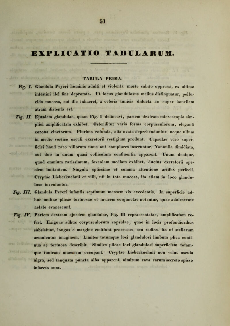 EXPLICATIO TABIJLARIJir. TABULA PRIMA. Fig. 1, Glandula Peycri hominis adulti et violenta morte siihito oppressi, ex ultimo intestini ilei fine depromta. Ut locus glandulosus melius distinguatur, pellu- cida mucosa, cui ille inhaeret, a ceteris tunicis diducta ac super lamellam atram distenta est. Ftg. II. Ejusdem glandulae, quam Fig. I delineavi, partem dextram microscojiio sim- plici amplificatam exhibet. Ostenditur varia forma corpusculorum, eleganti corona cinctorum. Plurima rotunda, alia ovata deprehenduntur, neque ullum in medio vertice osculi excretorii vestigium produnt. Capsulae vero super- ficiei haud raro villorum unus aut complures in.«eruntur. Nonnulla dimidiata, aut duo in unum quasi colliculum confluentia apparent. Unum denique, quod omnium rarissimum, foveolam mediam exhibet, ductus excretorii spe- ciem imitantem. Singula aptissime et summa attentione artifex jierfecit. Cryptae Lieberkuehnii et villi, uti in tota mucosa, ita etiam in loco glandu- loso inveniuntur. Fig. III. Glandula Pcyeri infantis septimum mensem vix excedentis. In superficie ad- huc multae plicae tortuosae et invicem conjunctae notantur, quae adolescente aetate evanescunt. Fig. IV. Partem dextram ejusdem glandulae, Fig. III repraesentatae, amplificatam re- fert. Exiguae adhuc corpusculorum capsulae, quae in locis profundioribus subsistunt, longos c margine emittunt processus, seu radios, ita ut stellarum aemulentur imaginem. Limites totumque loci glandulosi limbum plica conti- nua ac tortuosa describit. Similes plicae loci glandulosi superficiem totam- que tunicam mucosam occupant. Cryptae Lieberkuehnii non velut oscula nigra, sed tanquam puncta alba apparent, nimirum cava earum secreto spisso infarcta sunt.