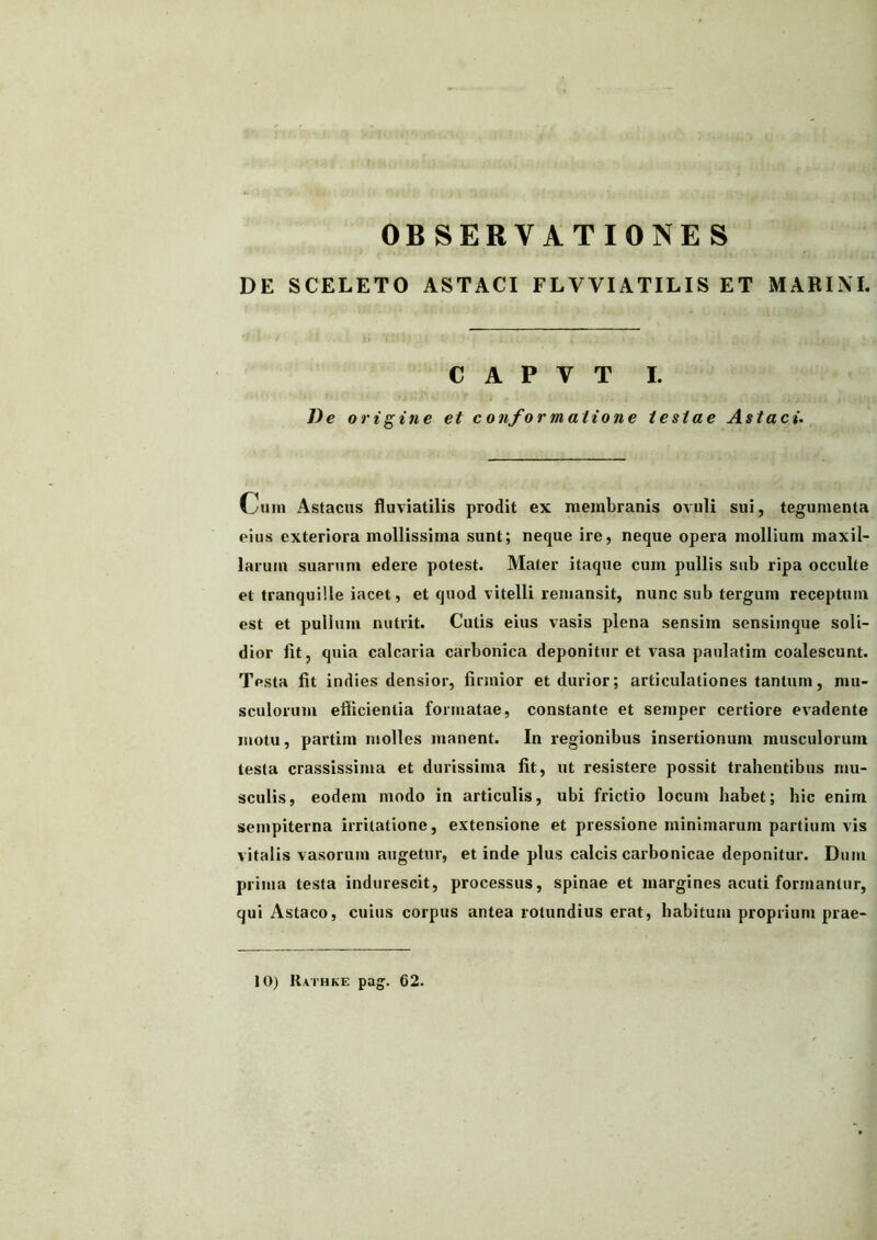 DE SCELETO ASTACI FLVVIATILIS ET MARINI. C A P V T I. De origine et conformatione testae Astaci. Cum Astacus fluviatilis prodit ex membranis ovuli sui, tegumenta eius exteriora mollissima sunt; neque ire, neque opera mollium maxil- larum suarum edere potest. Mater itaque cum pullis sub ripa occulte et tranquille iacet, et quod vitelli remansit, nunc sub tergum receptum est et pullum nutrit. Cutis eius vasis plena sensim sensiinque soli- dior fit, quia calcaria carbonica deponitur et vasa paulatim coalescunt. Testa fit indies densior, firmior et durior; articulationes tantum, mu- sculorum efficientia formatae, constante et semper certiore evadente motu, partim molles manent. In regionibus insertionum musculorum testa crassissima et durissima fit, ut resistere possit trahentibus mu- sculis, eodem modo in articulis, ubi frictio locum habet; hic enim sempiterna irritatione, extensione et pressione minimarum partium vis vitalis vasorum augetur, et inde plus calcis carbonicae deponitur. Dum prima testa indurescit, processus, spinae et margines acuti formantur, qui Astaco, cuius corpus antea rotundius erat, habitum proprium prae-