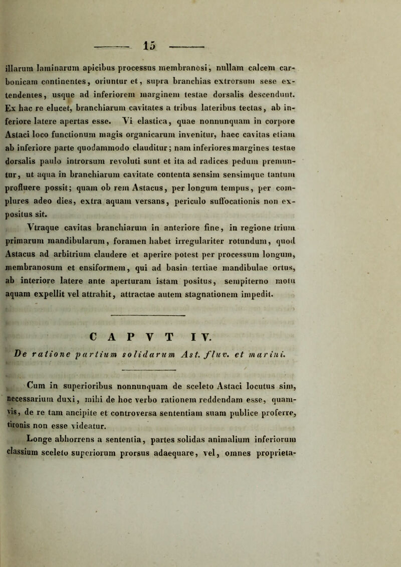 illarum laminarum apicibus processus membranosi, nullam calcem car- bonicam continentes, oriuntur et, supra branchias cxtrorsum sese ex- tendentes, usque ad inferiorem marginem testae dorsalis descendunt. Ex hac re elucet, branchiarum cavitates a tribus lateribus tectas, ab in- feriore latere apertas esse. Vi elastica, quae nonnunquam in corpore Astaci loco functionum magis organicarum invenitur, haec cavitas etiam ab inferiore parte quodammodo clauditur; nam inferiores margines testae dorsalis paulo introrsum revoluti sunt et ita ad radices pedum premun- tur, ut aqua in branchiarum cavitate contenta sensim sensimque tantum profluere possit; quam ob rem Astacus, per longum tempus, per com- plures adeo dies, extra aquam versans, periculo suffocationis non ex- positus sit. Vtraque cavitas branchiarum in anteriore fine, in regione trium primarum mandibularum, foramen habet irregulariter rotundum, quod Astacus ad arbitrium claudere et aperire potest per processum longum, membranosum et ensiformem, qui ad basin tertiae mandibulae ortus, ab interiore latere ante aperturam istam positus, sempiterno motu aquam expellit vel attrahit, attractae autem stagnationem impedit. C A P V T IV. De ratione 'partium solidarum Ast. fluv. et marini. Cum in superioribus nonnunquam de sceleto Astaci locutus sim, necessarium duxi, mihi de hoc verbo rationem reddendam esse, quam- vis, de re tam ancipite et controversa sententiam suam publice proferre, tironis non esse videatur. Longe abhorrens a sententia, partes solidas animalium inferiorum classium sceleto superiorum prorsus adaequare, vel, omnes proprieta-