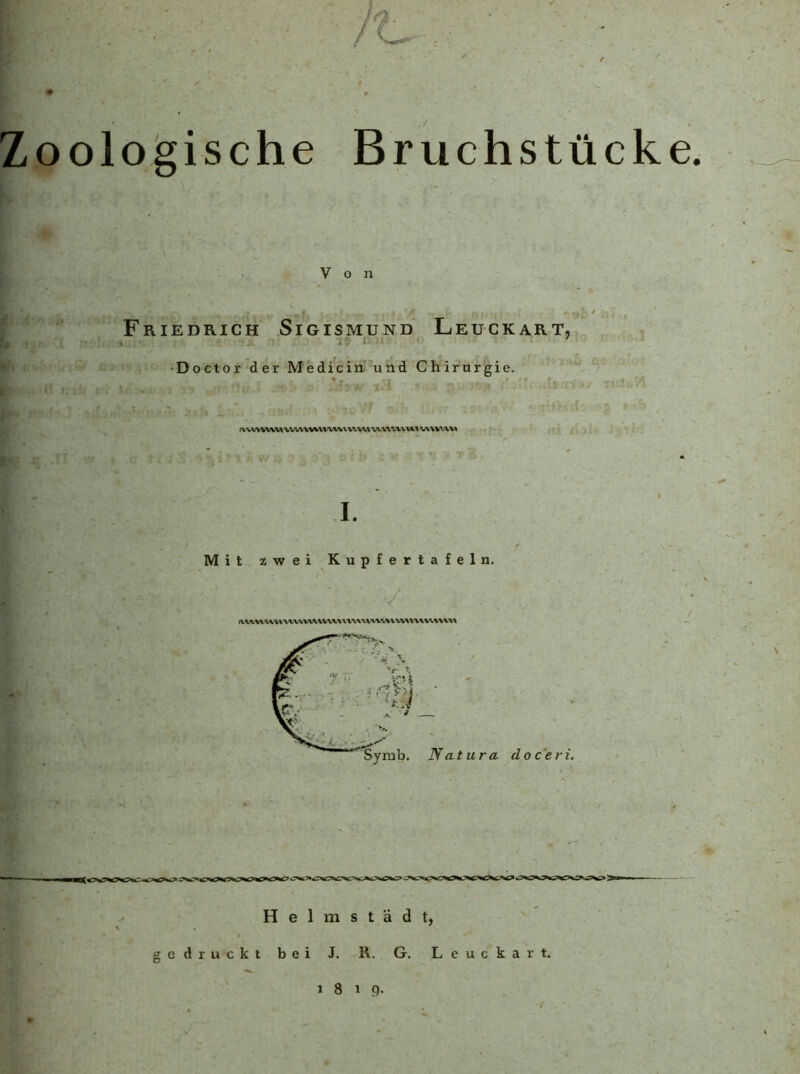 /'t. Zoologische Bruchstücke, Von Friedrich Sigismund Leuckart, * 19 ii/i ^ •Doctor der Medicin und Chirurgie. I. Mit zwei Kupfertafeln. •/ Symb. Natura doceri Heimst ä dt, gedruckt bei J. R. G, Leuckart. ' 1819-