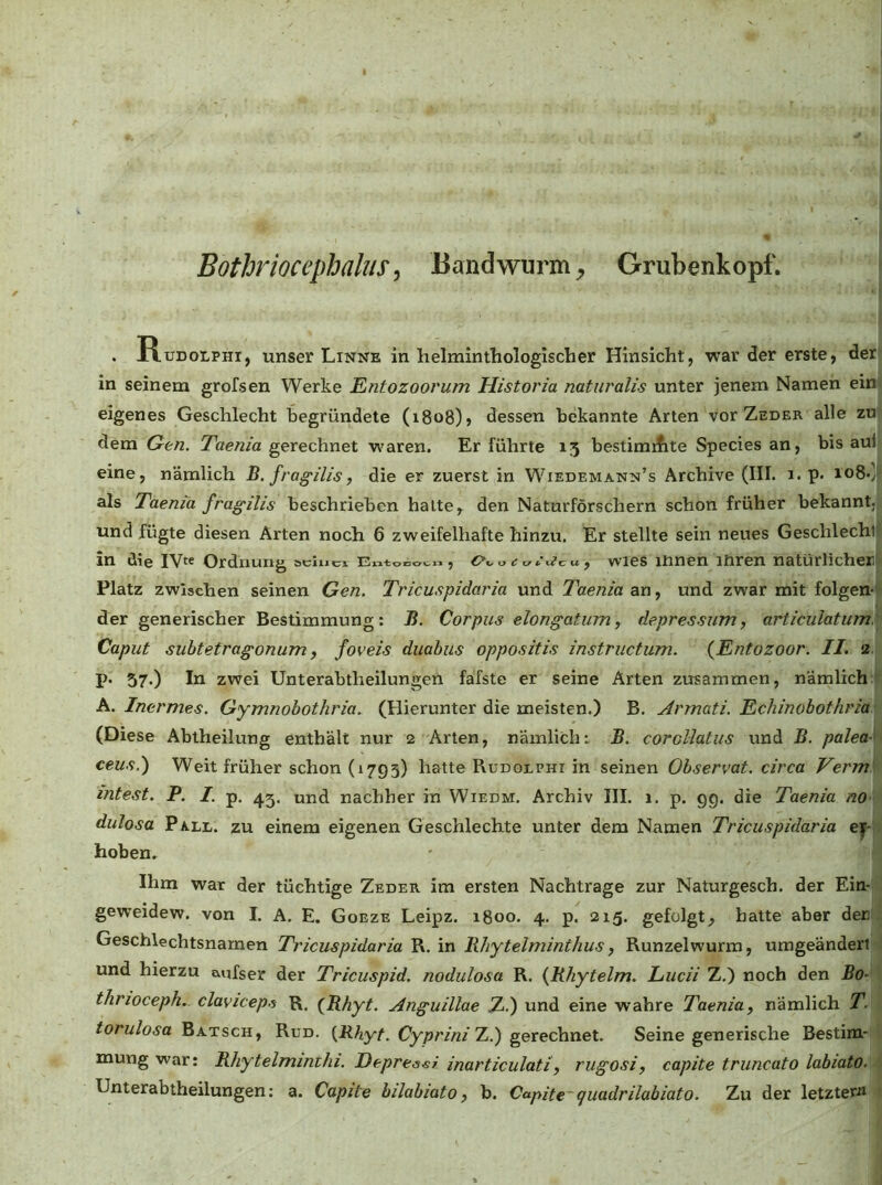 Bothriocephaliis ^ Bandwurm, Grubenkopf. . Rudolphi, unser Linne in helminthologischer Hinsicht, war der erste, der^ in seinem grofsen Werke Entozoorum Historia naturalis unter jenem Namen ein eigenes Geschlecht begründete (1808)) dessen bekannte Arten vor Zeder alle zu. dem Gen. Taenia gerechnet w'aren. Er führte 13 bestimifite Species an, bis aui| eine, nämlich B. fragilis, die er zuerst in Wiedemanm’s Archive (III. 1. p. io8.jj als Taenia fragilis beschrieben halte, den Naturforschern schon früher bekannt.| und fügte diesen Arten noch 6 zweifelhafte hinzu. Er stellte sein neues Geschlechtf in die IV« Ordnung aclnci Ewtonot.1^, o«:c’iZcu, wies innen mren natürlicher^ Platz zwischen seinen Gen. Tricuspidaria und Tae?iiaax\.) und zwar mit folgen-* der generischer Bestimmung: B. Corpus elongatum, depressum, articulatumy Caput suhtetragonum y foveis duabus oppositis instructum. {Entozoor. II. 2, p. 37.) In zwei Unterabtheilungen fafste er seine Arten zusammen, nämlich jt A. Inermes. Gymnobothria. (Hierunter die meisten.) B. Armati. Echinobothria • (Diese Abtheilung enthält nur 2 Arten, nämlich: B. coroliatus und B. paleaU ceus.) Weit früher schon (1793) hatte Rudolphi in seinen Observat. circa Vermh intest. P. I. p. 45. und nachher in Wiedm. Archiv III. 1. p. 99. die Taenia no \ dulosa Pa.ll. zu einem eigenen Geschlechte unter dem Namen Tricuspidaria ey-]-) hoben. Ihm war der tüchtige Zeder im ersten Nachtrage zur Naturgesch. der Ein- ! geweidew. von I. A. E. Goeze Leipz. 1800. 4. p. 215. gefolgt, hatte aber der; Geschlechtsnarnen Tricuspidaria R.. in RJiytelminthus, Runzelwurra, urageänderi l und hierzu aqfser der Tricuspid. nodulosa R. {Bhytelm. Lucii Z.) noch den Bo- t thrioceph. claviceps R. (Bhyt. Anguillae X.) und eine wahre Taenia, nämlich T. torulosa Rud. (ÜAyA Cy/i/’/Vi/Z.) gerechnet. Seine generische Bestim- mung war: Bhytelmimhi. Eepreösl inarticulati, rugosi, capite truncato labiato. i Unterabtheilungen: a. Capite hilabiato, b. Capite cjuadrilabiato. Zu der letztew* t