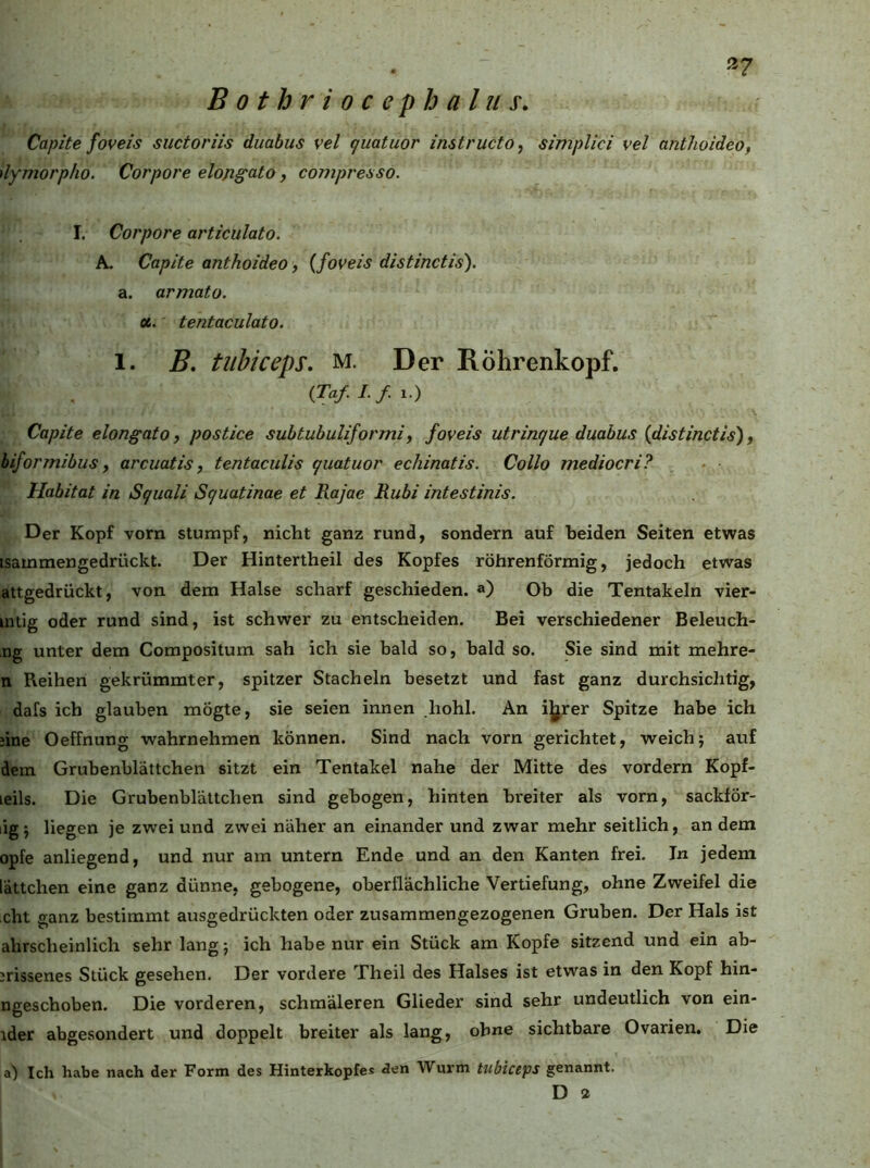 B 0 t h r i 0 c e p h a l u s. Capite foveis suctoriis duabus vel (juatuor instructo, simplici vel anthoideo, dymorpho. Corpore eloji^ato , compresso. I. Corpore articulato. A. Capite anthoideo, (foveis distinctis). a. armato. 06. tentaculato. 1. B, tuhiceps. m. Der Röhrenkopf. (Taf.I.f.^.) Capite elongato, postice subtubuliformi, foveis utrin^ue duabus (distinctis), biformibus f arcuatis, tentaculis quatuor echinatis. Collo mediocri? Habitat in Squali Squatinae et Rajae Rubi intestinis. Der Kopf vorn stumpf, nicht ganz rund, sondern auf beiden Seiten etwas isammengedrückt. Der Hintertheil des Kopfes röhrenförmig, jedoch etwas attgedrückt, von dem Halse scharf geschieden, a) Ob die Tentakeln vier- mtig oder rund sind, ist schwer zu entscheiden. Bei verschiedener Beleuch- ng unter dem Compositum sah ich sie bald so, bald so. Sie sind mit mehre- n Reihen gekrümmter, spitzer Stacheln besetzt und fast ganz durchsichtig, dafs ich glauben mögte, sie seien innen hohl. An ijjrer Spitze habe ich iine Oeffnung wahrnehmen können. Sind nach vorn gerichtet, weichj auf dem Grubenblättchen sitzt ein Tentakel nahe der Mitte des vordem Kopf- leils. Die Grubenblättchen sind gebogen, hinten breiter als vorn, sackför- lig; liegen je zwei und zwei näher an einander und zwar mehr seitlich, an dem opfe anliegend, und nur am untern Ende und an den Kanten frei. In jedem lättchen eine ganz dünne, gebogene, oberflächliche Vertiefung, ohne Zweifel die cht ganz bestimmt ausgedrückten oder zusammengezogenen Gruben. Der Hals ist ahrscheinlich sehr lang; ich habe nur ein Stück am Kopfe sitzend und ein ab- ^rissenes Stück gesehen. Der vordere Theil des Halses ist etwas in den Kopf hin- ngeschoben. Die vorderen, schmäleren Glieder sind sehr undeutlich von ein- tder abgesondert und doppelt breiter als lang, ohne sichtbare Ovarien. Die a) Ich habe nach der Form des Hinterkopfes den Wurm tubiceps genannt. D a