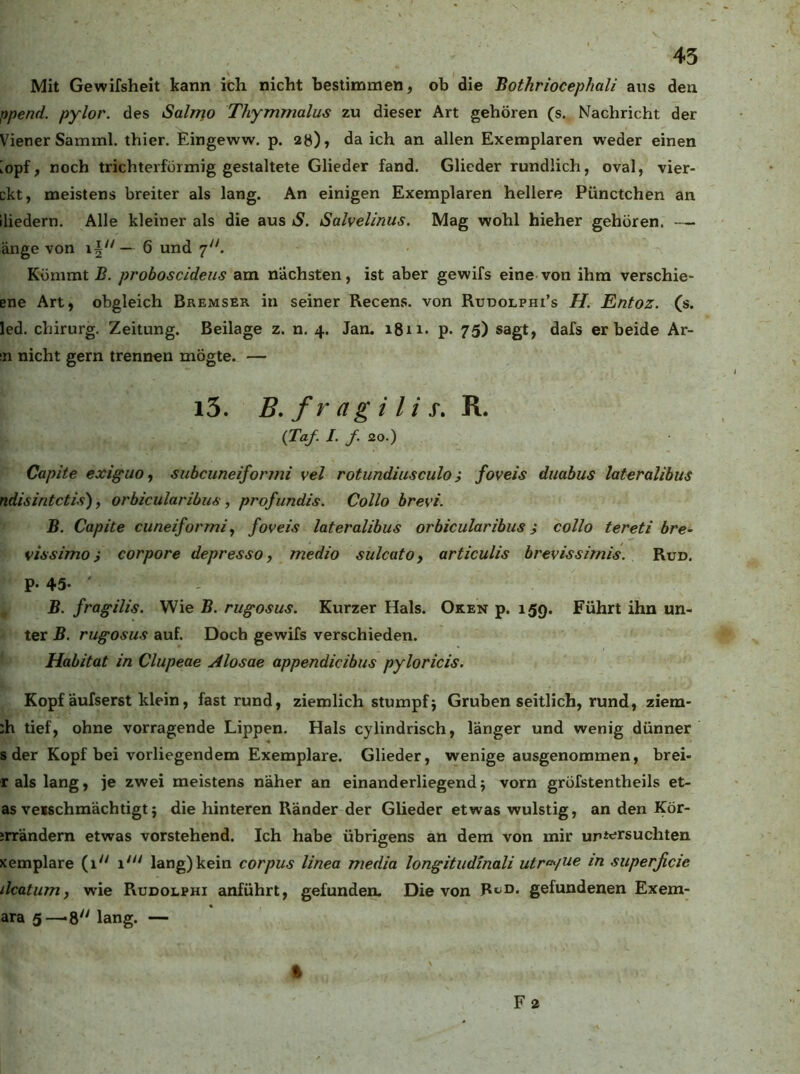 Mit Gewifsheit kann ich nicht bestimmen, ob die Bothriocephali ans den ppend. pylor. des Salrrfo Thymmalus zu dieser Art gehören (s. Nachricht der VienerSamml. thier. Eingeww. p. 2ö), da ich an allen Exemplaren weder einen iopf, noch trichterförmig gestaltete Glieder fand. Glieder rundlich, oval, vier- ckt, meistens breiter als lang. An einigen Exemplaren hellere Pünctchen an lliedern. Alle kleiner als die aus S. Salvelinus. Mag wohl hieher gehören. —■ äuge von — 6 und 7''. Kömmt B. proboscideus am nächsten, ist aber gewifs eine von ihm verschie- ene Art, obgleich Bremser in seiner Recens. von Rudolphi’s H. Entoz. (s. led. Chirurg. Zeitung. Beilage z. n. 4. Jan. 1811. p. 75) sagt, dafs er beide Ar- in nicht gern trennen mögte. — i5. B, fr a g i l i s, R. (Taf. /. /. 20.) Capite exiguo, subcuneiformi vel rotundiusculo; foveis duabus lateralibus ndisintetis'), orbicularibus, profundis. Collo brevi. B. Capite cuneiformi, foveis lateralibus orbicularibus j collo tereti bre- vissimo i corpore depresso, medio sulcatOy articulis brevissimis. Run. P- 45- B. fragilis. Wie B. rugosus. Kurzer Hals. Oken p. 159. Führt ihn un- ter B. rugosus auf. Doch gewifs verschieden. Habitat in Clupeae Alosae appendicibus pyloricis. Kopf äufserst klein, fast rund, ziemlich stumpf5 Gruben seitlich, rund, ziem- :h tief, ohne vorragende Lippen. Hals cylindrisch, länger und wenig dünner s der Kopf bei vorliegendem Exemplare. Glieder, wenige ausgenommen, brei- r als lang, je zwei meistens näher an einanderliegend j vorn gröfstentheils et- as veischmächtigt} die hinteren Ränder der Glieder etwas wulstig, an den Kör- jrrändern etwas vorstehend. Ich habe übrigens an dem von mir untersuchten xemplare (1 1' lang) kein corpus linea media longitudinali utr^/ue in superficie ikatumy wie Rudolphi anführt, gefunden. Die von Reo. gefundenen Exem- ara 5—-8 lang. — % Fa