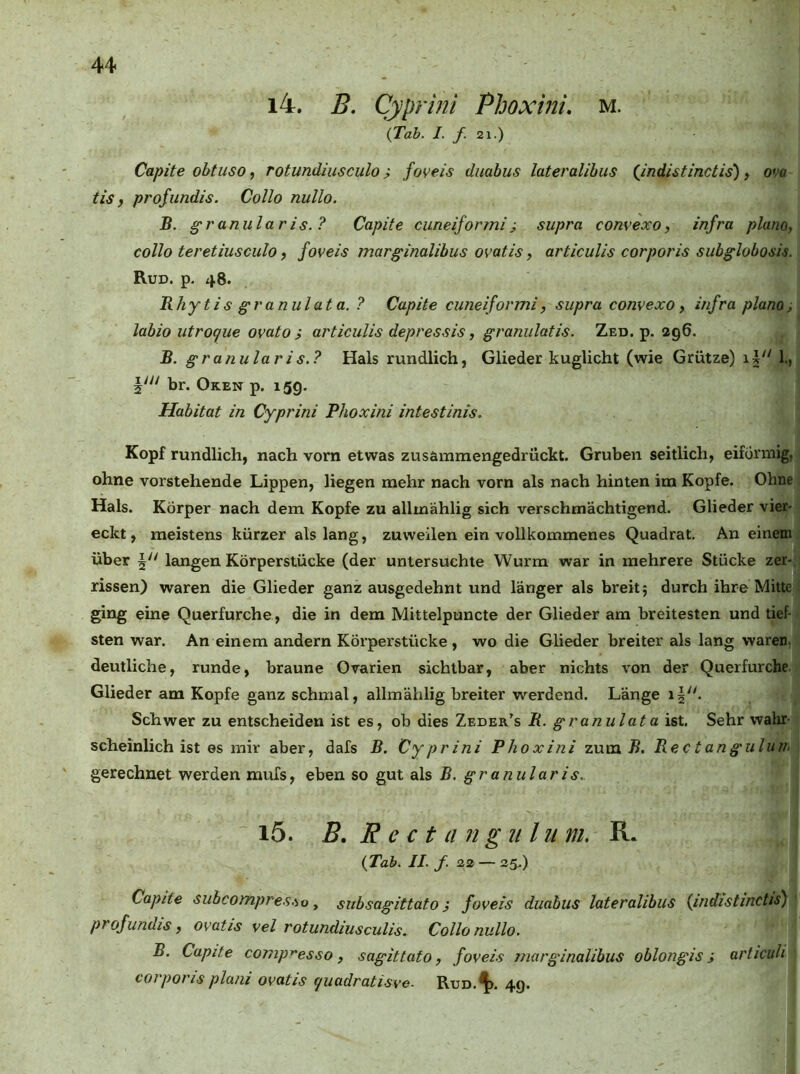 14. B. Cyprini Phoxini. m. \Tab. /. / 21.) Capite obtuso, rotundiusculo; foveis duahus lateralihus (Jndistinctis), ova tis, profundis. Collo nullo. B. granuläris.? Capite cuneiformi^ supra convexo, infra planOy collo teretiusculo, foveis marginalibus ovatis, articulis corporis subglobosis. Rud. p. 48. Rhytis granulata. ? Capite cuneiformi, supra convexo y infra planoi labio utrocf ue ovato > articulis depressis, granulatis. Zed. p. 296. B. granuläris.? Hals rundlich, Glieder kuglicht (wie Grütze) 1., br. Oken p. igg. Habitat in Cyprini Phoxini intestinis. Kopf rundlich, nach vorn etwas zusümmengedrückt. Gruben seitlich, eiförmig, ohne vorstehende Lippen, liegen mehr nach vorn als nach hinten im Kopfe. Ohne Hals. Körper nach dem Kopfe zu allmählig sich verschmächtigend. Glieder vier- eckt , meistens kürzer als lang, zuweilen ein vollkommenes Quadrat. An einem über I leuigen Körperstücke (der untersuchte Wurm war in mehrere Stücke zer- rissen) waren die Glieder ganz ausgedehnt und länger als breit 5 durch ihre Mitte ging eine Querfurche, die in dem Mittelpuncte der Glieder am breitesten und tief- sten war. An einem andern Körperstücke , wo die Glieder breiter als lang waren, deutliche, runde, braune Ovarien sichtbar, aber nichts von der Querfurche Glieder am Kopfe ganz schmal, allmählig breiter werdend. Länge Schwer zu entscheiden ist es, ob dies Zeder's R. granulata ist. Sehr wahr- scheinlich ist es mir aber, dafs B. Cyprini Phoxini z\xm B. Rectanguluih gerechnet werden mufs, eben so gut als B. granularis. 15. B, R e c t a ngulii m. R. {Tab. II. f. 22 — 25.) Capite subcompres.'io y subsagittato} foveis duabus lateralibus {indistinctis) profundis, ovatis vel rotundiusculis. Collo nullo. B. Capite comp^esso, sagittafo, foveis marginalibus oblongis i articiih corporis plani ovatis fjuadratisve. Rud.*^. 49.
