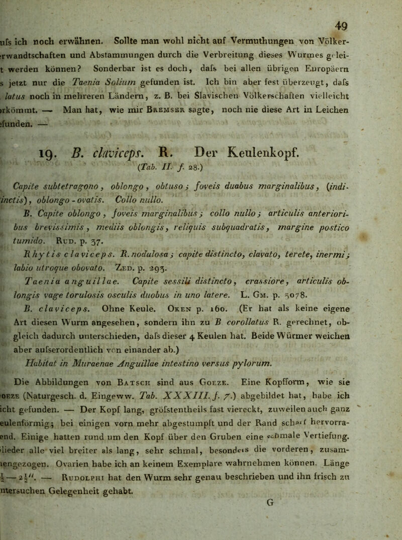 ufs ich noch erwähnen. Sollte man wohl nicht auf Vermuthungen von Völker- jrwandtschaften und Abstammungen durch die Verbreitung dieses Wurmes g< lei- t werden können? Sonderbar ist es doch, dafs bei allen übrigen Europäern s jetzt nur die Taenia Solium gefunden ist. Ich bin aber fest überzeugt, dafs latus noch in mehreren Ländern, z. B. bei Slaviscben Völkerschaften vielleicht »rkömrat. — Man hat, wie mir Bremssr sagte, noch nie diese Art in Leichen ‘funden. — 19. B, claviceps, R. Der Keulenkopf. (Tab. II. f. 28.) Capite subtetrag‘ono, oblcngo y obtuso i foveis duabus marginalibus, (indi^ inctis), oblongo - ovatis, Collo nullo. B. Capite oblongo, joveis marginalibus} collo nullo} articulis anteriorU bus brevisiimis , mediis oblongis, reliquis subquadratis, margine postico tumido. Run. p. 57. lihytis c laviceps. R. nodulosas capite distincto, clavatOy teretey inenni} labio utroque obovato. Zed. p. '293. ' Taenia anguillae. Capite sessili dhtincto y crassiorey articulis ob- longis vage torulosis osculis duobus in uno latere. L. Gm. p. =^078. B. claviceps. Ohne Keule. Oken p. 160. (Er hat als keine eigene Art diesen Wurm angesehen, sondern ihn zu B corollatus R. gerechnet, ob- gleich dadurch unterschieden, dafs dieser 4 Keulen hat. Beide Würmer weichen aber aufserordentlich ven einander ab.) Habitat in Muraenae Anguillae intestino versus pylorum. Die Abbildungen von Batsck sind aus Goeze. Eine Kopfform, wie sie OEZE (Naturgesch. d. Eingeww. Tab. XXXIII. J. /.) abgebildet hat, habe ich icht gefunden. — Der Kopf lang, gröfstentheils fast viereckt, zuweilen auch ganz eulenförmig; bei einigen vorn mehr abgestumpft und der Rand sch^^'t hervorra- end. Einige hatten rund um den Kopf über den Gruben eine «■<itimale Vertiefung, dieder alle viel breiter als lang, sehr schmal, besond^s die vorderen, zusam- lengozogen. Ovarien habe ich an keinem Exemplare wahrnehmen können. Länge 5 — 25. — Rudolphi hat den Wurm sehr genau beschrieben und ihn frisch zu ntersuchen Gelegenheit gehabt. G