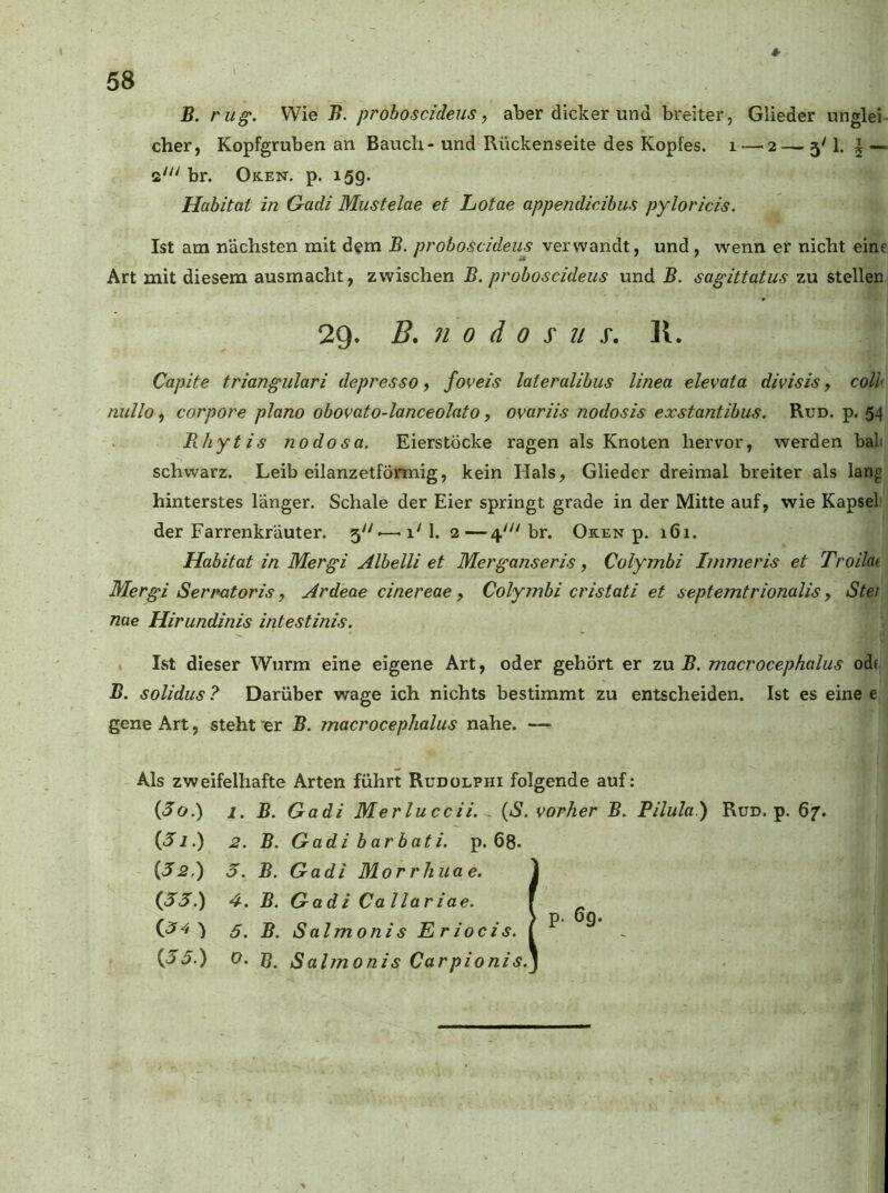 B. rüg. Wie B. proboscideus, aber dicker und breiter, Glieder unglei eher, Kopfgruben an Bauch- und Rückenseite des Kopfes, i — 2— 5' 1. | — 2''' br. Oken. p. 15g. Habitat in Gadi Mustelae et Lotae appendicibm pyloricis. Ist am nächsten mit dem B. proboscideus verwandt, und, wenn er nicht eine Art mit diesem ausmacht, zwischen B. proboscideus und B. sagittatus zu stellen 29. B» n 0 ä 0 s u .r. K. Capite triangulari depresso y foveis laleralihus linea elevata divisis y colh nullo, corpore plano obovato-lanceolato, ovariis nodosis exstantibus. Run. p. 54 Rhytis nodosa. Eierstöcke ragen als Knoten hervor, werden bali schwarz. Leib eilanzetförmig, kein Hals, Glieder dreimal breiter als lang hinterstes länger. Schale der Eier springt grade in der Mitte auf, wie Kapselt der Farrenkräuter. 5''-—• iM. 2—4' br. Oken p. 161. Habitat in Mergi Alhelli et Merganseris, Colymbi Iinmeris et Troihi Mergi Sermtoris y Ardeae cinereae y Colymbi cristati et septemtrionalis y Stet nae Hirundinis intestinis. • Ist dieser Wurm eine eigene Art, oder gehört er zu B. macrocephalus ode B. solidus ? Darüber wage ich nichts bestimmt zu entscheiden. Ist es eine e gene Art, steht ler B. macrocephalus nahe. —■ Als zweifelhafte Arten führt Rudolphi folgende auf: {3o.) 1. B. Gadi Merluccii. - {S. vorher B. Pilula.) Run. p. 67. 2. B. Gadi barbati. p. 68. (32.) 5. B. Gadi Morrhuae. (33.) 4. B. Gadi Callariae. (3^) 5. B. S almoni s E r ioc is. (33.) O. B. Saltnonis Carpionis