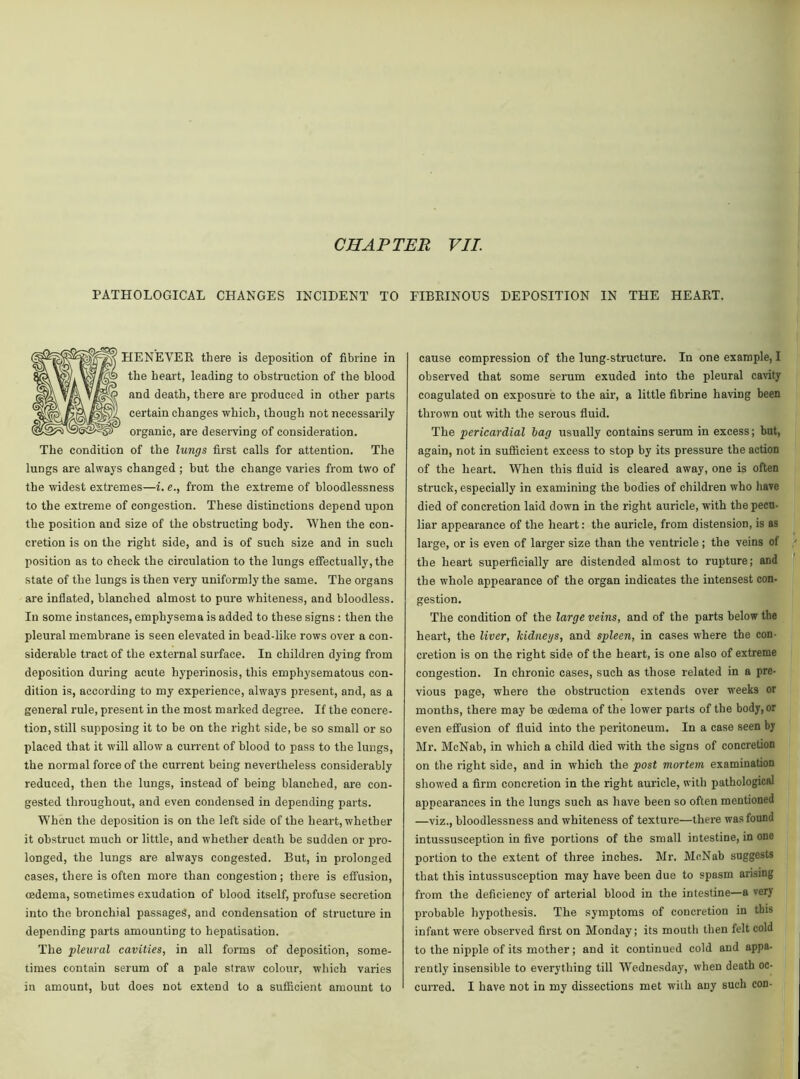 PATHOLOGICAL CHANGES INCIDENT TO FIBRINOUS DEPOSITION IN THE HEART. HE NEVER there is deposition of fibrine in the heart, leading to obstruction of the blood and death, there are produced in other parts certain changes which, though not necessarily organic, are deserving of consideration. The condition of the lungs first calls for attention. The lungs are always changed ; but the change varies from two of the widest extremes—i. e., from the extreme of bloodlessness to the extreme of congestion. These distinctions depend upon the position and size of the obstructing body. When the con- cretion is on the right side, and is of such size and in such position as to check the circulation to the lungs effectually, the state of the lungs is then very uniformly the same. The organs are inflated, blanched almost to pure whiteness, and bloodless. In some instances, emphysema is added to these signs : then the pleural membrane is seen elevated in bead-like rows over a con- siderable tract of the external surface. In children dying from deposition during acute hyperinosis, this emphysematous con- dition is, according to my experience, always present, and, as a general rule, present in the most marked degree. If the concre- tion, still supposing it to be on the right side, be so small or so placed that it will allow a current of blood to pass to the lungs, the normal force of the current being nevertheless considerably reduced, then the lungs, instead of being blanched, are con- gested throughout, and even condensed in depending parts. When the deposition is on the left side of the heart, whether it obstruct much or little, and whether death be sudden or pro- longed, the lungs are always congested. But, in prolonged cases, there is often more than congestion; there is effusion, oedema, sometimes exudation of blood itself, profuse secretion into the bronchial passages, and condensation of structure in depending parts amounting to hepatisation. The pleural cavities, in all forms of deposition, some- times contain serum of a pale straw colour, which varies in amount, but does not extend to a sufficient amount to cause compression of the lung-structure. In one example, I observed that some serum exuded into the pleural cavity coagulated on exposure to the air, a little fibrine having been thrown out with the serous fluid. The pericardial hag usually contains serum in excess; but, again, not in sufficient excess to stop by its pressure the action of the heart. When this fluid is cleared away, one is often struck, especially in examining the bodies of children who have died of concretion laid down in the right auricle, with the pecu- liar appearance of the heart: the auricle, from distension, is as large, or is even of larger size than the ventricle ; the veins of the heart superficially are distended almost to rupture; and the whole appearance of the organ indicates the intensest con- gestion. The condition of the large veins, and of the parts below the heart, the liver, kidneys, and spleen, in cases where the con- cretion is on the right side of the heart, is one also of extreme congestion. In chronic cases, such as those related in a pre- vious page, where the obstruction extends over weeks or months, there may be oedema of the lower parts of the body, or even effusion of fluid into the peritoneum. In a case seen by Mr. McNab, in which a child died with the signs of concretion on the right side, and in which the post mortem examination showed a firm concretion in the right auricle, with pathological appearances in the lungs such as have been so often mentioned —viz., bloodlessness and whiteness of texture—there was found intussusception in five portions of the small intestine, in one portion to the extent of three inches. Mr. McNab suggests that this intussusception may have been due to spasm arising from the deficiency of arterial blood in the intestine—a very probable hypothesis. The symptoms of concretion in this infant were observed first on Monday; its mouth then felt cold to the nipple of its mother; and it continued cold and appa- rently insensible to everything till Wednesday, when death oc- curred. I have not in my dissections met with any such con-