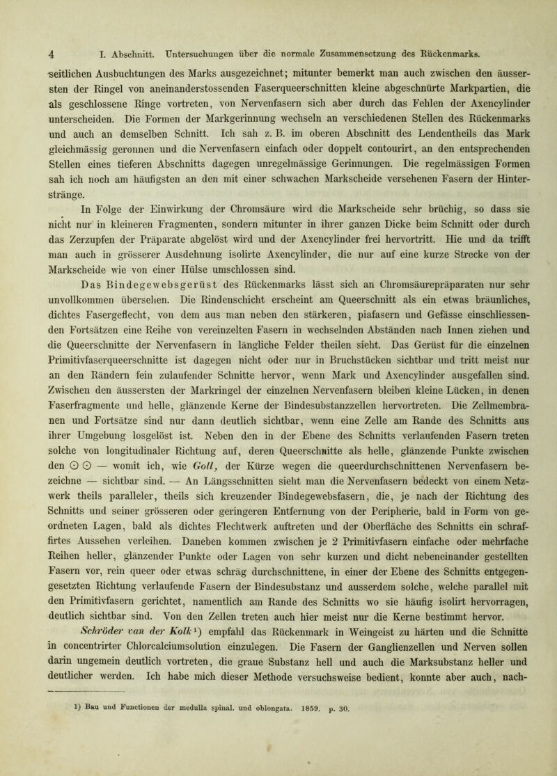 -seitlichen Ausbuchtungen des Marks ausgezeichnet; mitunter bemerkt man auch zwischen den äusser- sten der Ringel von aneinanderstossenden Faserqueerschnitten kleine abgeschnürte Markpartien, die als geschlossene Ringe vortreten, von Nervenfasern sich aber durch das Fehlen der Axencylinder unterscheiden. Die Formen der Markgerinnung wechseln an verschiedenen Stellen des Rückenmarks und auch an demselben Schnitt. Ich sah z. B. im oberen Abschnitt des Lendentheils das Mark gleichmässig geronnen und die Nervenfasern einfach oder doppelt contourirt, an den entsprechenden Stellen eines tieferen Abschnitts dagegen unregelmässige Gerinnungen. Die regelmässigen Formen sah ich noch am häufigsten an den mit einer schwachen Markscheide versehenen Fasern der Hinter- stränge. In Folge der Einwirkung der Chromsäure wird die Markscheide sehr brüchig, so dass sie nicht nur in kleineren Fragmenten, sondern mitunter in ihrer ganzen Dicke beim Schnitt oder durch das Zerzupfen der Präparate abgelöst wird und der Axencylinder frei hervortritt. Hie und da trifft man auch in grösserer Ausdehnung isolirte Axencylinder, die nur auf eine kurze Strecke von der Markscheide wie von einer Hülse umschlossen sind. Das Bindegewebsgerüst des Rückenmarks lässt sich an Chromsäurepräparaten nur sehr unvollkommen übersehen. Die Rindenschicht erscheint am Queerschnitt als ein etwas bräunliches, dichtes Fasergeflecht, von dem aus man neben den stärkeren, piafasern und Gefässe einschliessen- den Fortsätzen eine Reihe von vereinzelten Fasern in wechselnden Abständen nach Innen ziehen und die Queerschnitte der Nervenfasern in längliche Felder theilen sieht. Das Gerüst für die einzelnen Primitivfaserqueerschnitte ist dagegen nicht oder nur in Bruchstücken sichtbar und tritt meist niu- an den Rändern fein zulaufender Schnitte hervor, wenn Mark und Axencylinder ausgefallen sind. Zwischen den äussersten der Markringel der einzelnen Nervenfasern bleiben kleine Lücken, in denen Fas erfragmente und helle, glänzende Kerne der Bindesubstanzzellen hervortreten. Die Zellmembra- nen und Fortsätze sind nur dann deutlich sichtbar, wenn eine Zelle am Rande des Schnitts aus ihrer Umgebung losgelöst ist. Neben den in der Ebene des Schnitts verlaufenden Fasern treten solche von longitudinaler Richtung auf, deren Queerschnitte als helle, glänzende Punkte zwischen den O O — womit ich, wie Goll, der Kürze wegen die queerdurchschnittenen Nervenfasern be- zeichne — sichtbar sind. — An Längsschnitten sieht man die Nervenfasern bedeckt von einem Netz- werk theils paralleler, theils sich kreuzender Bindegewebsfasern, die, je nach der Richtung des Schnitts und seiner grösseren oder geringeren Entfernung von der Peripherie, bald in Form von ge- ordneten Lagen, bald als dichtes Flechtwerk auftreten und der Oberfläche des Schnitts ein schraf- firtes Aussehen verleihen. Daneben kommen zwischen je 2 Primitivfasern einfache oder mehrfache Reihen heller, glänzender Punkte oder Lagen von sehr kurzen und dicht nebeneinander gestellten Fasern vor, rein queer oder etwas schräg durchschnittene, in einer der Ebene des Schnitts entgegen- gesetzten Richtung verlaufende Fasern der Bindesubstanz und ausserdem solche, welche parallel mit den Primitivfasern gerichtet, namentlich am Rande des Schnitts wo sie häufig isolirt hervorragen, deutlich sichtbar sind. Von den Zellen treten auch hier meist nur die Kerne bestimmt hervor. Schröder van der Kolk^) empfahl das Rückenmark in Weingeist zu härten und die Schnitte in concentrirter Chlorcalciumsolution einzulegen. Die Fasern der Ganglienzellen und Nerven sollen darin ungemein deutlich vortreten, die graue Substanz hell und auch die Marksubstanz heller und deutlicher werden. Ich habe mich dieser Methode versuchsweise bedient, konnte aber auch, nach- 1) Bau und Functionen der meduUa spinal, und oblongata. 1859. p. 30.