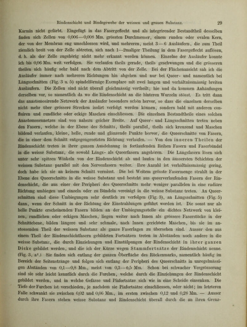 Karmin nicht gefärbt. Eingefügt in das Fasergeflecht und als integrirender Bestandtheil desselben finden sich Zellen von 0,006—0,008 Mm. grössten Durchmesser, einem runden oder ovalen Kern, der von der Membran eng umschlossen wird, und mehreren, meist 3 — 6 Ausläufern, die zum Theil ziemlich breit von der Zelle abtreten, sich nach 1—2maliger Theilung in dem Fasergeflecht auflösen, d. h. als der Zelle zugehörig nicht mehr erkannt werden können. Einzelne der Ausläufer konnte ich bis 0,06 Mm. weit verfolgen. Sie verlaufen theils gerade, theils geschwungen und die grösseren theilen sich häufig sehr bald nach dem Abtritt von der Zelle. Bei der Flächenausicht sah ich die Ausläufer immer nach mehreren Richtungen hin abgehen und nur bei Queer- und namentlich bei Längsschnitten (Fig. 3 u. 5) spindelförmige Exemplare mit zwei langen und verhältnissmässig breiten Ausläufern. Die Zellen sind nicht überall gleichmässig vertheilt; hie und da kommen Anhäufungen derselben vor, so namentlich da wo die Rindenschicht an die hinteren Wurzeln stösst. Es tritt dann das anastomosirende Netzwerk der Ausläufer besonders schön hervor, so dass die einzelnen derselben nicht mehr über grössere Strecken isolirt verfolgt werden können, sondern bald mit anderen con- fluiren und rundliche oder eckige Maschen einschliessen. Die einzelnen Bestandtheile eines solchen Anastomosennetzes sind von nahezu geicher Breite. Auf Queer- und Längsschnitten treten neben den Fasern, w^elche in der Ebene des Schnitts, theils parallel, theils sich kreuzend und Maschen bildend verlaufen, kleine, helle, runde und glänzende Punkte hervor, die Queerschnitte von Fasern, die in einer dem Schnitt entgegengesetzten Richtung verlaufen. — Von den inneren Theilen der Rindenschicht treten in ihrer ganzen Ausdehnung in fortlaufenden Reihen Fasern und Faserbündel in die weisse Substanz, die sowohl Längs- als Queerfasern angehören. Die Längsfasern lösen sich unter sehr spitzen Winkeln von der Rindenschicht ab und laufen in den äussersten Schichten der weissen Substanz parallel mit den Nervenfasern w'eiter. Ihre Anzahl ist verhältnissmässig gering, doch habe ich sie an keinem Schnitt vermisst. Die bei Weitem grösste Fasermenge strahlt in der Ebene des Queerschnitts in die weisse Substanz und besteht aus queerverlaufenden Fasern der Rin- denschicht, die aus einer der Peripheri des Queerschnitts mehr w^eniger parallelen in eine radiäre Richtung umbiegen und einzeln oder zu Bündeln vereinigt in die weisse Substanz treten. An Queer- schnitten sind diese Umbiegungen sehr deutlich zu verfolgen (Fig. 3), an Längsschnitten (Fig. 5) dann, wenn der Schnitt in der Richtung der Einstrahlungen geführt worden ist. Die sonst nur als helle Punkte erscheinenden Fasern bilden an der Umbiegungsstelle ein dichtes Netzwerk von klei- nen, rundlichen oder eckigen Maschen, liegen weiter nach Innen als grössere Faserstücke in der Schnittebene, bilden längere und sehr schmale, nach Innen gerichtete Maschen, bis sie im an- stossenden Theil der weissen Substanz als ganze Faserlagen zu übersehen sind. Ausser den aus einem Theil der Rindenschichtfasern gebildeten Fortsätzen treten in Abständen noch andere in die weisse Substanz, die durch Einziehungen und Einstülpungen der Rindenschicht in ihrer ganzen Dicke gebildet werden, und die ich der Kürze wegen Stammfortsätze der Rindenschicht nenne. (Fig. 3, a^.l Sie finden sich entlang der ganzen Öberfläche des Rückenmarks, namentlich häufig im Bereich der Seitenstränge und folgen sich entlang der Peripheri des Queerschnitts in unregelmässi- gen Abständen von 0,1—0,8 Mm., meist von 0,3 —0,5 Mm. Schon bei schwacher Vergrösserung sind sie sehr leicht kenntlich durch die Fimchen, welche durch die Einziehungen der Rindenschicht gebildet werden, und in welche Gefässe und Piafortsätze sich wie in eine Scheide einsenken. Die Tiefe der Furchen ist verschieden, je nachdem sie Piafortsätze einschliessen, oder nicht; im letzteren Falle schwankt sie zwischen 0,02 und 0,06 Mm., im ersten zwischen 0,12 und 0,28 Mm. — Ausser durch ihre Fasern stehen weisse Substanz und Rindenschicht überall durch die an ihren Grenz-