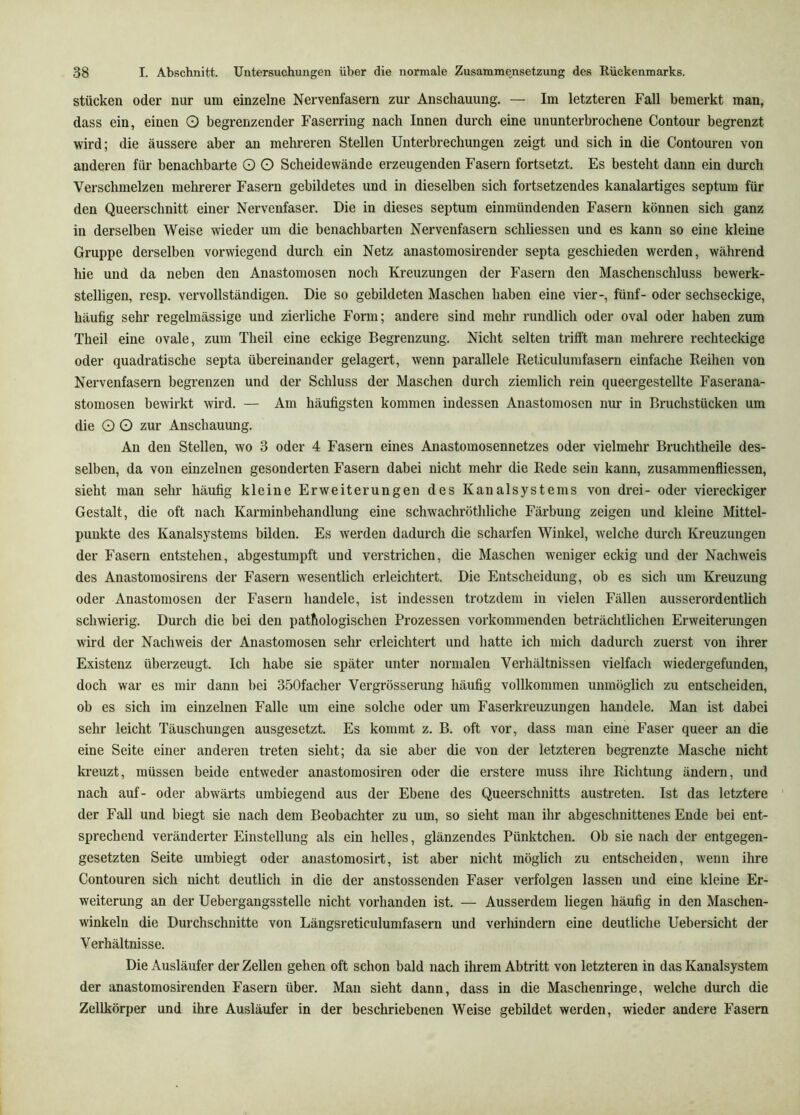 stücken oder nur um einzelne Nervenfasern zur Anschauung. — Im letzteren Fall bemerkt man, dass ein, einen O begrenzender Faserriug nach Innen durch eine ununterbrochene Contour begrenzt wird; die äussere aber an mehreren Stellen Unterbrechungen zeigt und sich in die Contouren von anderen für benachbarte O O Scheidewände erzeugenden Fasern fortsetzt. Es besteht dann ein durch Verschmelzen mehrerer Fasern gebildetes und in dieselben sich fortsetzendes kanalartiges septum für den Queerschnitt einer Nervenfaser. Die in dieses septum einmündenden Fasern können sich ganz in derselben Weise wieder um die benachbarten Nervenfasern schliessen und es kann so eine kleine Gruppe derselben vorwiegend durch ein Netz anastomosirender septa geschieden werden, während hie und da neben den Anastomosen noch Kreuzungen der Fasern den Maschenschluss bewerk- stelligen, resp. vervollständigen. Die so gebildeten Maschen haben eine vier-, fünf- oder sechseckige, häufig sehr regelmässige und zierliche Form; andere sind mehr rundlich oder oval oder haben zum Theil eine ovale, zum Theil eine eckige Begrenzung. Nicht selten trifft man mehrere rechteckige oder quadratische septa übereinander gelagert, wenn parallele Reticulumfasern einfache Reihen von Nervenfasern begrenzen und der Schluss der Maschen durch ziemlich rein queergestellte Faserana- stomosen bewirkt wird. — Am häufigsten kommen indessen Anastomosen nur in Bruchstücken um die O O zur Anschauung. An den Stellen, wo 3 oder 4 Fasern eines Anastomosennetzes oder vielmehr Bruchtheile des- selben, da von einzelnen gesonderten Fasern dabei nicht mehr die Rede sein kann, zusammenfliessen, sieht man sehr häufig kleine Erweiterungen des Kanalsystems von drei- oder viereckiger Gestalt, die oft nach Karminbehandlung eine schwachröthliche Färbung zeigen und kleine Mittel- punkte des Kanalsystems bilden. Es werden dadurch die scharfen Winkel, welche dui’ch Kreuzungen der Fasern entstehen, abgestumpft und verstrichen, die Maschen weniger eckig und der Nachweis des Anastomosirens der Fasern wesentlich erleichtert. Die Entscheidung, ob es sich um Kreuzung oder Anastomosen der Fasern handele, ist indessen trotzdem in vielen Fällen ausserordentlich schwierig. Durch die bei den pathologischen Prozessen vorkommenden beträchtlichen Erweiterungen wird der Nachweis der Anastomosen sehr erleichtert und hatte ich mich dadurch zuerst von ihrer Existenz überzeugt. Ich habe sie später unter normalen Verhältnissen vielfach wiedergefunden, doch war es mir dann bei 350facher Vergrösserung häufig vollkommen unmöglich zu entscheiden, ob es sich im einzelnen Falle um eine solche oder um Faserkreuzungen handele. Man ist dabei sehr leicht Täuschungen ausgesetzt. Es kommt z. B. oft vor, dass man eine Faser queer an die eine Seite einer anderen treten sieht; da sie aber die von der letzteren begrenzte Masche nicht kreuzt, müssen beide entweder anastomosiren oder die erstere muss ihre Richtung ändern, und nach auf- oder abwärts umbiegend aus der Ebene des Queerschnitts austreten. Ist das letztere der Fall und biegt sie nach dem Beobachter zu um, so sieht man ihr abgeschnittenes Ende bei ent- sprechend veränderter Einstellung als ein helles, glänzendes Pünktchen. Ob sie nach der entgegen- gesetzten Seite umbiegt oder anastomosirt, ist aber nicht möglich zu entscheiden, wenn ihre Contouren sich nicht deutlich in die der anstossenden Faser verfolgen lassen und eine kleine Er- weiterung an der Uebergangsstelle nicht vorhanden ist. — Ausserdem liegen häufig in den Maschen- winkeln die Durchschnitte von Längsreticulumfasern und verhindern eine deutliche Uebersicht der Verhältnisse. Die Ausläufer der Zellen gehen oft schon bald nach ihrem Abtritt von letzteren in das Kanalsystem der anastomosirenden Fasern über. Man sieht dann, dass in die Maschenringe, welche durch die Zellkörper und ihre Ausläufer in der beschriebenen Weise gebildet werden, wieder andere Fasern