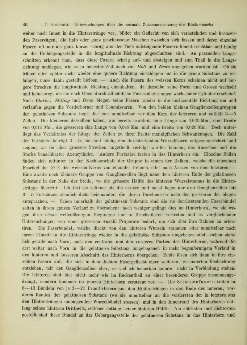 weiter nach Innen in die Hinterstränge vor, bildet ein Geflecht von sich verästelnden und kreuzen- den Faserzügen, die halb oder ganz geschlossene Maschen zwischen sich fassen und deren einzelne Fasern oft nur als ganz kurze, schräg aus der Tiefe aufsteigende Faserrudimente sichtbar und häufig an der Umbiegungsstelle in die longitudinale Richtung abgeschnitten sind. An passenden Längs- schnitten erkennt man, dass diese Fasern schräg auf- und absteigen und zum Theil in die Längs- richtung umbiegen, wie es in neuester Zeit auch von GoU und Dean angegeben worden ist. Ob sie früher oder später nicht wieder eine queere Richtung einschlagen um in die graue Substanz zu ge- langen, muss dahin gestellt bleiben. — Auch die Fasern des weissen Kerns scheinen nicht auf län- gere Strecken die longitudinale Richtung einzuhalten, da derselbe seine Form und Grösse wechselt und keineswegs als ein nach Oben durch allmähliche Fasei’anlagerungen wachsender Cylinder erscheint. Nach Clarke, Still in g und Dean biegen seine Fasern wieder in die horinzontale Richtung um und verlaufen gegen die Vorderhörner und Commissuren. Von den beiden kleinen Ganglienzellen gruppen der gelatinösen Substanz liegt die eine unmittelbar vor dem Kern der letzteren und enthält 3—5 Zellen. Die kleineren desselben haben, wie bereits erwähnt, eine Länge von 0,020 Mm., eine Breite von 0,010 Mm., die grösseren eine Länge von 0,048 Mm. und eine Breite von 0,020 Mm. Doch unter- liegt das Verhältniss der Länge der Zellen zu ihrer Breite mannigfachen Schwankungen. Die Zahl der Fortsätze beträgt 3 — 5; sie sind häufig den durchtretenden Wurzelfasern entgegengerichtet und zeigen, wo sie über grössere Strecken ungetheilt verfolgt werden können, das Aussehen und die Stäi’ke benachbarter Axencylinder. Andere Fortsätze treten in das Hinterhorn ein. Einzelne Zellen finden sich mitunter in der Nachbarschaft der Gruppe in einem der Balken, welche die einzelnen Fascikel der O 0 des weissen Kerns von einander trennen, oder nach Aussen von dem letzteren. — Eine zweite noch kleinere Gruppe von Ganglienzellen liegt nahe dem hinteren Ende der gelatinösen Substanz in der Nähe der Stelle, wo die grössere Hälfte des hinteren Wurzelstamms in die Hinter- stränge Übertritt. Ich traf sie seltener als die erstere und meist lagen nur drei Ganglienzellen mit 3—5 Fortsätzen ziemlich dicht beieinander, die ihrem Durchmesser nach den grösseren der obigen entsprachen. — Schon innerhalb der gelatinösen Substanz sind die sie durchsetzenden Faserbündel selten in ihrem ganzen Verlauf zu übersehen; noch weniger gelingt dies im Hinterhorn, wo sie we- gen ihrer etwas wellenförmigen Biegungen nur in Bruchstücken vortreten und es vergleichender Untersuchungen von einer grösseren Anzahl Pi’äparate bedarf, um sich über ihre Bahnen zu orien- tiren. Die Faserbündel, welche direkt von den hinteren Wurzeln stammen oder unmittelbar nach ihrem Eintritt in die Hinterstränge wieder in die gelatinöse Substanz umgebogen sind, ziehen ziem- lich gerade nach Vorn, nach den centralen und den vorderen Partien des Hinterhorns, während die erst weiter nach Vorn in die gelatinöse Substanz umgebogenen in mehr bogenförmigem Verlauf in den hinteren und äusseren Abschnitt des Hinterhorns übergehen. Beide lösen sich dann in ihre ein- zelnen Fasern auf, die sich in dem dichten Fasergeflecht einer weiteren, gesonderten Beobachtung entziehen, mit den Ganglienzellen aber, so viel ich bemerken konnte, nicht in Verbindung stehen. Die letzteren sind hier nicht mehr wie im Rückentheil zu einer besonderen Gruppe zusammenge- drängt, sondern kommen im ganzen Hinterhorn zerstreut vor. — Die Strahlenfasern treten in 6 — 13 Bündeln von je 3—20 Primitivfasern aus den Hintersträngen in das Ende des inneren, vor- deren Randes der gelatinösen Substanz (wo sie unmittelbar an die vordersten der in letztere aus den Hintersträngen umbiegenden Wurzelbündel stossen) und in den Innenrand des Hinterhorns ent- lang seines hinteren Drittheils, seltener entlang seiner hinteren Hälfte. Am stärksten und dichtesten gestellt sind diese Bündel an der Uebergangsstelle der gelatinösen Substanz in das Hinterhorn und