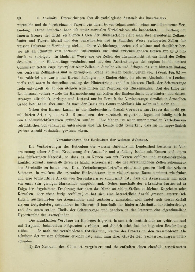 waren hie und da durch einzelne Fasern wie durch Gewehsfetzen noch in einer unvollkommenen Ver- bindung. Etwas ähnliches habe ich unter normalen Verhältnissen nie beobachtet. — Entlang der inneren Grenze der nicht zerfallenen Lagen der Kindenschicht sieht man ihre erweiterten Zellaus- läufer und Fasern überall mit den benachbarten und in ähnlicher Weise veränderten Zellen der weissen Substanz in Verbindung stehen. Diese Verbindungen treten viel schöner und deutlicher her- vor als an Schnitten vom normalen Rückenmark und sind zwischen ganzen Reihen von O O hin- durch zu verfolgen. In ähnlicher Weise wie die Zellen der Rindenschicht ist ein Theil der Zellen des septuni der Hinterstränge verändert und mit den Ausstrahlungen des septum in die hintere Commissur treten Züge hyperplastischer Zellen in dieselbe ein und dringen bis zum hinteren Umfang des centralen Zellhaufens und in geringerem Grade zu seinen beiden Seiten vor. (Vergl. Fig. 8.) — Am zahlreichsten waren die Kernanhäufungen der Rindenschicht im oberen Abschnitt des Lenden- theils und waren in demselben entlang der Hinterstränge und des hinteren Theils der Seitenstränge mehr entwickelt als an den übrigen Abschnitten der Peripheri des Rückenmarks. Auf der Höhe der Lendenanschwellurg wurde die Kernwucherung der Zellen der Rindenschicht über Hinter- und Seiten- strängen allmählich geringer und bestand nur im Bereich der Vorderstränge ziemlich in demselben Grade fort, nahm aber auch da nach der Basis des Conus medullaris hin mehr und mehr ab. Neben den Kernen kamen in der Rindenschicht überall Corpora amylacea der nicht ge- schichteten Art vor, die zu 2—3 zusammen oder vereinzelt eingestreut lagen und häufig auch in den Rindenschichtfortsätzen gefunden wurden. Ihre Menge ist schon unter normalen Verhältnissen beträchtlichen Schwankungen unterworfen und ich konnte nicht bemerken, dass sie in ungewöhnlieh grosser Anzahl vorhanden gewesen wären. Veränderungen des Retieulum der weissen Substanz. Die Veränderungen des Reticulum der weissen Substanz im Lendentheil bestehen in Ver- grösserung seiner Zellen, Erweiterung der Ausläufer und Anfülhmg beider mit Kernen und einem sehr feinkörnigen Material, so dass es zu Netzen von mit Kernen erfüllten und anastomosirenden Kanälen kommt, innerhalb deren es häufig schwierig ist, die den ursprünglichen Zellen zukommen- den Abschnitte zu bestimmen. Diese Veränderungen betreffen einen sehr grossen Theil der weissen Substanz, in welchem die erkrankte Bindesubstanz einen viel grösseren Raum eiunimmt wie früher und eine beträchtliche Anzahl von Nervenfasern so comprimirt hat, dass die Axencylinder nur noch von einer sehr geringen Markschicht umgeben sind. Schon innerhalb der erkrankten Partien ist in Folge der eingeleiteten Ernährungsstörungen das Mark an vielen Stellen zu kleinen Kügelchen oder Körnchen, aber nicht fettig zerfallen, es hat sich eine beträchtliche Anzahl grosser, starrer Oel- kugeln ausgeschieden, die Axencylinder sind verändert; ausserdem aber findet sich dieser Zerfall als ein fortgeleiteter, sekundärer im Rückentheil innerhalb des hinteren Abschnitts der Hinterstränge und des anstossenden Theils der Seitenstränge und daneben in den letzteren eine eigenthümliche Hypertrophie der Axencylinder. Die krankhaften Vorgänge im Bindegewebsgerüst lassen sich deutlich nur an gefärbten und mit Terpentin behandelten Präparaten verfolgen, auf die ich mich bei der folgenden Beschreibung stütze. — Je nach der verschiedenen Entwicklung, welche der Prozess in den verschiedenen Ab- schnitten der weissen Substanz erreicht hat, kann man drei Grade der Veränderungen unter- scheiden. 1) Die Mehrzahl der Zellen ist vergrössert und sie enthalten einen ebenfalls vergrösserten
