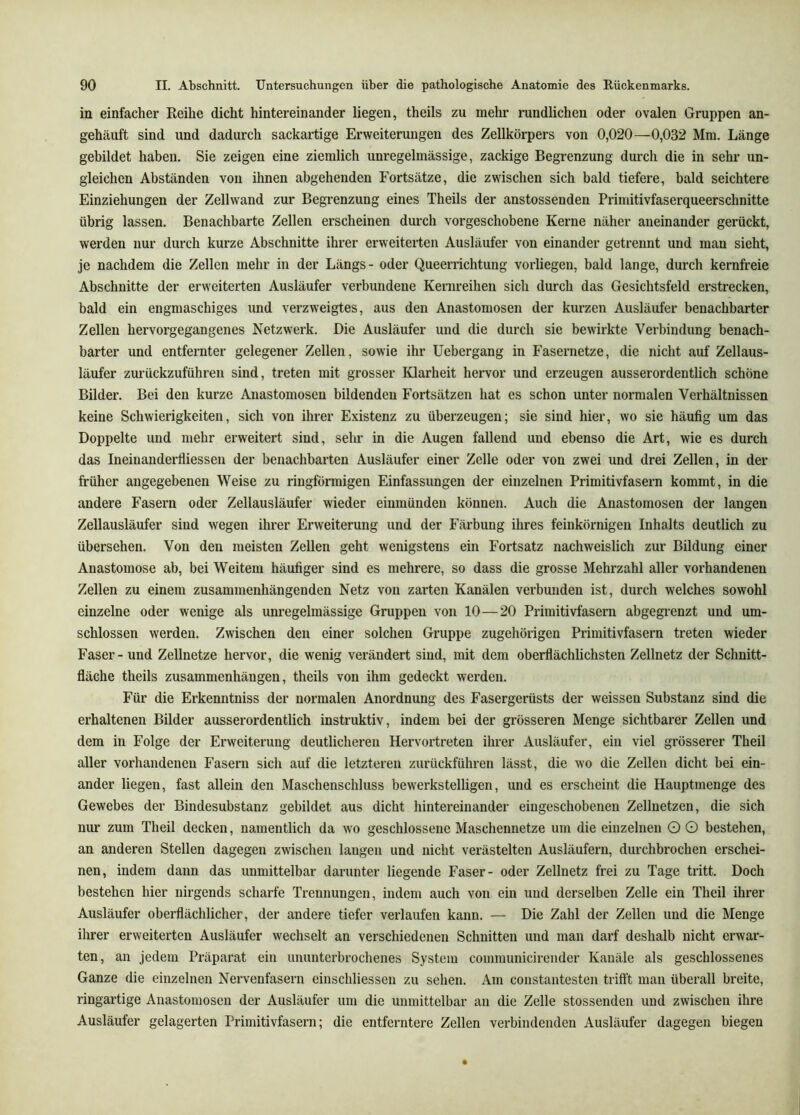 in einfacher Reihe dicht hintereinander liegen, theils zu mehr rundlichen oder ovalen Gruppen an- gehäuft sind und dadurch sackartige Erweiterungen des Zellkörpers von 0,020—0,032 Mm. Länge gebildet haben. Sie zeigen eine ziemlich unregelmässige, zackige Begi-enzung durch die in sehr un- gleichen Abständen von ihnen abgehenden Fortsätze, die zwischen sich bald tiefere, bald seichtere Einziehungen der Zellwand zur Begrenzung eines Theils der anstossenden Primitivfaserqueerschnitte übrig lassen. Benachbarte Zellen erscheinen durch vorgeschobene Kerne näher aneinander gerückt, werden nur durch kurze Abschnitte ihrer erweiterten Ausläufer von einander getrennt und man sieht, je nachdem die Zellen mehr in der Längs- oder Queenichtung vorliegeu, bald lange, durch kernfi’eie Abschnitte der erweiterten Ausläufer verbundene Kernreihen sich durch das Gesichtsfeld erstrecken, bald ein engmaschiges und verzweigtes, aus den Anastomosen der kurzen Ausläufer benachbarter Zellen hervorgegangenes Netzwerk. Die Ausläufer und die durch sie bewirkte Verbindung benach- barter und entfernter gelegener Zellen, sowie ihr Uebergang in Fasernetze, die nicht auf Zellaus- läufer zurückzuführen sind, treten mit grosser Klarheit hervor und erzeugen ausserordentlich schöne Bilder. Bei den kurze Anastomosen bildenden Fortsätzen hat es schon unter normalen Verhältnissen keine Schwierigkeiten, sich von ihrer Existenz zu überzeugen; sie sind hier, wo sie häufig um das Doppelte und mehr erweitert sind, sehr in die Augen fallend und ebenso die Art, wie es durch das Ineinanderfliessen der benachbarten Ausläufer einer Zelle oder von zwei und drei Zellen, in der früher angegebenen Weise zu ringförmigen Einfassungen der einzelnen Primitivfasern kommt, in die andere Fasern oder Zellausläufer wieder eiumündeu können. Auch die Anastomosen der langen Zellausläufer sind wegen ihrer Erweiterung und der Färbung ihres feinkörnigen Inhalts deutlich zu übersehen. Von den meisten Zellen geht wenigstens ein Fortsatz nachweislich zur Bildung einer Anastomose ab, bei Weitem häufiger sind es mehrere, so dass die grosse Mehrzahl aller vorhandenen Zellen zu einem zusammenhängenden Netz von zarten Kanälen verbunden ist, durch welches sowohl einzelne oder wenige als unregelmässige Gruppen von 10—20 Primitivfasern abgegrenzt und um- schlossen werden. Zwischen den einer solchen Gruppe zugehörigen Primitivfasern treten wieder Faser-und Zellnetze hervor, die wenig verändert sind, mit dem oberflächlichsten Zellnetz der Schnitt- fläche theils Zusammenhängen, theils von ihm gedeckt werden. Für die Erkenntniss der normalen Anordnung des Fasergerüsts der weissen Substanz sind die erhaltenen Bilder ausserordentlich instruktiv, indem bei der grösseren Menge sichtbarer Zellen und dem in Folge der Erweiterung deutlicheren Hervortreten ihrer Ausläufer, ein viel grösserer Theil aller vorhandenen Fasern sich auf die letzteren zurückfühi’en lässt, die wo die Zellen dicht bei ein- ander liegen, fast allein den Maschenschluss bewerkstelligen, und es erscheint die Hauptmenge des Gewebes der Bindesubstanz gebildet aus dicht hintereinander eingeschobenen Zellnetzen, die sich nur zum Theil decken, namentlich da wo geschlossene Maschennetze um die einzelnen 0 O bestehen, an anderen Stellen dagegen zwischen laugen und nicht verästelten Ausläufern, durchbrochen erschei- nen, indem dann das unmittelbar darunter liegende Faser- oder Zellnetz frei zu Tage tritt. Doch bestehen hier nirgends scharfe Trennungen, indem auch von ein und derselben Zelle ein Theil ihrer Ausläufer oberflächlicher, der andere tiefer verlaufen kann. — Die Zahl der Zellen und die Menge ilirer erweiterten Ausläufer wechselt an verschiedenen Schnitten und man darf deshalb nicht erwar- ten, an jedem Präparat ein ununterbrochenes System communicirender Kanäle als geschlossenes Ganze die einzelnen Nervenfasern einschliessen zu sehen. Am constantesten trifft man überall breite, ringartige Anastomosen der Ausläufer um die unmittelbar an die Zelle stossenden und zwischen ihre Ausläufer gelagerten Primitivfasern; die entferntere Zellen verbindenden Ausläufer dagegen biegen