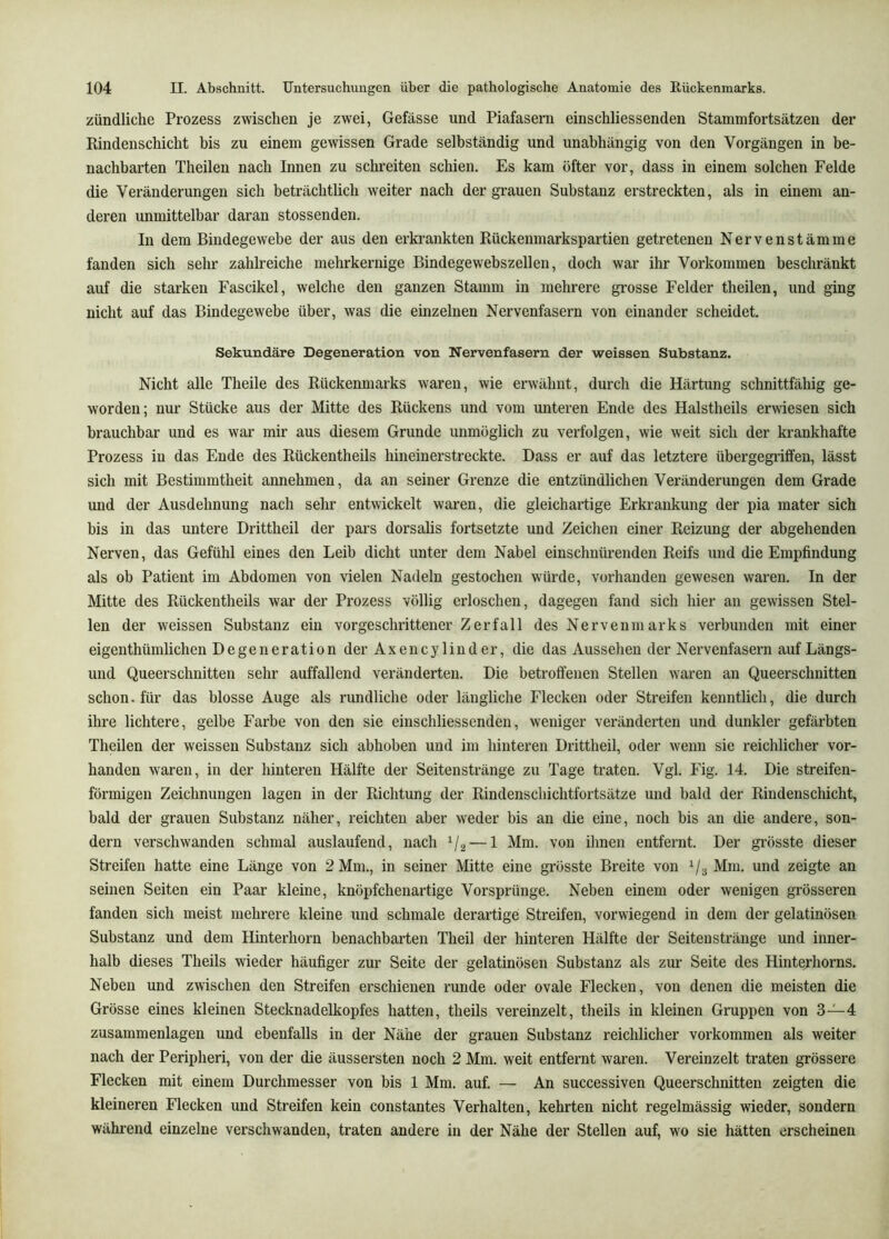 zündliche Prozess zwischen je zwei, Gefässe und Piafasern einschliessenden Stammfortsätzen der Rindenschicht bis zu einem gewissen Grade selbständig und unabhängig von den Vorgängen in be- nachbarten Theilen nach Innen zu schreiten schien. Es kam öfter vor, dass in einem solchen Felde die Veränderungen sich beträchtlich weiter nach der grauen Substanz erstreckten, als in einem an- deren unmittelbar daran stossenden. In dem Bindegewebe der aus den erkrankten Rückenmarkspartien getretenen Nervenstämme fanden sich sehr zahlreiche mehrkernige Bindegewebszellen, doch war ihr Vorkommen beschränkt auf die starken Fascikel, welche den ganzen Stamm in mehrere grosse Felder theilen, und ging nicht auf das Bindegewebe über, was die einzelnen Nervenfasern von einander scheidet. Sekundäre Degeneration von Nervenfasern der weissen Substanz. Nicht alle Theile des Rückenmarks waren, wie erwähnt, durch die Härtung schnittfähig ge- worden; nur Stücke aus der Mitte des Rückens und vom unteren Ende des Halstheils erwiesen sich brauchbar und es war mir aus diesem Grunde unmöglich zu verfolgen, wie weit sich der krankhafte Prozess in das Ende des Rückentheils hineinerstreckte. Dass er auf das letztere übergegriffen, lässt sich mit Bestimmtheit annehmen, da an seiner Grenze die entzündlichen Veränderungen dem Grade und der Ausdehnung nach sehr entwickelt waren, die gleichartige Erkrankung der pia mater sich bis in das untere Drittheil der pars dorsalis fortsetzte und Zeichen einer Reizung der abgehenden Nerven, das Gefühl eines den Leib dicht unter dem Nabel einschnürenden Reifs und die Empfindung als ob Patient im Abdomen von vielen Nadeln gestochen würde, vorhanden gewesen waren. In der Mitte des Rückentheils war der Prozess völlig erloschen, dagegen fand sich hier an gewissen Stel- len der weissen Substanz ein vorgeschrittener Zerfall des Nervenmarks verbunden mit einer eigenthümlichen Degeneration der Axencylind er, die das Aussehen der Nervenfasern auf Längs- und Queerschnitten sehr auffallend veränderten. Die betroffenen Stellen waren an Queerschnitten schon, für das blosse Auge als rundliche oder längliche Flecken oder Streifen kenntlich, die durch ihre lichtere, gelbe Farbe von den sie einschliessenden, weniger veränderten und dunkler gefärbten Theilen der weissen Substanz sich abhoben und im hinteren Drittheil, oder wenn sie reichlicher vor- handen waren, in der hinteren Hälfte der Seitenstränge zu Tage traten. Vgl. Fig. 14. Die streifen- förmigen Zeichnungen lagen in der Richtung der Rindenschichtfortsätze und bald der Rindenschicht, bald der grauen Substanz näher, reichten aber weder bis an die eine, noch bis an die andere, son- dern verschwanden schmal auslaufend, nach V2 — 1 ^on ihnen entfernt. Der grösste dieser Streifen hatte eine Länge von 2 Mm., in seiner Mitte eine grösste Breite von V3 Mm. und zeigte an seinen Seiten ein Paar kleine, knöpfchenartige Vorsprünge. Neben einem oder wenigen grösseren fanden sich meist mehrere kleine und schmale derartige Streifen, vorwiegend in dem der gelatinösen Substanz und dem Hinterhorn benachbarten Theil der hinteren Hälfte der Seiten stränge und inner- halb dieses Theils wieder häufiger zur Seite der gelatinösen Substanz als zur Seite des Hintejhorns. Neben und zwischen den Streifen erschienen runde oder ovale Flecken, von denen die meisten die Grösse eines kleinen Stecknadelkopfes hatten, theils vereinzelt, theils in kleinen Gruppen von 3-^4 zusammenlagen und ebenfalls in der Nähe der grauen Substanz reichlicher Vorkommen als weiter nach der Peripheri, von der die äussersten noch 2 Mm. weit entfernt waren. Vereinzelt traten grössere Flecken mit einem Durchmesser von bis 1 Mm. auf. — An successiven Queerschnitten zeigten die kleineren Flecken und Streifen kein constantes Verhalten, kehrten nicht regelmässig wieder, sondern während einzelne verschwanden, traten andere in der Nähe der Stellen auf, wo sie hätten erscheinen