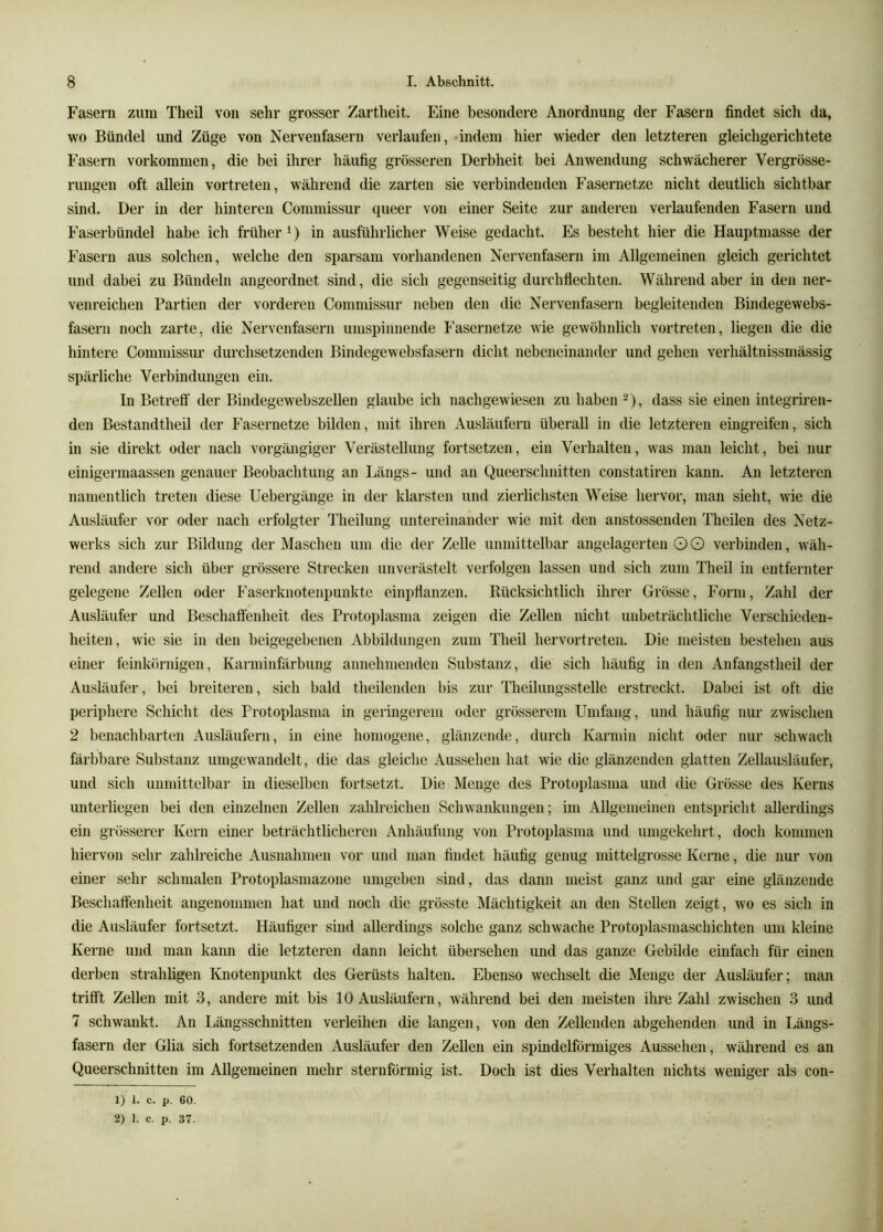 Fasern zum Theil von sehr grosser Zartheit. Eine besondere Anordnung der Fasern findet sich da, wo Bündel und Züge von Nervenfasern verlaufen, indem hier wieder den letzteren gleichgerichtete Fasern Vorkommen, die bei ihrer häufig grösseren Derbheit bei Anwendung schwächerer Vergrösse- rungen oft allein vortreten, während die zarten sie verbindenden Fasernetze nicht deutlich sichtbar sind. Der in der hinteren Commissur queer von einer Seite zur anderen verlaufenden Fasern und Faserbündel habe ich früher in ausführlicher Weise gedacht. Es besteht hier die Hauptmasse der Fasern aus solchen, welche den sparsam vorhandenen Nervenfasern im Allgemeinen gleich gerichtet und dabei zu Bündeln angeordnet sind, die sich gegenseitig durchflechten. Während aber in den ner- venreichen Partien der vorderen Commissur neben den die Nervenfasern begleitenden Bindegewebs- fasern noch zarte, die Nervenfasern umspinnende Fasernetze wie gewöhnlich vortreten, liegen die die hintere Commissur durchsetzenden Bindegewebsfasern dicht nebeneinander und gehen verhältnissmässig spärliche Verbindungen ein. In Betreff der Bindegewebszellen glaube ich nachgewiesen zu haben ^), dass sie einen integriren- den Bestandtheil der Fasernetze bilden, mit ihren Ausläufern überall in die letzteren eingreifen, sich in sie direkt oder nach vorgängiger Verästellung fortsetzen, ein Verhalten, was man leicht, bei nur einigermaassen genauer Beobachtung an Längs- und an Queerschnitten constatiren kann. An letzteren namentlich treten diese Uebergänge in der klarsten und zierlichsten Weise hervor, man sieht, wie die Ausläufer vor oder nach erfolgter Theilung untereinander wie mit den anstossenden Theilen des Netz- werks sich zur Bildung der Maschen um die der Zelle unmittelbar angelagerten O O verbinden, wäh- rend andere sich über grössere Strecken unverästelt verfolgen lassen und sich zum Theil in entfernter gelegene Zellen oder Faserknotenpunkte einpflanzen. Rücksichtlich ihrer Grösse, Form, Zahl der Ausläufer und Beschaffenheit des Protoplasma zeigen die Zellen nicht unbeträchtliche Verschieden- heiten, wie sie in den beigegebenen Abbildungen zum Theil hervortreten. Die meisten bestehen aus einer feinkörnigen, Karminfärbung annehmenden Substanz, die sich häufig in den Anfangstheil der Ausläufer, bei breiteren, sich bald theilenden l)is zur Theilungsstelle erstreckt. Dabei ist oft die periphere Schicht des Protoplasma in geringerem oder grösserem Umfang, und häufig nur zwischen 2 benachbarten Ausläufern, in eine homogene, glänzende, durch Karmin nicht oder nur schw'ach färbbare Substanz umgew'andelt, die das gleiche Aussehen hat wie die glänzenden glatten Zellausläufer, und sich unmittelbar in dieselben fortsetzt. Die Menge des Protoplasma und die Grösse des Kerns unterliegen bei den einzelnen Zellen zahlreichen Schw'ankungen; im Allgemeinen entspricht allerdings ein grösserer Kern einer beträchtlicheren Anhäufung von Protoplasma und umgekehrt, doch kommen hiervon sehr zahlreiche Ausnahmen vor und man findet häufig genug mittelgrosse Kerne, die nur von einer sehr schmalen Protoplasmazone umgeben sind, das dann meist ganz und gar eine glänzende Beschattenheit angenommen hat und noch die grösste Mächtigkeit an den Stellen zeigt, wo es sich in die Ausläufer fortsetzt. Häufiger sind allerdings solche ganz schwache Protoplasmaschichten um kleine Kerne und man kann die letzteren dann leicht übersehen und das ganze Gebilde einfach für einen derben strahligen Knotenpunkt des Gerüsts halten. Ebenso wechselt die Menge der Ausläufer; man trifft Zellen mit 3, andere mit bis 10 Ausläufern, während bei den meisten ihre Zahl zwischen 3 und 7 schwankt. An I^ängsschnitten verleihen die langen, von den Zellenden abgehenden und in Längs- fasern der Glia sich fortsetzenden Ausläufer den Zellen ein spindelförmiges Aussehen, während es an Queerschnitten im Allgemeinen mehr sternförmig ist. Doch ist dies Verhalten nichts weniger als con- 1) 1. c. p. 60.