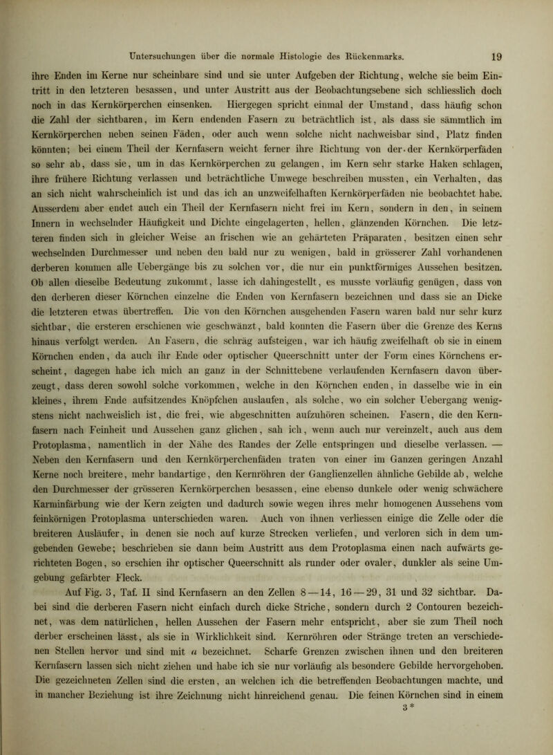 ihre Enden ini Kerne nur scheinbare sind und sie unter Aufgeben der Richtung, welche sie beim Ein- tritt in den letzteren besassen, und unter Austritt aus der Beobachtungsebene sich schliesslich doch noch in das Kernkörperchen einsenken. Hiergegen spricht einmal der Umstand, dass häufig schon die Zahl der sichtbaren, im Kern endenden Fasern zu beträchtlich ist, als dass sie sämmtlich im Kernkörperchen neben seinen Fäden, oder auch wenn solche nicht nachweisbar sind, Platz finden könnten; bei einem Theil der Kernfasern weicht ferner ihre Richtung von der-der Kernkörperfäden so sehr ab, dass sie, um in das Kernkörperchen zu gelangen, im Kern sehr starke Haken schlagen, ihre fiühere Richtung verlassen und beträchtliche Umwege beschreiben mussten, ein Verhalten, das an sich nicht wahrscheinlich ist und das ich an unzweifelhaften Kernkörperfäden nie beobachtet habe. Ausserdem aber endet auch ein Theil der Kernfasern nicht frei im Kern, sondern in den, in seinem Innern in wechselnder Häufigkeit und Dichte eingelagerten, hellen, glänzenden Körnchen. Die letz- teren finden sich in gleicher Weise an frischen wie au gehärteten Präparaten, besitzen einen sehr wechselnden Durchmesser und neben den bald nur zu wenigen, bald in grösserer Zahl vorhandenen derberen kommen alle Uebergänge bis zu solchen vor, die nur ein punktförmiges Aussehen besitzen. Ob allen dieselbe Bedeutung zukommt, lasse ich dahingestellt, es musste vorläufig genügen, dass von den derberen dieser Körnchen einzelne die Enden von Kernfasern bezeichnen und dass sie an Dicke die letzteren etwas übertretfen. Die von den Körnchen ausgehenden I'asern waren bald nur sehr kurz sichtbar, die ersteren erschienen wie geschwänzt, bald konnten die Fasern über die Grenze des Kerns hinaus verfolgt werden. An Fasern, die schräg aufsteigeu, war ich häufig zweifelhaft ob sie in einem Körnchen enden, da auch ihr Ende oder optischer Queerschnitt unter der Form eines Körnchens er- scheint, dagegen habe ich mich an ganz in der Schnittebene verlaufenden Kernfasern davon über- zeugt, dass deren sowohl solche Vorkommen, welche in den Körnchen enden, in dasselbe wie in ein kleines, ihrem Ende aufsitzendes Knöpfchen auslaufen, als solche, wo ein solcher Uebergang wenig- stens nicht nachweislich ist, die frei, wie abgeschnitten aufzuhören scheinen. Fasern, die den Kern- fasern nach Feinheit und Aussehen ganz glichen, sah ich, wenn auch nur vereinzelt, auch aus dem Protoplasma, namentlich in der Nähe des Randes der Zelle entspringen und dieselbe verlassen. — Neben den Kernfasern und den Kernkörperchenfäden traten von einer im Ganzen geringen Anzahl Kerne noch breitere, mehr bandartige, den Kernröhren der Ganglienzellen ähnliche Gebilde ab, welche den Durchmesser der grösseren Kernkörperchen besassen, eine ebenso dunkele oder wenig schwächere Karminfärbung wie der Kern zeigten und dadurch sowie wegen ihres mehr homogenen Aussehens vom feinköi-nigen Protoplasma unterschieden waren. Auch von ihnen verliessen einige die Zelle oder die breiteren Ausläufer, in denen sie noch auf kurze Strecken verliefen, und verloren sich in dem um- gebenden Gewebe; beschrieben sie dann beim Austritt aus dem Protoplasma einen nach aufwärts ge- richteten Bogen, so erschien ihr optischer Queerschnitt als runder oder ovaler, dunkler als seine Um- gebung gefärbter Fleck. Auf Fig. 3, Taf. II sind Kernfasern an den Zellen 8 —14, 16 — 29, 31 und 32 sichtbar. Da- bei sind die derberen Fasern nicht einfach durch dicke Striche, sondern durch 2 Contouren bezeich- net, was dem natürlichen, hellen Aussehen der Fasern mehr entspricht, aber sie zum Theil noch derber erscheinen lässt, als sie in Wirklichkeit sind. Kernröhren oder Stränge treten an verschiede- nen Stollen hervor und sind mit a bezeichnet. Scharfe Grenzen zwischen ihnen und den breiteren Kernfasern lassen sich nicht ziehen und habe ich sie nur vorläufig als besondere Gebilde hervorgehoben. Die gezeichneten Zellen sind die ersten, an w^elchen ich die betreffenden Beobachtungen machte, und in mancher Beziehung ist ihre Zeichnung nicht hinreichend genau. Die feinen Körnchen sind in einem 3*