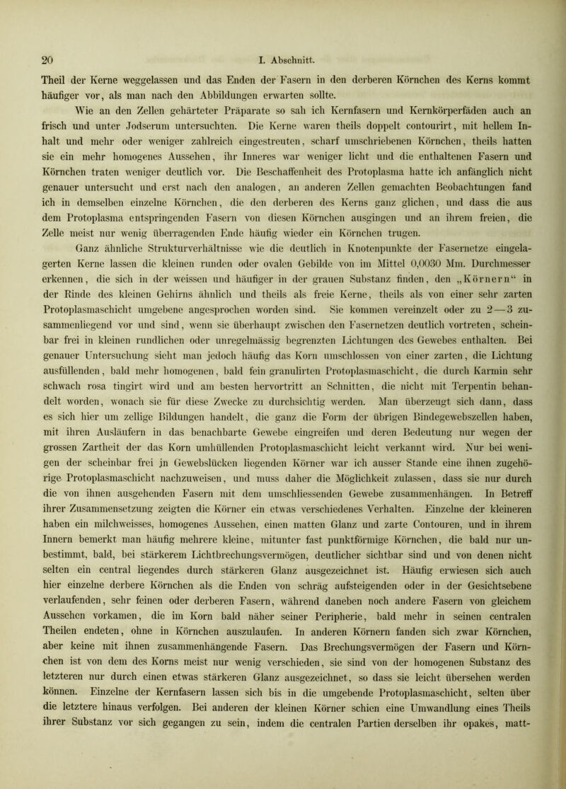 Theil der Kerne weggelassen und das Enden der Fasern in den derberen Körnchen des Kerns kommt häufiger vor, als man nach den Abbildungen erwarten sollte. Wie an den Zellen gehärteter Präparate so sah ich Kernfasern und Kernkörperfäden auch an frisch und unter Jodserum untersuchten. Die Kerne waren theils doppelt contourirt, mit hellem In- halt und mehr oder weniger zahlreich eingestreuten, scharf umschriebenen Körnchen, theils hatten sie ein mehr homogenes Aussehen, ihr Inneres war weniger licht und die enthaltenen Fasern und Körnchen traten weniger deutlich vor. Die Beschaffenheit des Protoplasma hatte ich anfänglich nicht genauer untersucht und erst nach den analogen, an anderen Zellen gemachten Beobachtungen fand ich in demselben einzelne Körnchen, die den derberen des Kerns ganz glichen, und dass die aus dem Protoplasma entspringenden Fasern von diesen Körnchen ausgingen und an ihrem freien, die Zelle meist nur wenig überragenden Ende häufig wieder ein Körnchen trugen. Ganz ähnliche Strukturverhältnisse wie die deutlich in Knotenpunkte der Fasernetze eingela- gerten Kerne lassen die kleinen runden oder ovalen Gebilde von im Mittel 0,0030 Mm. Durchmesser erkennen, die sich in der weissen und häufiger in der grauen Substanz finden, den „Körnern“ in der Rinde des kleinen Gehirns ähnlich und theils als freie Kerne, theils als von einer sehr zarten Protoplasmaschicht umgebene angesprochen worden sind. Sie kommen vereinzelt oder zu 2 — 3 zu- sammenliegend vor und sind, wenn sie überhaupt zwischen den Fasernetzen deutlich vortreten, schein- bar frei in kleinen rundlichen oder unregelmässig begrenzten Lichtungen des Gewebes enthalten. Bei genauer Untersuchung sieht man jedoch häufig das Korn umschlossen von einer zarten, die Lichtung ausfüllenden, bald mehr homogenen, l)ald fein gi’anulirten Protoplasmaschicht, die durch Karmin sehr schwach rosa tingirt wird und am besten hervortritt an Schnitten, die nicht mit Terpentin behan- delt worden, wonach sie für diese Zwecke zu durchsichtig werden. Man überzeugt sich dann, dass es sich hier um zeitige Bildungen handelt, die ganz die Form der übrigen Bindegewebszellen haben, mit ihren Ausläufern in das benachbarte Gewebe eingreifen und deren Bedeutung nur w'egen der grossen Zartheit der das Korn umhüllenden Protoplasmaschicht leicht verkannt wird. Nur bei weni- gen der scheinbar frei ;n Gewebslücken liegenden Körner war ich ausser Stande eine ihnen zugehö- rige. Protoplasmaschicht nachzuweisen, und muss daher die Möglichkeit zulassen, dass sie nur durch die von ihnen ausgehenden Fasern mit dem umschliessenden Gewebe Zusammenhängen. In Betreff ihrer Zusammensetzung zeigten die Körner ein etwas verschiedenes Verhalten. Einzelne der kleineren haben ein milchweisses, homogenes Aussehen, einen matten Glanz und zarte Contouren, und in ihrem Innern bemerkt man häufig mehrere kleine, mitunter fast punktförmige Körnchen, die bald nur un- bestimmt, bald, bei stärkerem Lichtbrechungsvermögen, deutlicher sichtbar sind und von denen nicht selten ein central liegendes durch stärkeren Glanz ausgezeichnet ist. Häufig erwiesen sich auch hier einzelne derbere Körnchen als die Enden von schräg aufsteigenden oder in der Gesichtsebene verlaufenden, sehr feinen oder derberen Fasern, während daneben noch andere Fasern von gleichem Aussehen vorkamen, die im Korn bald näher seiner Peripherie, bald mehr in seinen centralen Theilen endeten, ohne in Körnchen auszulaufen. In anderen Körnern fanden sich zwar Körnchen, aber keine mit ihnen zusammenhängende Fasern. Das Brechungsvermögen der Fasern und Körn- chen ist von dem des Korns meist nur wenig verschieden, sie sind von der homogenen Substanz des letzteren nur durch einen etwas stärkeren Glanz ausgezeichnet, so dass sie leicht übersehen w’erden Können. Einzelne der Kernfasern lassen sich bis in die umgebende Protoplasmaschicht, selten über die letztere hinaus verfolgen. Bei anderen der kleinen Körner schien eine Umwandlung eines Theils ihrer Substanz vor sich gegangen zu sein, indem die centralen Partien derselben ihr opakes, matt-