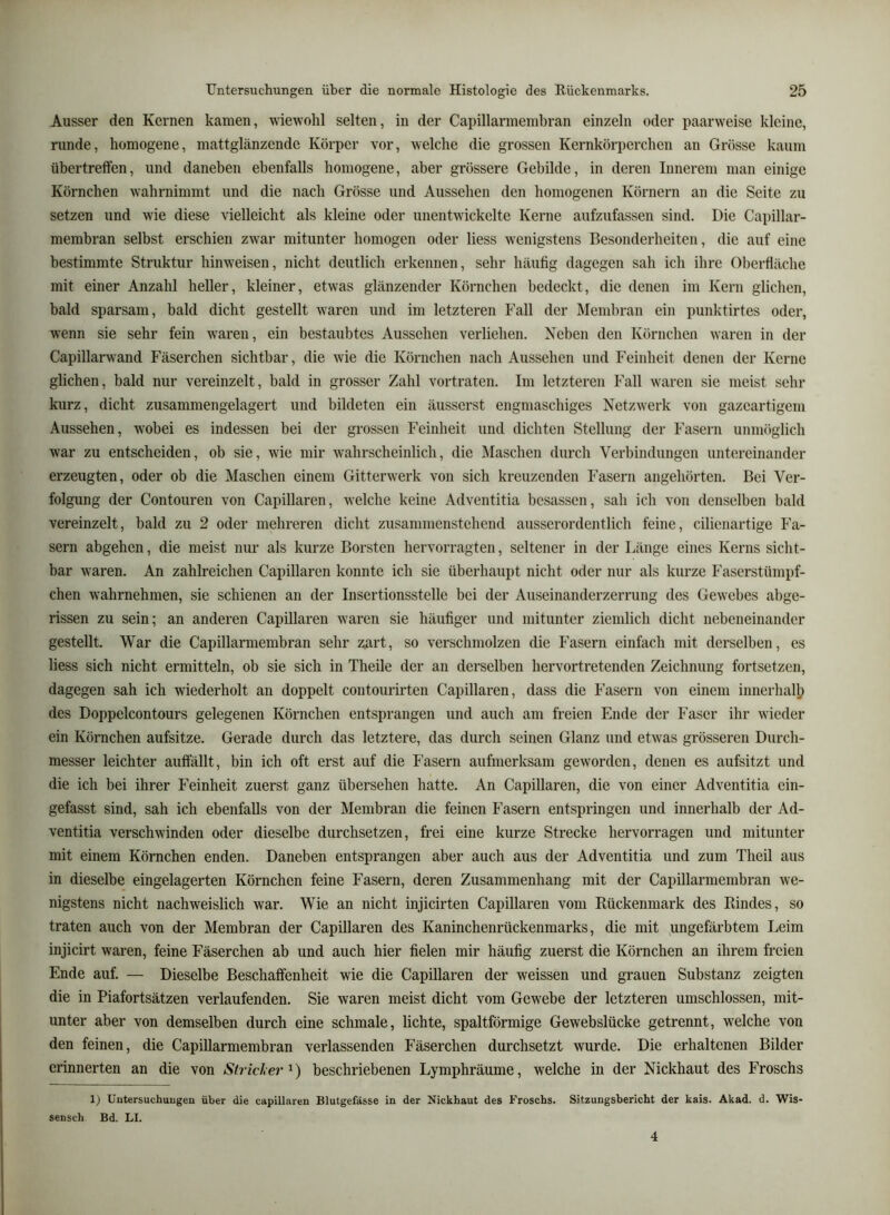 Ausser den Kernen kamen, wiewohl selten, in der Capillarmembran einzeln oder paarweise kleine, runde, homogene, mattglänzende Körper vor, welche die grossen Kernkörperchen an Grösse kaum übertreffen, und daneben ebenfalls homogene, aber grössere Gebilde, in deren Innerem man einige Körnchen wahrnimmt und die nach Grösse und Aussehen den homogenen Körnern an die Seite zu setzen und wie diese vielleicht als kleine oder unentwickelte Kerne aufzufassen sind. Die Capillar- membran selbst erschien zwar mitunter homogen oder liess wenigstens Besonderheiten, die auf eine bestimmte Struktur hinweisen, nicht deutlich erkennen, sehr häufig dagegen sah ich ihre Oberfläche mit einer AnzaU heller, kleiner, etwas glänzender Körnchen bedeckt, die denen im Kern glichen, bald sparsam, bald dicht gestellt waren und im letzteren Fall der Membran ein punktirtes oder, wenn sie sehr fein waren, ein bestaubtes Aussehen verliehen. Neben den Körnchen waren in der Capillarwand Fäserchen sichtbar, die wie die Körnchen nach Aussehen und Feinheit denen der Kerne glichen, bald nur vereinzelt, bald in grosser Zahl vortraten. Im letzteren Fall waren sie meist sehr kurz, dicht zusammengelagert und bildeten ein äusscrst engmaschiges Netzwerk von gazeartigem Aussehen, wobei es indessen bei der grossen Feinheit und dichten Stellung der Fasern unmöglich war zu entscheiden, ob sie, wie mir wahrscheinlich, die Maschen durch Verbindungen untereinander erzeugten, oder ob die Maschen einem Gitterwerk von sich kreuzenden Fasern angehörten. Bei Ver- folgung der Contouren von Capillaren, welche keine Adventitia bcsassen, sah ich von denselben bald vereinzelt, bald zu 2 oder mehreren dicht zusammenstehend ausserordentlich feine, cilienartige Fa- sern abgehen, die meist nur als kurze Borsten hervorragten, seltener in der Länge eines Kerns sicht- bar waren. An zahlreichen Capillaren konnte ich sie überhaupt nicht oder nur als kurze Faserstümpf- chen w'ahrnehmen, sie schienen an der Insertionsstelle bei der Auseinanderzerrung des Gewebes abge- rissen zu sein; an anderen Capillaren waren sie häufiger und mitunter ziemlich dicht nebeneinander gestellt. War die Capillarmembran sehr ^rt, so verschmolzen die Fasern einfach mit derselben, es liess sich nicht ermitteln, ob sie sich in Theile der an derselben hervortretenden Zeichnung fortsetzen, dagegen sah ich wiederholt an doppelt contourirten Capillaren, dass die Fasern von einem innerhall? des Doppelcontours gelegenen Körnchen entsprangen und auch am freien Ende der Faser ihr wieder ein Körnchen aufsitze. Gerade durch das letztere, das durch seinen Glanz und etwas grösseren Durch- messer leichter auffällt, bin ich oft erst auf die Fasern aufmerksam geworden, denen es aufsitzt und die ich bei ihrer Feinheit zuerst ganz übersehen hatte. An Capillaren, die von einer Adventitia ein- gefasst sind, sah ich ebenfalls von der Membran die feinen Fasern entspringen und innerhalb der Ad- ventitia verschwinden oder dieselbe durchsetzen, frei eine kurze Strecke hervorragen und mitunter mit einem Körnchen enden. Daneben entsprangen aber auch aus der Adventitia und zum Theil aus in dieselbe eingelagerten Körnchen feine Fasern, deren Zusammenhang mit der Capillarmembran we- nigstens nicht nachweislich war. Wie an nicht injicirten Capillaren vom Rückenmark des Rindes, so traten auch von der Membran der Capillaren des Kaninchenrückenmarks, die mit ungefärbtem Leim injicirt waren, feine Fäserchen ab und auch hier fielen mir häufig zuerst die Körnchen an ihrem fi-cien Ende auf. — Dieselbe Beschaffenheit wie die Capillaren der weissen und grauen Substanz zeigten die in Piafortsätzen verlaufenden. Sie waren meist dicht vom Gewebe der letzteren umschlossen, mit- unter aber von demselben durch eine schmale, lichte, spaltförmige Gewebslücke getrennt, welche von den feinen, die Capillarmembran verlassenden Fäserchen durchsetzt wurde. Die erhaltenen Bilder erinnerten an die von Strich ei' ^) beschriebenen Lymphräume, welche in der Nickhaut des Froschs 1; Untersuchuugen über die capillaren Blutgefässe in der Nickhaut des Froschs. Sitzungsbericht der kais. Akad. d. Wis- sensch Bd. LI. 4