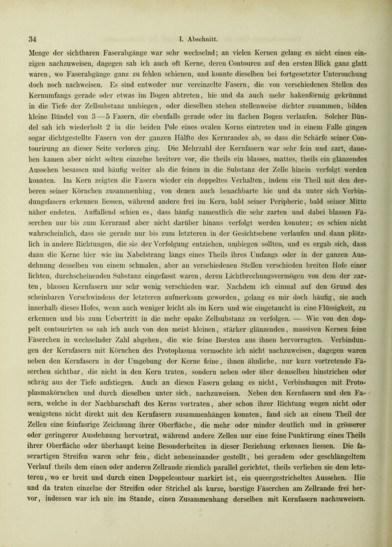 Menge der sichtbaren Faserabgänge war sehr wechselnd; an vielen Kernen gelang es nicht einen ein- zigen nachzuweisen, dagegen sah ich auch oft Keine, deren Contouren auf den ersten Blick ganz glatt waren, wo Faserabgänge ganz zu fehlen schienen, und konnte dieselben bei fortgesetzter Untersuchung doch noch nachweisen. Es sind entweder nur vereinzelte Fasern, die von verschiedenen Stellen des Kernumfangs gerade oder etwas im Bogen abtreteu, hie und da auch mehr hakenförmig gekrümmt in die Tiefe der Zellsubstanz umbiegen, oder dieselben stehen stellenweise dichter zusammen, bilden kleine Bündel von 3 — 5 Fasern, die ebenfalls gerade oder im flachen Bogen verlaufen. Solcher Bün- del sah ich wiederholt 2 in die beiden Pole eines ovalen Korns ein treten und in einem Falle gingen sogar dichtgestellte Fasern von der ganzen Hälfte des Kernrandes ab, so dass die Schärfe seiner Con- tourirung an dieser Seite verloren ging. Die Mehrzahl der Kernfasern war sehr fein und zart, dane- ben kamen aber nicht selten einzelne breitere vor, die theils ein blasses, mattes, tlieils ein glänzendes Aussehen besassen und häufig weiter als die feinen in die Substanz der Zelle hinein verfolgt werden konnten. Im Kern zeigten die Fasern wieder ein doppeltes Verhalten, indem ein Theil mit den der- beren seiner Körnchen zusammenhing, von denen auch benachbarte hie und da unter sich Verbin- dungsfasern erkennen liessen, während andere frei im Kern, bald seiner Peripherie, bald seiner Mitte näher endeten. Auflallend schien es, dass häufig namentlich die sehr zarten und dabei blassen Fä- serchen nur bis zum Kernrand aber nicht darüber hinaus verfolgt werden konnten; es schien nicht wahrscheinlich, dass sie gerade nur bis zum letzteren in der Giisichtsebene verlaufen und dann plötz- lich in andere Richtungen, die sie der Verfolgung entziehen, umbiegen sollten, und es ergab sich, dass dann die Kerne hier wie im Nabelstrang längs eines Theils ihres Umfangs oder in der ganzen Aus- dehnung desselben von einem schmalen, aber an verschiedenen Stellen verschieden breiten Hofe einer lichten, durchscheinenden Substanz eingefasst waren, deren Lichtbrechungsvermögen von dem der zar- ten, blassen Kernfasern nur sehr wenig verschieden war. Nachdem ich einmal auf den Grund des scheinbaren Verschwindens der letzteren aufmerksam geworden, gelang es mir doch häufig, sie auch innerhalb dieses Hofes, wenn auch weniger leicht als im Kern und wie eingetaucht in eine I'lüssigkeit, zu erkennen und bis zum Uebertritt in die mehr opake Zellsubstanz zu verfolgen. — Wie von den dop- pelt contourirten so sah ich auch von den meist kleinen, stärker glänzenden, massiven Kernen feine Fäserchen in wechselnder Zahl abgehen, die wie feine Borsten aus ihnen hervorragten. Verbindun- gen der Kernfasern mit Körnchen des Protoplasma vermochte ich nicht nachzuweisen, dagegen waren neben den Kernfasern in der Umgebung der Kerne feine, ihnen ähnliche, nur kurz vortretende Fä- serchen sichtbar, die nicht in den Kern traten, sondern neben oder über demselben hinstrichen oder schräg aus der Tiefe aufstiegen. Auch an diesen Fasern gelang es nicht, Verbindungen mit Proto- plasmakörnchen und durch dieselben unter sich, nachzuweisen. Neben den Kernfasern und den I'u- sern, welche in der Nachbarschaft des Kerns vortraten, aber schon ihrer Richtung wegen nicht oder wenigstens nicht direkt mit den Kernfasern Zusammenhängen konnten, fand sich an einem Theil der Zellen eine feinfasrige Zeichnung ihrer Oberfläche, die mehr oder minder deutlich und in grösserer oder geringerer Ausdehnung hervortrat, während andere Zellen nur eine feine Punktirung eines Theils ihrer Oberfläche oder überhaupt keine Besonderheiten in dieser Beziehung erkennen liessen. Die fa- serartigen Streifen waren sehr fein, dicht nebeneinander gestellt, bei geradem oder geschlängeltem Verlauf theils dem einen oder anderen Zellrande ziemlich parallel gerichtet, theils verliehen sie dem letz- teren, wo er breit und durch einen Doppelcontour markirt ist, ein queergestricheltes Aussehen. Hie und da traten einzelne der Streifen oder Strichei als kurze, borstige Fäserchen am Zellrande frei her- vor, indessen war ich nie im Stande, einen Zusammenhang derselben mit Kernfasern nachzuweisen.