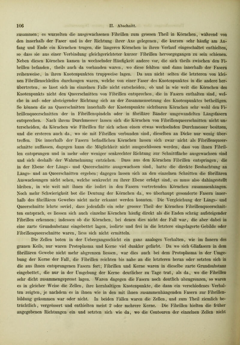 zusammen; es wurzelten die ausgew'achsenen Fibrillen zum grossen Theil in Körnchen, während von den innerhalb der Faser und in der Richtung ihrer Axe gelegenen, die kurzen sehr häufig am An- fang und Ende ein Körnchen trugen, die längeren Körnchen in ihren Verlauf eingeschaltet enthielten, so dass sie aus einer Verbindung gleichgerichteter kurzer Fibrillen hervorgegangen zu sein schienen. Neben diesen Körnchen kamen in w^echselnder Häufigkeit andere vor, die sich theils zwischen den Fi- brillen befanden, theils auch da vorhanden waren, wo diese fehlten und dann innerhalb der Fasern reihenweise, in ihren Knotenpunkten truppweise lagen. Da nun nicht selten die letzteren von klei- nen Fibrillenschleifen durchzogen waren, welche von einer Faser des Knotenpunktes in die andere her- übertreten, so lässt sich im einzelnen Falle nicht entscheiden, ob und in wie weit die Körnchen des Knotenpunkts nicht den Queerschnitten von Fibrillen entsprechen, die in Fasern enthalten sind, wel- che in auf- oder absteigender Richtung sich an der Zusammensetzung des Knotenpunktes betheiligen. So können die an Queerschnitten innerhalb der Knotenpunkte sichtbaren Körnchen sehr wohl den Fi- brillenqueerschnitten der in Fibrillenspindeln oder in fibrilläre Bänder umgewandelten Längsfasern entsprechen. Nach ihrem Durchmesser lassen sich die Körnchen von Fibrillenqueerschnitten nicht un- terscheiden, da Körnchen wie Fibrillen für sich schon einen etwas wechselnden Durchmesser besitzen, und die ersteren auch da, wo sie mit Fibrillen verbunden sind, dieselben an Dicke nur wenig über- treften. Die innerhalb der Fasern befindlichen Körnchen lassen sich zwar nicht als Fibrillenqueer- schnitte auffassen, dagegen kann die Möglichkeit nicht ausgeschlossen werden, dass von ihnen Fibril- len entsprungen und in mehr oder weniger senkrechter Richtung zur Schnittfläche ausgewachsen sind und sich deshalb der Wahrnehmung entziehen. Dass aus den Körnchen Fibrillen entspringen, die in der Ebene der Längs- und Queerschnitte ausgewachsen sind, hatte die direkte Beobachtung an Längs- und an Queerschnitten ergeben; dagegen lassen sich an den einzelnen Schnitten die fibrillären Auswachsungen nicht sehen, welche senkrecht zu ihrer Ebene erfolgt sind, es muss also dahingestellt bleiben, in wie weit mit ihnen die isolirt in den Fasern vortretenden Körnchen Zusammenhängen. Noch mehr Schwierigkeit bot die Deutung der Körnchen da, w'o überhaupt gesonderte Fasern inner- halb des fibrillären Gewebes nicht mehr erkannt werden konnten. Die Vergleichuiig der Längs- und Queerschnitte lehrte soviel, dass jedenfalls ein sehr grosser Theil der Körnchen Fibrillenqueerschnit- ten entsprach, es Hessen sich auch einzelne Körnchen häufig direkt als die Enden schräg aufsteigender Fibrillen erkennen; indessen ob die Körnchen, bei denen dies nicht der Fall war, die aber dabei in eine zarte Grundsubstanz eingebettet lagen, isolirte und frei in die letztere eingelagerte Gebilde oder Fibrillenqueerschnitte waren, Hess sich nicht ermitteln. Die Zellen boten in der Uebergangsschicht ein ganz analoges Verhalten, wie im Innern des grauen Keils, nur waren Protoplasma und Kerne viel dunkler gefärbt. Da wo sich Gliafasern in dem fibrillären Gewebe nicht mehr abgrenzen Hessen, war dies auch bei dem Protoplasma in der Umge- bung der Kerne der Fall, die Fibrillen reichten bis nahe an die letzteren heran oder setzten sich in die aus ihnen entsprungenen Fasern fort; Fibrillen und Kerne waren in dieselbe zarte Grundsubstanz eingebettet, die nur in der Umgebung der Kerne deutlicher zu Tage trat, als da, wo die Fibrillen sehr dicht zusammengepresst lagen. Waren dagegen die Fasern noch deutlich abzugrenzen, so waren es in gleicher Weise die Zellen, ihre kernhaltigen Knotenpunkte, die dann ein verschiedenes Verhal- ten zeigten, je nachdem es in ihnen wie in den mit ihnen zusammenhängenden Fasern zur Fibrillen- bildung gekommen war oder nicht. In beiden Fällen waren die Zellen, und zum Theil ziemlich be- trächtlich, vergrössert und enthielten meist 2 oder mehrere Kerne. Die Fibrillen hielten die früher angegebenen Richtungen ein und setzten sich wie da, wo die Contouren der einzelnen Zellen nicht