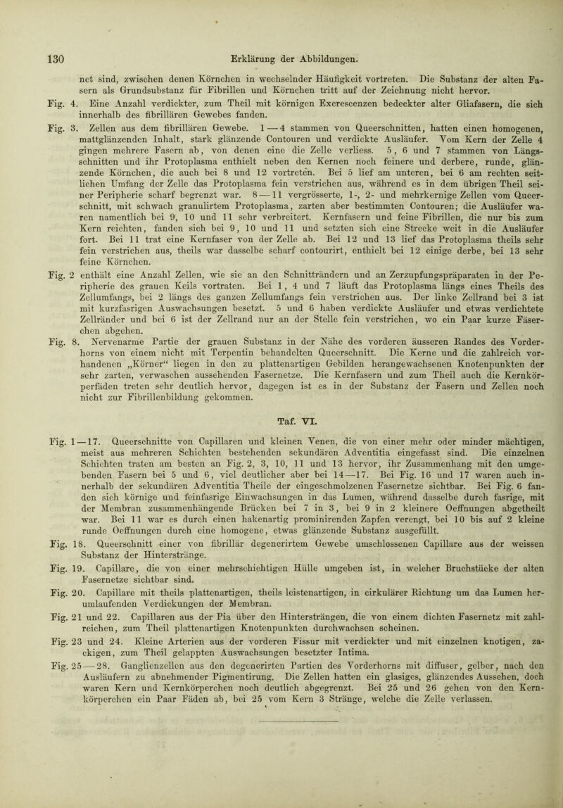 net sind, zwischen denen Körnchen in wechselnder Häufigkeit vortreten. Die Substanz der alten Fa- sern als Grundsubstanz für Fibrillen und Körnchen tiütt auf der Zeichnung nicht hervor. Fig. 4. Eine Anzahl verdickter, zum Theil mit körnigen Excrescenzen bedeckter alter Gliafasern, die sich innerhalb des fibrillären Gewebes fanden. Fig. 3. Zellen aus dem fibrillären Gewebe. 1—4 stammen von Queerschnitten, hatten einen homogenen, mattglänzenden Inhalt, stark glänzende Contouren und verdickte Ausläufer. Vom Kern der Zelle 4 gingen mehrere Fasern ab, von denen eine die Zelle verliess. 5, 6 und 7 stammen von Längs- schnitten und ihr Protoplasma enthielt neben den Kernen noch feinere und derbere, runde, glän- zende Körnchen, die auch bei 8 und 12 vortreten. Bei 5 lief am unteren, bei 6 am rechten seit- lichen Umfang der Zelle das Protoplasma fein verstrichen aus, während es in dem übrigen Theil sei- ner Peripherie scharf begrenzt war. 8-—11 vergrösserte, 1-, 2- und mehrkernige Zellen vom Uueer- schnitt, mit schwach granulirtem Protoplasma, zarten aber bestimmten Contouren; die Ausläufer wa- ren namentlich bei 9, 10 und 11 sehr verbreitert. Kernfasern und feine Fibrillen, die nur bis zum Kern reichten, fanden sich bei 9, 10 und 11 und setzten sich eine Strecke weit in die Ausläufer fort. Bei 11 trat eine Kernfaser von der Zelle ab. Bei 12 und 13 lief das Protoplasma theils sehr fein verstrichen aus, theils war dasselbe scharf contourirt, enthielt bei 12 einige derbe, bei 13 sehr feine Körnchen. Fig. 2 enthält eine Anzahl Zellen, wie sie an den Schnitträndern und an Zerzupfungspräparaten in der Pe- ripherie des grauen Keils vortraten. Bei 1, 4 und 7 läuft das Protoplasma längs eines Theils des Zellumfangs, bei 2 längs des ganzen Zellumfangs fein verstrichen aus. Der linke Zellrand bei 3 ist mit kurzfasrigcn Auswachsungen besetzt. 5 und 6 haben verdickte Ausläufer und etwas verdichtete Zellränder und bei 6 ist der Zellrand nur an der Stelle fein verstrichen, wo ein Paar kurze Fäser- chen abgehen. Fig. 8. Nervenarme Partie der grauen Substanz in der Nähe des vorderen äusseren Randes des Vorder- horns von einem nicht mit Terpentin behandelten Queerschnitt. Die Kerne und die zahlreich vor- handenen „Körner“ liegen in den zu plattenartigen Gebilden herangewachsenen Knotenpunkten der sehr zarten, verwaschen aussehendeu Fasernetze. Die Kernfasern und zum Theil auch die Kernkör- perfäden treten sehr deutlich hervor, dagegen ist es in der Substanz der Fasern und Zellen noch nicht zur Fibrillenbildung gekommen. Taf. VI. Fig. 1 —17. Queerschnitte von Capillaren und kleinen Venen, die von einer mehr oder minder mächtigen, meist aus mehreren Schichten bestehenden sekundären Adventitia eingefasst sind. Die einzelnen Schichten traten am besten an Fig. 2, 3, 10, 11 und 13 hervor, ihr Zusammenhang mit den umge- benden Fasern bei 5 und 6, viel deutlicher aber bei 14—17. Bei Fig. 16 und 17 waren auch in- nerhalb der sekundären Adventitia Theile der eingeschmolzenen Fasernetze sichtbar. Bei Fig. 6 fan- den sich körnige und feinfasrige Einwachsungen in das Lumen, während dasselbe durch fasrige, mit der Membran zusammenhängende Brücken bei 7 in 3, bei 9 in 2 kleinere Oeffnungen abgetheilt war. Bei 11 war es durch einen hakenartig prominirenden Zapfen verengt, bei 10 bis auf 2 kleine runde Oeffnungen durch eine homogene, etwas glänzende Substanz ausgefüllt. Fig. 18. Queerschnitt einer von fibrillär degenerirtem Gewebe umschlossenen Capillare aus der weissen Substanz der Hinterstränge. Fig. 19. Capillare, die von einer mehrschichtigen Hülle umgeben ist, in welcher Bruchstücke der alten Fasernetze sichtbar sind. Fig. 20. Capillare mit theils plattenartigen, theils leistenartigen, in cirkulärer Richtung um das Lumen her- umlaufenden Verdickungen der Membran. Fig. 21 und 22. Capillaren aus der Pia über den Hintersträngen, die von einem dichten Fasernetz mit zahl- reichen, zum Theil plattenartigen Knotenpunkten durchwachsen scheinen. Fig. 23 und 24. Kleine Arterien aus der vorderen Fissur mit verdickter und mit einzelnen knotigen, za- ckigen, zum Theil gelappten Auswachsungen besetzter Intima. Fig. 25 — 28. Ganglienzellen aus den degenerirten Partien des Vorderhorns mit diffuser, gelber, nach den Ausläufern zu abnehmender Pigmentirung. Die Zellen hatten ein glasiges, glänzendes Aussehen, doch waren Kern und Kernkörperchen noch deutlich abgegrenzt. Bei 25 und 26 gehen von den Kern- körperchen ein Paar Fäden ab, bei 25 vom Kern 3 Stränge, welche die Zelle verlassen.