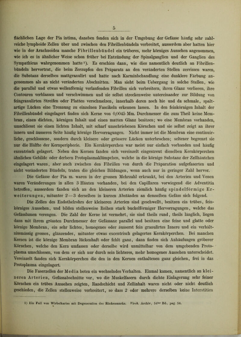 o flächlichen Lage der Pia intima, daneben fanden sich in der Umgebung der Gefässe häufig sehr zahl- reiche lymphoide Zellen über und zwischen den Fibrillenbündeln verbreitet, ausserdem aber hatten hier wie in der Arachnoidea manche Fibrillenbündel ein trüberes, mehr körniges Aussehen angenommen, wie ich es in ähnlicher Weise schon früher bei Entzündung der Spinalganglien und der Ganglien des Sympathicus wahrgenommen hattet). Es erschien dann, wie dies namentlich deutlich an Fibrillen- bündeln hervortrat, die beim Zerzupfen des Präparats an den veränderten Stellen zerrissen waren, die Substanz derselben mattgranulirt und hatte nach Karminbehandlung eine dunklere Färbung an- genommen als an nicht veränderten Abschnitten. Man sieht beim Uebergang in solche Stellen, wie die parallel und etwas wellenförmig verlaufenden Fibrillen sich verbreitern, ihren Glanz verlieren, ihre Contouren verblassen und verschwimmen und sie selbst streckenweise untereinander zur Bildung von feingranulirten Streifen oder Platten verschmelzen, innerhalb deren noch hie und da schmale, spalt- artige Lücken eine Trennung zu einzelnen Fascikeln erkennen lassen. In den feinkörnigen Inhalt der Fibrillenbündel eingelagert finden sich Kerne von 0,0045 Mm. Durchmesser die zum Theil keine Mem- bran, einen dichten, körnigen Inhalt und einen matten Glanz besitzen; wo eine Membran vorhanden, umschliesst sie einen lichten Inhalt, mit scharf umschriebenen Körnchen und sie selbst zeigt an ihrer innern und äusseren Seite häufig körnige Hervorragungen. Nicht immer ist die Membran eine continuir- liche, geschlossene, sondern durch kleinere oder grössere Lücken unterbrochen; seltener begrenzt sie nur die Hälfte der Kernperipherie. Ein Kernkörperchen war meist nur einfach vorhanden und häufig excentrisch gelagert. Neben den Kernen fanden sich vereinzelt eingestreut dieselben Kernkörperchen ähnlichen Gebilde oder derbem Protoplasmaklümpchen, welche in die körnige Substanz der Zellhäutchen eingelagert waren, aber auch zwischen den Fibrillen von durch die Präparatiou aufgefaserten und nicht veränderten Bündeln, traten die gleichen Bildungen, wenn auch nur in geringer Zahl hervor. Die Gefässe der Pia m. waren in der grossen Mehrzahl erkrankt, bei den Arterien und Venen waren Veränderungen in allen 3 Häuten vorhanden, bei den Capillaren vorwiegend die Adventitia betroffen, ausserdem fanden sich an den kleineren Arterien ziemlich häufig spindelförmige Er- weiterungen, mitunter 2 — 3 derselben in kurzen Abständen an demselben Gefäss sich folgend. Die Zellen des Endothelrohrs der kleineren Arterien sind geschwellt, besitzen ein trübes, fein- körniges Aussehen, und bilden stellenweise Reihen stark buckelförmiger Hervorragungen, welche das Gefässlumen verengen. Die Zahl der Kerne ist vermehrt, sie sind theils rund, theils länglich, liegen dann mit ihrem grössten Durchmesser der Gefässaxe parallel und besitzen eine feine und glatte oder körnige Membran, ein sehr lichtes, homogenes oder äusserst fein granulirtes Innere und ein verhält- nissmässig grosses, glänzendes, mitunter etwas excentrisch gelagertes Kernkörperchen. Bei manchen Kernen ist die körnige Membran lückenhaft oder fehlt ganz, dann finden sich Anhäufungen gröberer Körnchen, welche den Kern umfassen oder derselbe wird unmittelbar von dem umgebenden Proto- plasma umschlossen, von dem er sich nur durch sein lichteres, mehr homogenes Aussehen unterscheidet. Vereinzelt fanden sich Kernkörperchen die den in den Kernen enthaltenen ganz gleichen, frei in das Protoplasma eingelagert. Die Faserzellen der Media boten ein wechselndes Verhalten. Einmal kamen, namentlich an klei- neren Arterien, Gefässabschnitte vor, wo die Muskelfasern durch dichte Einlagerung sehr feiner Körnchen ein trübes Aussehen zeigten, Randschicht und Zellinhalt waren nicht oder nicht deutlich geschieden, die Zellen stellenweise verbreitert, so dass 2 oder mehrere derselben keine Interstitieu 1) Ein Fall von Wirbelkaries mit Degeneration des Rückenmarks. Virch. Archiv, 54tcr Bd., pag. 54.