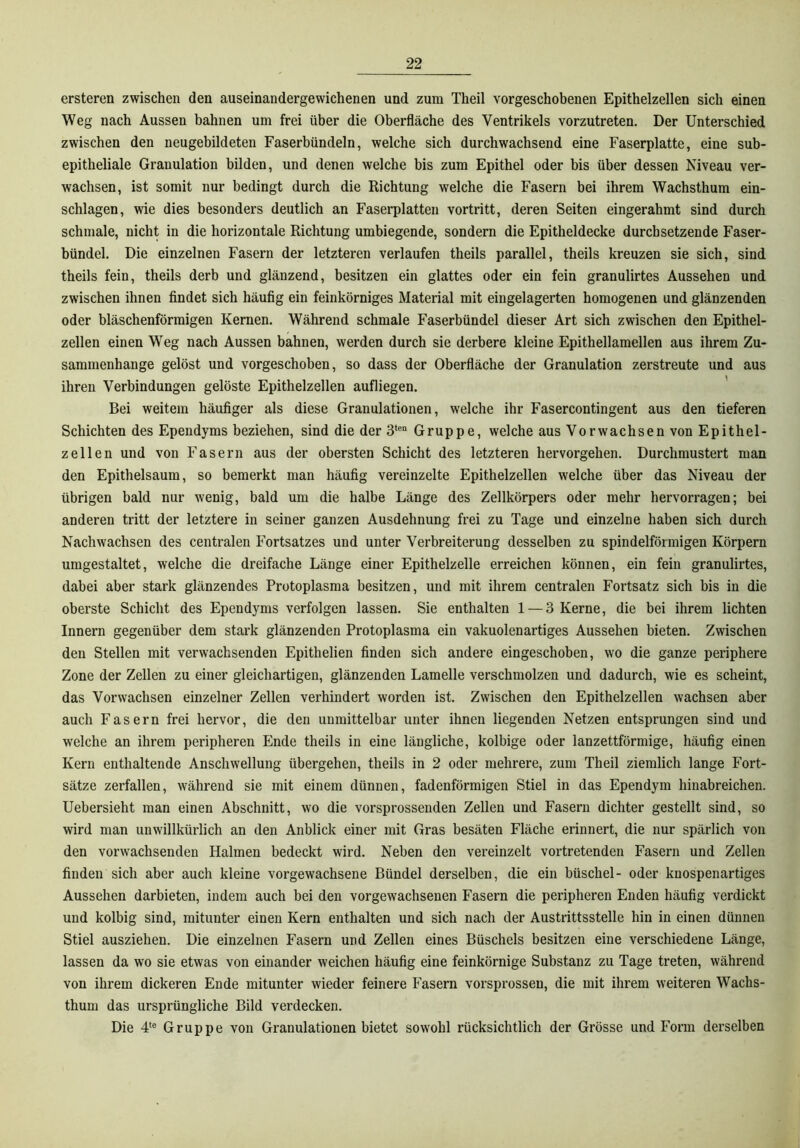 ersteren zwischen den auseinandergewichenen und zum Theil vorgeschobenen Epithelzellen sich einen Weg nach Aussen bahnen um frei über die Oberfläche des Ventrikels vorzutreten. Der Unterschied zwischen den neugebildeten Faserbündeln, welche sich durchwachsend eine Faserplatte, eine sub- epitheliale Granulation bilden, und denen welche bis zum Epithel oder bis über dessen Niveau ver- wachsen, ist somit nur bedingt durch die Richtung welche die Fasern bei ihrem Wachsthum ein- schlagen, wie dies besonders deutlich an Faserplatten vortritt, deren Seiten eingerahmt sind durch schmale, nicht in die horizontale Richtung umbiegende, sondern die Epitheldecke durchsetzende Faser- bündel. Die einzelnen Fasern der letzteren verlaufen theils parallel, theils kreuzen sie sich, sind theils fein, theils derb und glänzend, besitzen ein glattes oder ein fein granulirtes Aussehen und zwischen ihnen findet sich häufig ein feinkörniges Material mit eingelagerten homogenen und glänzenden oder bläschenförmigen Kernen. Während schmale Faserbündel dieser Art sich zwischen den Epithel- zellen einen Weg nach Aussen bahnen, werden durch sie derbere kleine Epithellamellen aus ihrem Zu- sammenhänge gelöst und vorgeschoben, so dass der Oberfläche der Granulation zerstreute und aus ihren Verbindungen gelöste Epithelzellen aufliegen. ' Bei weitem häufiger als diese Granulationen, welche ihr Fasercontingent aus den tieferen Schichten des Ependyms beziehen, sind die der 3'® Gruppe, welche aus Vorwachsen von Epithel- zellen und von Fasern aus der obersten Schicht des letzteren hervorgehen. Durchmustert man den Epithelsaum, so bemerkt man häufig vereinzelte Epithelzellen welche über das Niveau der übrigen bald nur wenig, bald um die halbe Länge des Zellkörpers oder mehr hervorragen; bei anderen tritt der letztere in seiner ganzen Ausdehnung frei zu Tage und einzelne haben sich durch Nachwachsen des centralen Fortsatzes und unter Verbreiterung desselben zu spindelförmigen Körpern umgestaltet, welche die dreifache Länge einer Epithelzelle erreichen können, ein fein granulirtes, dabei aber stark glänzendes Protoplasma besitzen, und mit ihrem centralen Fortsatz sich bis in die oberste Schicht des Ependyms verfolgen lassen. Sie enthalten 1 — 3 Kerne, die bei ihrem lichten Innern gegenüber dem stark glänzenden Protoplasma ein vakuolenartiges Aussehen bieten. Zwischen den Stellen mit verwachsenden Epithelien finden sich andere eingeschoben, wo die ganze periphere Zone der Zellen zu einer gleichartigen, glänzenden Lamelle verschmolzen und dadurch, wie es scheint, das Vorwachsen einzelner Zellen verhindert worden ist. Zwischen den Epithelzellen wachsen aber auch Fasern frei hervor, die den unmittelbar unter ihnen liegenden Netzen entsprungen sind und welche an ihrem peripheren Ende theils in eine längliche, kolbige oder lanzettförmige, häufig einen Kern enthaltende Anschwellung übergehen, theils in 2 oder mehrere, zum Theil ziemlich lange Fort- sätze zerfallen, während sie mit einem dünnen, fadenförmigen Stiel in das Ependym hinabreichen. Uebersieht man einen Abschnitt, wo die vorsprossenden Zellen und Fasern dichter gestellt sind, so wird man unwillkürlich an den Anblick einer mit Gras besäten Fläche erinnert, die nur spärlich von den vorwachsenden Halmen bedeckt wird. Neben den vereinzelt vortretenden Fasern und Zellen finden sich aber auch kleine vorgewachsene Bündel derselben, die ein büschel- oder knospenartiges Aussehen darbieten, indem auch bei den vorgewachsenen Fasern die peripheren Enden häufig verdickt und kolbig sind, mitunter einen Kern enthalten und sich nach der Austrittsstelle hin in einen dünnen Stiel ausziehen. Die einzelnen Fasern und Zellen eines Büschels besitzen eine verschiedene Länge, lassen da wo sie etwas von einander weichen häufig eine feinkörnige Substanz zu Tage treten, während von ihrem dickeren Ende mitunter wieder feinere Fasern vorsprossen, die mit ihrem weiteren Wachs- thum das ursprüngliche Bild verdecken. Die 4‘® Gruppe von Granulationen bietet sowohl rücksichtlich der Grösse und Form derselben